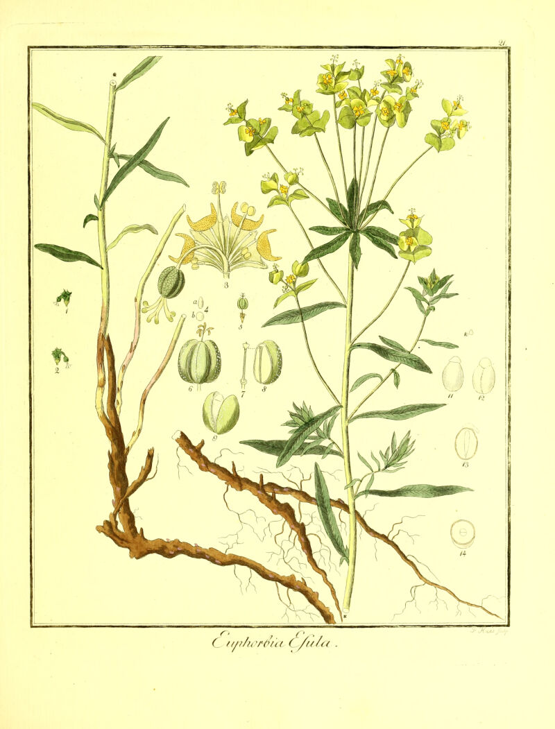 No text description is available for this image