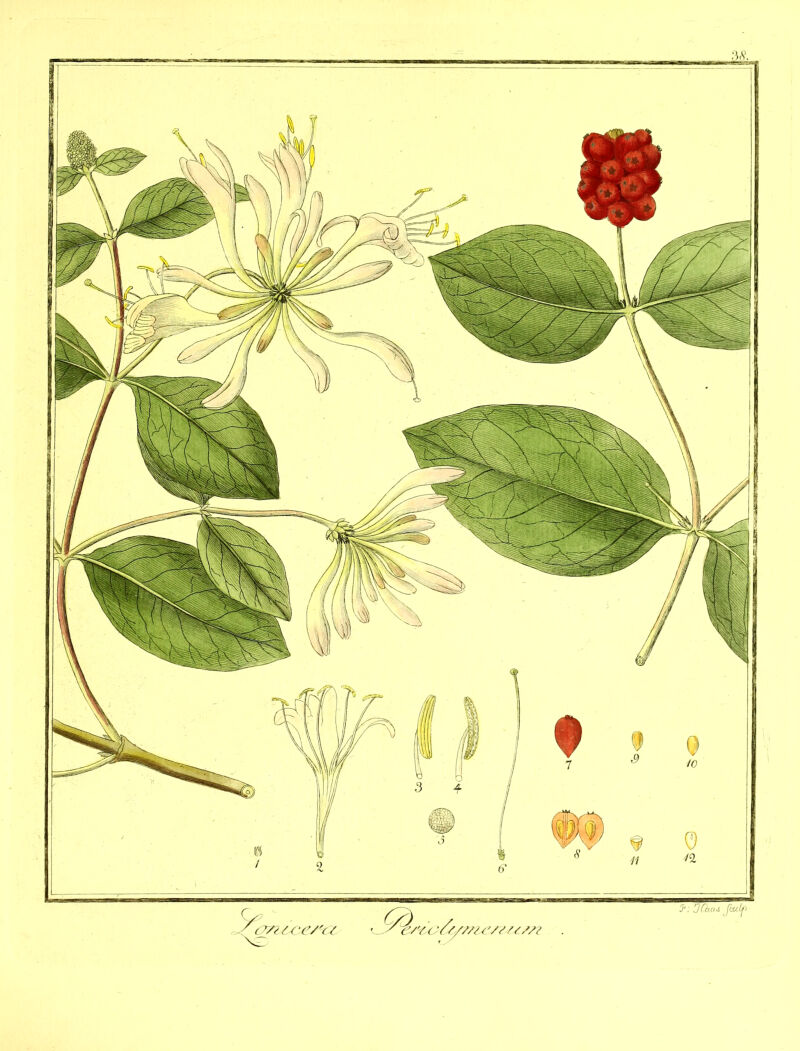 . VA X ' (Vs SC ('/'</ e/v. (Y ///// (v/ //x//