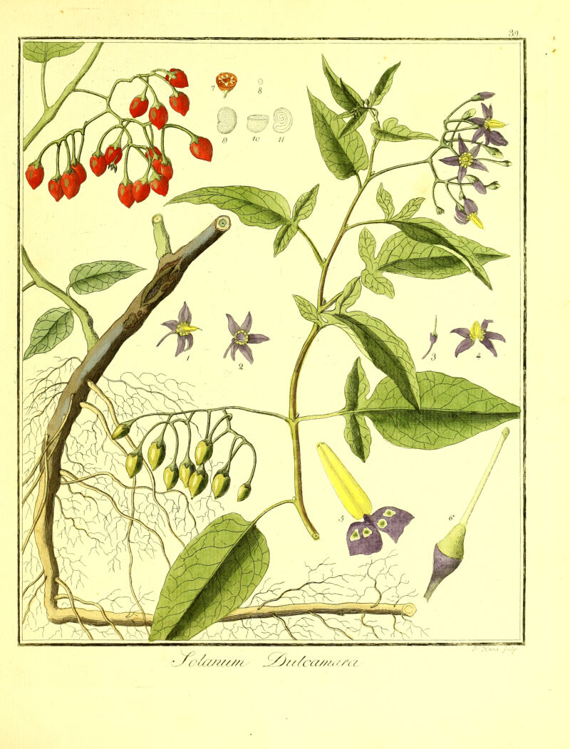 No text description is available for this image