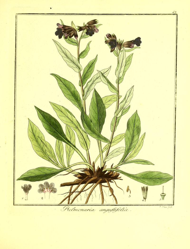 I ' S 7/tVl/C'/M/'tt/, (ZSlT,