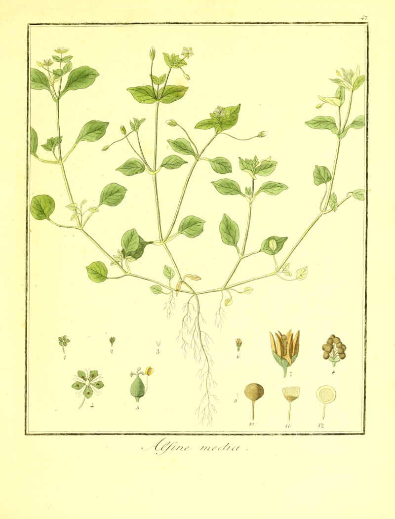 No text description is available for this image