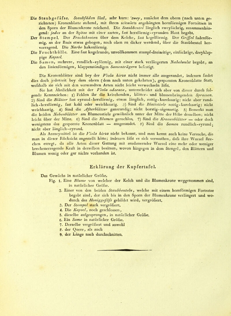Die Staubgefäfse. Staubfäden fünf, sehr kurz: 'zwey, zimächst dem obern (nach unten ge- richteten) Kronenblalte stehend, mit ihren seitwärts angehängten hornförmigen Fortsätzen in den Sporn der Blumenkrone reichend. Die Staubbeutel länglich zweyfächrig, zusammenhän- gend: jedes an der Spitze mit einer zarten, fast herzförmig-eyrunden Haut begabt. Der Stempel. Der Fruchtknoten über dem Kelche, fast kegelförmig. Der Griffel fadenför- mig, an der Basis etwas gebogen, nach oben zu dicker werdend, über die Staubbeutel her- vorragend. Die Narbe hakenförmig. Die Fruchthülle. Eine fast kugelrunde, imvollkommen stmnpf-dreiseitige, einfächrige, dreyklap- pige Kapsel, Die Samen, mehrere, rundlich-eyförmig, mit einer stark verlängerten Nabelwulst begabt, an den linienförmigen, klappenständigen Samentriigern befestigt. Die Kronenblätter sind bey der Viola hirta nicht immer alle ausgerandet, indessen findet dies doch jederzeit bey dem obern (dem nach unten gekehrten), gespornten Kronenblatte Statt, wefshalb sie sich mit den verwandten Arten nicht leicht verwechseln läfst. Sie hat Ähnlichkeit mit der Viola odorata, unterscheidet sich aber von dieser durch fol- gende Kennzeichen: l) Fehlen ihr die kriechenden, blätter- und blumenbringenden Sprossen. 2) Sind die Blätter fast eyrmid-herzförmig, etwas länglich, zottig-kurzhaarig; nicht aber’rund- lich-herzförmig, fast kahl oder weichhaarig. 3) Sind die Blattstiele zottig - kurzh aarig; nicht weichhaarig. 4) Sind die Afterblätter ganzrandig; nicht borstig-sägenartig. 5) Bemerkt man die beiden Nebenblätter am Blumenstiele gewöhnlich unter der Mitte der Höhe desselben; nicht leicht über der Mitte. 6) Sind die Blumen geruchlos, 7) Sind die Kronenblätter — oder doch wenigstens das gespornte Kronenblatt — ausgerandet. 8) Sind die Sa?nen rundlich - eyrund; nicht aber länglich - eyrund. Als Arzneyniittel ist die Viola hirta nicht bekannt, und man kennt auch keine Versuche, die man in dieser Rücksicltt angestellt hätte; indessen läfst es sich vermuthen, dafs ihre Wurzel Bre- chen erregt, da alle Arten dieser Gattung mit ausdauernder Wurzel eine mehr oder weniger brechenerregende Kraft in derselben besitzen, wovon hingegen in dem Stengel, den Blättern und Blumen wenig oder gar nichts vorhanden ist. Erklärung der Kupfertafel. Das Gewächs in natürlicher Gröfse. Fig. 1. Eine Blume von welcher der Kelch und die Blumenkrone weggenommen sind, in natürlicher Gröfse. 2. Einer von den beiden Staubbeuteln, welche mit einem hornförmigen Fortsatze begabt sind, der sich bis in den Sporn der Blumenkrone verlängert und wo- durch das Honiggefäfs gebildet wird, vergröfsert, 3. Der Stempel stark vergröfsert. 4. Die Kapsel, noch geschlossen, 5. dieselbe aufgesprungen, in natürlicher Gröfse. 6. Ein Same in natürlicher Gröfse. 7. Derselbe vergröfsert und sowohl 8. der Quere, als auch