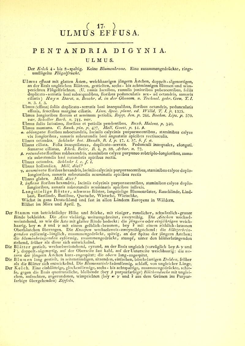 ( 17- ) ULMUS EFFUSA. PENTANDRIA DIGYNIA. U L M U S. Der Kelch 4- bis 8-spaltig. Keine BlumenJirone. Eine zusammengeclruckte, rings- umflügelte Flügelfrucht. Ulmus effitsa mit glatten Ästen, weichhaarigen jüngern Ästchen, doppelt-sägenartigen, an der Basis ungleiciien Blättern, gestielten, sechs- bis achtraännigen Blumen und wim- perichten Flügelfrüchten. (U. ramis laevibus, ramulis junioribus pubescentibus, foliis duplicato -serratis basi subaequalibus, floribus pedunculatis sex- ad octandris, saniaris ciliatis) Hayn IJarst. u. Beschr. d. in der Ökonom, ii. Techno!, gehr. Gew. T. I. n. 3. t. 3. Ulmus (effusa) foliis duplicato - serratis basi inaequalibus, floribus octandris, pedunculatis effusis, fructibus margine ciliatis. Tinn. Spec. plant, ed. TVilld. T. I. p. t325. Ulmus longioribus florum et seminum peliolis. B.nj?p, Je?i. p. 26G. Boejim. Lips. p, 570. var. Sc/ioller Barb. n. 211. var. Ulmus folio lalissimo, floribus et petiolis pendentibus, Biixb. Halens, p. 340. Ulmus montana. C. Bauh. pin. p. 427. Hall. Goett. p. 14. ß. tt,. oblongata floribus suboctandris, laciniis calycinis purpurascentibus, staminibus calyce vix longioribus, samaris subrolundis basi angustatis apicibus rectiusculis. Ulmus octandra. Schkuhr bot. Handb. B. 1. p. 17. t. 57. b. f. a. Ulmus ciliata. Folia inaec[uilatera, duplicato-serrata. Pedunculi inaequales, elongati. Samarae ciliatae. Ehrh. Beitr. B. 6. P- 88. Arbor. n. 72. ß. rotimdataViOXTEns subhexandris, staminibus calyce purpureo subtriplo-longioribus, sama- ris subrotundis basi rotundatis apicibus recUs. Ulmus octandra. Schkuhr l. c. f. i, Ulmus hollandica. Mill. diel? y, acuminata floribus hexandris, laciniis calycinis purpurascentibus, staminibus calyce duplo- longioribus, samaris subrotundis acuminatis apicibus rectis Ulmus glabra. Mill. dict? inflexa floribus hexandris, laciniis calycinis purpurascentibus, staminibus calyce dnplo- longioribus, samaris subrotundis acuminatis apicibus inflexis. Langstielige Rüster, schwarze Rüster, langstielige Blumenrüster, Rauchlinde, Lind- bast, Bastlinde, Bastilme, Quetsche, Wietsche, Wietschke. Wächst in ganz Deutschland und fast in allen Ländern Europens in Wäldern. Blühet im März und April, Der Stamm von beträchtlicher Höhe imd Stärke, mit rissiger, runzlicher, schwärzlich-grauer Rinde bekleidet. Die Aste vielästig, weitausgebreitet, zweyreihig. Die Ästchen wechsel- weisstehend, so wie die Äste mit glatter Rinde bedeckt; die jilngern oder einjährigefi weich- haarig, bey ß und y mit einem gelblich-braunen, bey 5 mit einem röthlich-braunen Oberhäutchen überzogen. Die Knospen wechselsweis-zweyreihigstehend: die blättyrbrin- genden eyförmig-länglich, zusammengedrückt, spitzig, an der Spitze der iüngern Ästchen; die blumenbringenden eyförmig, zusammengedrückt, stumpf, unter den blätterbringenden stehend, früher als diese sich entwickelnd. Die Blätter gestielt, wechselweissteliend, eyrund, an der Basis ungleich (vorzüglich bey/Sjyund J ), doppelt-sägenartig, auf der Oberseite fast kahl, auf der Unterseite weiclihaarig: die un- terti der jüngern Ästchen kurz-zugespitzt; die obern lang-zugespitzt. Die Blumen lang gestielt, in seitenständigen, sitzenden, einfachen, büschelartigen DoWe/v, früher als die Blätter sich entwickelnd. Die Blinnenstiele fadenförmig, schlaff, von ungleicher Länge, Der Kelch. Eine einblättrige, glockenförmige, sechs - bis achtspaltige, zusammengedrückte, schie- fe, gegen die Basis querrunzliche, bleibende (bey ß purpurfarbige) B/üthenclecke mit nnglei- chen, aufrechten, zngernndeten, wimprichten (bey tt’ y und S aus dem Grünen ins Purpur- farbige übergehenden) Zipfeln.