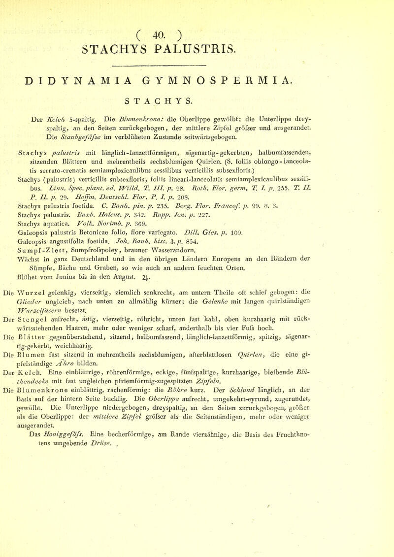 ( 40. ) STACHYS PALUSTRIS. DIDYNAMIA GYMNOSPERMIA. STACHYS. Der Kelck 5-spaltig. Die Blume?ikrone: die Oberlippe gewölbt; die Unterlippe drey- spaltig, an den Seiten zurückgebogen, der mittlere Zipfel gröfser und ausgerandet. Die Staubgefäße im verblüheten Zustande seitwärtsgebogen. Stachys palustris mit länglich-lanzettförmigen, sägenartig-gekerbten, halbumfassenden, sitzenden Blättern und mehrentheils sechsblumigen Quirlen, (S. foliis oblongo - lanceola- tls serrato-crenatis semiamplexicaulibus sessilibus verticillis subsexfloris.) Stachys (palustris) verticillis subsexfloris, foliis lineari-lanceolatis semiamplexicaulibus sessili- bus. Lina. Spec. plajit, ed. TVilld. T, III. p. 98. Roth. Flor, germ. T, I. p. 255. T, II, P. II, p. 29. Iloffm. Deutschi. Flor. P. I. p, 208. Stachys palustris foetida. C. Bauh. pin. p. 2^5. Berg. Flor. Francof p. 99. n, 3. Stachys palustris. Buxb. Halens, p. 342. Rupp. Jen. p. 227, Stachys aquatica, Volk. Norimb. p. 369. Galeopsis palustris Betonicae folio, flore variegato. Dill. Gies. p. 109. Galeopsis angustifolia foetida. Joh, Bauh. hist. 3. p. 854. Sumpf-Ziest, Sumpfrofspoley, brauner Wasserandorn. Wächst in ganz Deutschland und in den übrigen Ländern Europens an den Rändern der Sümpfe, Bäche und Graben, so wie auch an andern feuchten Orten. Blühet vom Junius bis in den August. 2|-. Die Wurzel gelenkig, vierseitig, ziemlich senkrecht, am untern Theile oft schief gebogen: die Glieder ungleich, nach unten zu allmählig kürzer; die Gelenke mit langen quirlständigen Wurzelfasern besetzt. Der Stengel aufrecht, ästig, vierseitig, röhricht, unten fast kahl, oben kurzhaarig mit rück- Avärtsstehenden Haaren, mehr oder weniger scharf, anderthalb bis vier Fufs hoch. Die Blätter gegenüberstehend, sitzend, hälbumfassend, länglich-lanzettförmig, spitzig, sägenar- tig-gekerbt, weichhaarig. Die Blumen fast sitzend in mehrentheils sechsblumigen, afterblattlosen Qiiirlen, die eine gi- pfelständige Ähre bilden. Der Kelch. Eine einblättrige, röhrenförmige, eckige, fünfspaltige, kurzhaarige, bleibende Blü- thendecke mit fast ungleichen pfriemförmig-zugespitzten Zipfeln. Die Blumenkrone einblättrig, rachenförmig: die Röhre kurz. Der Schlund länglich, an der Basis auf der hintern Seite bucklig. Die Oberlippe aufrecht, umgekehrt-eyrund, zugerundet, gewölbt. Die Unterlippe niedergebogen, dreyspaltig, an den Seiten zuruckgebogen, gröfser als die Oberlippe: der mittlere Zipfel gröfser als die Seitenständigen, mehr oder weniger ausgerandet. Das Honiggefäfs. Eine becherförmige, am Rande vierzähnige, die Basis des Fruchtkno- tens umgebende Drüse. _