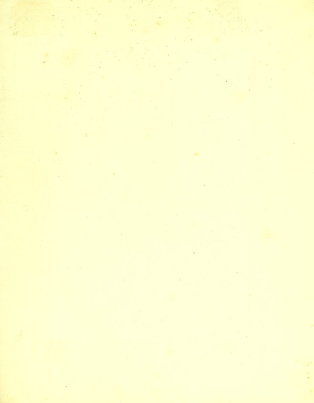 digitised image 3