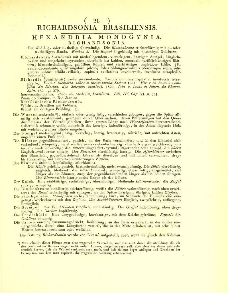 ( 21. ) RICHARDSONIA BRASILIENSIS. HEXANDItIA MONOGYN1A. RICHARDSONIA. Der Kelch 6- oder 8-theilig, überständig. Die Blumenkrone trichterförmig mit 6-öder 8-theiligem Rande. Narben 3. Die Kapsel 3-gehäusig mit 1-sämigen Gehäusen. Richardsonia brasiliensis mit niederliegendem, viereckigem, haarigem Stengel, länglich- ovalen und umgekehrt - eyrunden, oberhalb fast kahlen, unterhalb weifslich-zottigen Blät- tern, blattachselständigen, gehüllten Köpfen und vierblättriger ungleicher Hülle. (R. caule deciunbente quadrangulare piloso, foliis oblongo-ovalibus obovatisque supra sub- glabris subtus albido-villosis, capitulis axillaribus involucratis, involucro tetraphyllo innequali.) Richaraia (brasiliensis) caule procumbente, floribus Omnibus capitatis, involucris tetra- phyllis. Gomez Memoria sobre a ipecacuanha Lisboa 1801. Kirey in Juourn. com- plern. du Diction. des Sciences medical. 1820. Juin c. icone et Jonrn. de Pharm. Juin. 1820. p. 279. Ipecacuanha blanca. Pison de Medicin, brasiliens. Lib. IV. Cap. 53. p. 231. Poaia do Campo, in Rio Janeiro. Brasilianische Richardsonie. Wächst in Brasilien auf Feldern. Blühet im dortigen Frühling. 2j.. Die Wurzel senkrecht*), einfach oder wenig ästig, verschieden gebogen, gegen die Spitze all- mälig sich verdünnend, geringelt durch Querfurchen, deren Entfernungen fast den Quer- durclimesser der Wurzel gleichen, ihrer ganzen Länge nach Wurzel fasern hervortreibend, außerhalb schmuzig weifs, innerhalb das faserige, fadenförmige, in der Achse liegende Holz mit weicher, weifser Rinde umgeben. Der Stengel niederliegend, ästig, viereckig, haarig, krautartig, röhricht, mit aufrechten Asten, ungefähr einen Fufs hoch. Die Blätter gegenüberstehend, gestielt, an der Basis verschmälert und in den Blattstiel sich verlaufend, wimperig, meist wechselsweis-siebenfachnervig, oberhalb etwas weichhaarig, un- terhalb weilslich-zottig: die untern umgekehrt-eyrund, zugerundet oder stumpf; die obern länglich-oval, etwas spitzig. Der Blattstiel afterblättrig, haarig. Die Afterblätter zwischen den Blattstielen gegenüberstehend, kürzer als dieselben und mit ihnen verwachsen, drey- bis fünfspaltig, mit lanzett-pfriemförmigen Zipfeln„ Die Blumen sitzend, kopfständig, afterblattlos. Die Köpfe gehüllt, gestielt, blattachselständig, meist zwanzigblumig. Die Hülle vierblättrig, ungleich, bleibend: die Blättchen oval, wimperig, etwas zottig, ausgebreitet, viel länger als die Blumen, zwey der gegenüberstehenden länger als die beiden übrigen. D ie Blumenstiele haarig meist länger als die Blätter. Der Kelch. Eine einblättrige, sechstheilige, überständige, bleibende Blüthendccke: die Zipfel spitzig, wimperig. Die Blumenkrone einblättrig, trichterförmig, weifs: die Röhre walzenförmig, nach oben erwei- tert; der Rand sechstheilig mit spitzgen, an der Spitze haarigen, übrigens kahlen Zipfeln. Die Staubgefäfse. Staubfäden sechs, fadenförmig, kurz, im Schlunde der Blumenkrone ein- gefügt, wechselsweis mit den Zipfeln. Die Staubkölbchen länglich, zweyfächrig, aufliegend, beweglich. Der Stempel. Der Fruchtknoten rundlich, unterständig. Der Griffel fadenförmig, oben drey- spaltig. Die Narben, kopfförmig. Die Fruchthülle. Eine dreygehäusige, kurzhaarige, mit dem Kelche gekrönte; Kapsel: die Gehäuse einsamig. Die Samen einzeln, zusammengedrückt, keilförmig, an der Basis erweitert, an der Spitze nie- dergedrückt, durch eine Längsfurche vertieft, die in der Mitte erhaben ist, mit sehr feine« Haaren besetzt, rostbraun oder weifslich. Die Gattung Richardsonia wurde von Linne aufgestellt, aber, wenn sie gleich den Nahmen T) Man schreibt dieser Pflanze zwar eine wagerechte Wurzel zu, und was auch durch die Abbildung, die ich des beschränkten Raumes wegen nicht ändern konnte, dargethan seyn soll; aber eben aus dieser geht sehr deutlich hervor, dafs die Wurzel senkrecht seyn mufs, und dafs sie nur beym Aullegen und Trocknen des Exemplars, von dem man copierte, die wagerechte Richtung erhalten hat.