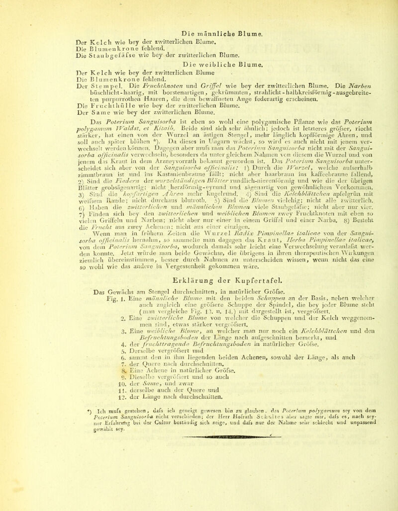 Die männliche Blume, Der Kelch wie bey der zwitterlichen Blume. Die Blumen kröne fehlend. Die Staubgefäfse wie bey der zwitterlichen Blume. Die weibliche Blume. Der Kelch wie bey der zwitterlichen Blume Die Blumenkrone fehlend. Der Stempel. Die Fruchtknoten und Griffel wie bey der zwitterlichen Blume. Die Narben büschlicht-haarig, mit borstenartigen, gekrümmten, strahlicht- halbkreisförmig - ausgebreile- ten pnrpurrothen Haaren, die dem bewaffneten Auge federartig erscheinen. Die Fruchthülle wie bey der zwitterlichen Blume. Der Same wie bey der zwitterlichen Blume. Das Poterium Sanguisorba ist eben so wohl eine polygamische Pflanze wie das Poterium polygainum JValdst. et Kitaib. Beide sind sich sehr ähnlich; jedoch ist letzteres gröfser, riecht stärker, hat einen von der Wurzel an ästigen Stengel, mehr länglich kopfförmige Ähren, und soll auch später blühen *). Da dieses in Ungarn wächst, so wird es auch nicht mit jenem ver- wechselt werden können. Dagegen aber mufs man das Poterium Sanguisorba nicht mit der Sangui- sorba officinalis verwechseln, besonders da unter gleichem Nahmen von diesem die Wurzel und von jenem das Kraut in dem Arzneyvorrath bekannt geworden ist. Das Poterium Sanguisorba unter- scheidet sielt aber von der Sanguisorba officinalis: 1) Durch die Wurzel, welche aulserhalb zimmtbraun ist und ins Kastanienbraune fällt; nicht aber haarbraun ins kaffeebraune fallend, 2) Sind die Fiedern der wurzelständigen Blätter rundlich-nierenfürmig und wie die der übrigen Blätter grobsägenartig; nicht herzförmig-eyrund und sägenartig von gewöhnlichem Vorkommen. 3) Sind die köpf artigen Ähren mehr kugelrund. 4) Sind die Kelchblättchen apfelgrün mit weifsem Rande; nicht durchaus blutroth. 5) Sind die Blumen vielehig; nicht alle zwitterlich. ß) Haben die zwitterlichen und männlichen Blumen viele Staubgefäfse; nicht aber nur vier. 7) Finden sich bey den zwitterlichen und weiblichen Blumen zwey Fruchtknoten mit eben so vielen Griffeln und Narben; nicht aber nur einer in einem Griffel und einer Narba. 8) Besteht die Frucht aus zwey Achenen; nicht aus einer einzigen. Wenn man in frühem Zeiten die Wurzel Radix Pimpinellae italicae von der Sangui- sorba officinalis hernahm, so sammelte man dagegen das Kraut, Herba Pimpinellae italicae, von dem Poterium Sanguisorba, wodurch damals sehr leicht eine Verwechselung veranlafst wer- den konnte. Jetzt würde man beide Gewächse, die übrigens in ihren therapeutischen Wirkungen ziemlich übereinstimmen, besser durch Nahmen zu unterscheiden wissen, wenn nicht das eine so wohl wie das andere in Vergessenheit gekommen wäre. Erklärung der Kupfertafel. Das Gewächs am Stengel durchschnitten, in natürlicher Gröfse. Fig. 1. Eine männliche Blume mit den beiden Scfiuppen an der Basis, neben welcher auch zugleich eine gröfsere Schuppe der Spindel, die bey jeder Blume steht (man vergleiche Fig. 13. u. 14.) mit dargestellt ist, vergröfsert. 2. Eine zwitterliche Blume von welcher die Schuppen und der Kelch weggenom- men sind, etwas stärker vergröfsert. 3. Eine weibliche Blume, an welcher man nur noch ein Kelchblättchen und den Befruchtungsböden der Länge nach aufgeschnitten bemerkt, und 4. der fruchttragende Befruchtungsboden in natürlicher Gröfse. 5. Derselbe vergröfsert und 6. sammt den in ihm liegenden beiden Achenen, sowohl der Länge, als auch 7. der Quere nacli durchschnitten. 8. Eine Acliene in natürlicher Gröfse. 9. Dieselbe vergröfsert und so auch 10. der Same, und zwar 11. derselbe auch der Quere und 12. der Länge nach durchschnitten. *) Ich mufs gestehen , dafs ich geneigt gewesen bin zu glauben , das Poterium polygainum sey von dem Poterium Sanguisorba nicht verschieden; o’er Herr Hofrath Schuttes aber sagte mir, dafs es, nach sey- ner Erfahrung bsi der Cultur beständig sich zeige, und dafs nur der Nähme sehr schlecht und unpassend gewählt sey.