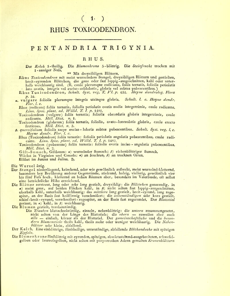 ( 1- ) RHUS TOXICODENDRON. PENTANDRIA TRIGYNIA. RHUS. Der Kelch 5-theilig. Die Blumenhrone 5-blättrig. Die Steinfrucht trocken mit 1-sämiger Nufs. ** Mit dreyzäldigen Blättern. Rhus Toxicodendron mit meist wurzelndem Stengel, dreyzäliligen Blättern und gestielten, breit-eyrunden Blättchen, die ganz oder fast lappig-ausgeschnitten, kahl oder unter- halb weichhaarig sind. (R. caule plerumque radicante, foliis ternatis, foliolis petiolatis - lato ovatis, integris vel exciso-sublobatis, glabris vel subtus pubescentibus.) Rhus Toxicodendron, Schult. Syst. veg. T. KI. p. 651. Ilayne dendrolog. Flora p. 34. u. vulgare foliolis plerumque integris utrinque glabris. Schult. I. c. Ilayne dendr. Itor. I. c. Ritus (radicans) foliis ternatis, foliolis petiolatis ovatis nudis integerrimis, caule radicante. Linn. Spec. plant, ed. VVilld. T. I. p. 1481. Toxicodendron (vulgare) foliis ternatis; foliolis obcordatis glabris integerrimis, caule radicante. MiII. Dict. n, J. Toxicodendron (glabrum) foliis ternatis, foliolis, ovato-lonceolatis glabris, caule erecto fruticoso. Mi.ll. Dict. n. 3. ß. quer cifolium foliolis saepe exciso - lobatis subtus pubescentibus. Schult. Syst. vcg. I. c. Hayne dendr. Flor. I. c. Rhus (Toxicodendron) foliis ternatis: foliolis petiolatis angulatis pubescentibus, caule radi- cante. Linn. Spec. plant, ed. VFilld. T. I. p. 1482. Toxicodendron (pubescens) foliis ternatis: folioiis ovatis inciso - angulatis pubescentibus. Mill. Dict. fi. 2. Gift-Sumach, Giftbaum: ») wurzelnder Sumach; ß) eichenblättriger Sumacb. Wächst in Yirginien und Canada; an feuchten, ß) an trocknen Orten. Blühet im Junius und Julius, t?- Die Wurzel ästig. Der Stengel niederliegend, kriechend, oder wie gewöhnlich aufrecht, meist wurzelnd-kletternd, besonders bey Berührung anderer Gegenstände, stielrund, holzig, vielästig, gewöhnlich vier bis fünf Fufs hoch, kletternd an hohen Bäumen aber, besonders im Vaterlande, oft selbst eine beträchtliche Höhe erreichend. Die Blätter zerstreut, lang oder sehr lang gestielt, dreyzählig: die Blättchen ganzrandig, in «) meist ganz, auf beiden Flächen kahl, in ß) nicht selten fast lappig-ausgeschnitten, oberhalb kahl, unterhalb weichhaarig: das mittlere lang gestielt, breit-eyrund, lang zuge- spitzt, an der Basis fast keilförmig verschmälert; die seitenständigen sehr kurz gestielt, schief-breit-eyrund, verschmälert - zugespitzt, an der Basis fast zugerundet. Der Blattstiel ferinnt, in «) kahl, in ß) weichhaarig. 11 umen gestielt, traubenständig. Die Trauben blattachselständig, einzeln, nebenblättrig: die untern zusammengesetzt, nicht selten von der Länge des Blattstiels; die obern — zuweilen aber auch alle — einfach, kürzer als der Blattstiel. Der gemeinschaftliche und die beson- dern Blumenstiele theiis kahl, theils mehr oder weniger weichhaarig. Die Neben- blätter sehr klein, abfallend. Der Kelch. Eine einblättrige, fünftheilige, unterständige, abfallende Blrithendecke mit spitzigen Zipfeln. Die Bl umen kröne fünfblättrig mit eyrunden, spitzigen, abwärtsstehend-ausgebreiteten, schwefel- gelben oder laureolagelben, nicht selten mit purpurrothen Adern gemalten Kronenblättern