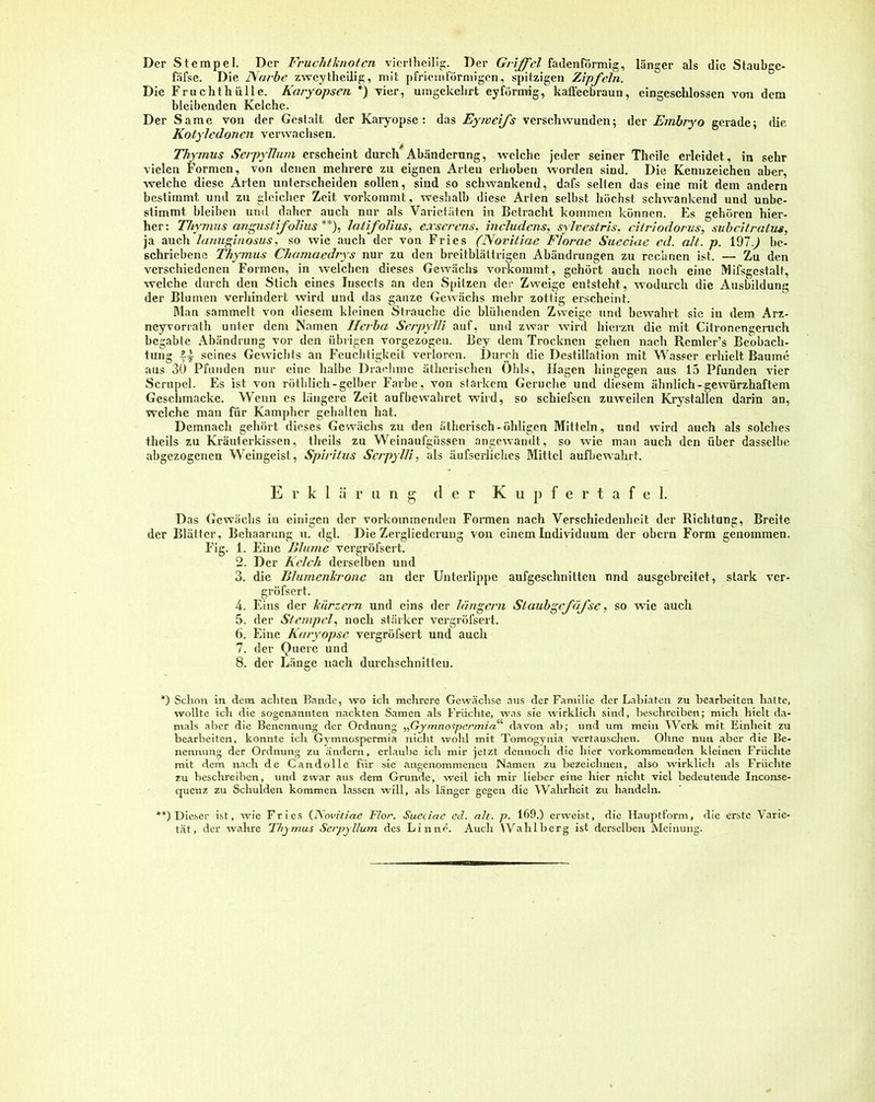 Der Stempel. Der Fruchtknoten viertheilig. Der Griffel fadenförmig, länger als die Staubgc- fäfsc. Die Narbe zweytheilig, mit pfriemförmigen, spitzigen Zipfeln. Die Frucht hü Ile. Kary opsen *) vier, umgekehrt eyförmig, kaffeebraun, eingeschlossen von dem bleibenden Kelche. Der Same von der Gestalt der Karyopse: das Eyweifs verschwunden; der Embryo gerade; die Kotyledonen verwachsen. Thymus SerpyTlum erscheint durch*Abänderung, welche jeder seiner Theile erleidet, in sehr vielen Formen, von denen mehrere zu eignen Arteu erhoben worden sind. Die Kennzeichen aber, welche diese Arten unterscheiden sollen, sind so schwankend, dafs selten das eine mit dem andern bestimmt und zu gleicher Zeit vorkommt, weshalb diese Arien selbst höchst schwankend und unbe- stimmt bleiben und daher auch nur als Varietäten in Betracht kommen können. Es gehören hier- her: Thymus angustifolius **), latifolius, exserens, includens, sylvestris, citriodorus, subeitralus, ja auch lanuginosus, so wie auch der von Fries (Noritiac Florae Sueciae ed. alt. p. 197.) be- schriebene Thymus Chamaedrys nur zu den breitblättrigen Abändrungen zu rechnen ist. — Zu den verschiedenen Formen, in welchen dieses Gewächs vorkommt, gehört auch noch eine Mifsgestalt, welche durch den Stich eines Insccts an den Spitzen der Zweige entsteht, wodurch die Ausbildung der Blumen verhindert wird und das ganze Gewächs mehr zottig erscheint. Man sammelt von diesem kleinen Strauche die blühenden Zweige und bewahrt sic in dem Arz- ncyvorrath unter dem Namen Herba Serpylli auf, und zwar wird hierzu die mit Citronengeruch begabte Abändrung vor den übrigen vorgezogeu. Bcy dem Trocknen gehen nach Remlcr’s Beobach- tung f| seines Gewichts an Feuchtigkeit verloren. Durch die Destillation mit Wasser erhielt Baume aus 30 Pfunden nur eine halbe Drachme ätherischen Ohls, Hagen hingegen aus 15 Pfunden vier Scrupel. Es ist. von röthlich-gelber Farbe, von starkem Gerüche und diesem ähnlich-gewürzhaftem Geschmacke. Wenn es längere Zeit aufbewahret wird, so schiefsen zuweilen Krystallen darin an, welche man für Kampher gehalten hat. Demnach gehört dieses Gewächs zu den ätherisch - öhligen Mitteln, und wird auch als solches theils zu Kräuterkissen, theils zu Weinaufgüssen angewandt, so wie man auch den über dasselbe abgezogenen Weingeist, Spiritus Serpylli, als äufserliches Mittel aufbewahrt. Erklärung der Kupfertafel. Das Gewächs in einigen der vorkommenden Formen nach Verschiedenheit der Richtung, Breite der Blätter, Behaarung u. dgl. Die Zergliederung von einem Individuum der obern Form genommen. Fig. 1. Eine Blume vergröfsert. 2. Der Kelch derselben und 3. die Blumenkrone an der Unterlippe aufgeschnitten und ausgebreitet, stark ver- gröfsert. 4. Eins der kiirzern und eins der langem Staubgefdfse, so wric auch 5. der Stempel, noch stärker vergröfsert. 6. Eine Karyopse vergröfsert und auch 7. der Quere und 8. der Länge nach durchschnitten. *) Schon in dem achten Bande, wo ich mehrere Gewächse aus der Familie der Labiaten zu bearbeiten hatte, wollte ich die sogenannten nackten Samen als Früchte, was sie wirklich sind, beschreiben; mich hielt da- mals aber die Benennung der Ordnung „Gymnospcrmia1' davon ab; und um mein Werk mit Einheit zu bearbeiten, konnte ich Gvmnospermia nicht wohl mit Tomogynia vertauschen. Ohne nun aber die Be- nennung der Ordnung zu ändern, erlaube ich mir jetzt dennoch die liier vorkommenden kleinen Früchte mit dem nach de Candolle für sie angenommenen Namen zu bezeichnen, also wirklich als Früchte zu beschreiben, und zwar aus dem Grunde, weil ich mir lieber eine hier nicht viel bedeutende Inconse- quenz zu Schulden kommen lassen will, als länger gegen die Wahrheit zu handeln. **) Dieser ist, wie Fries (i\ovitiae Flor. Sueciae cd. alt. p. 169.) erweist, die Hauptform, die erste Varie-