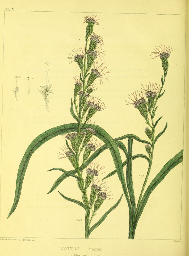 ZW* iy WPCBkrton ILIATMIS ITMTI/WA ( 1RH™»