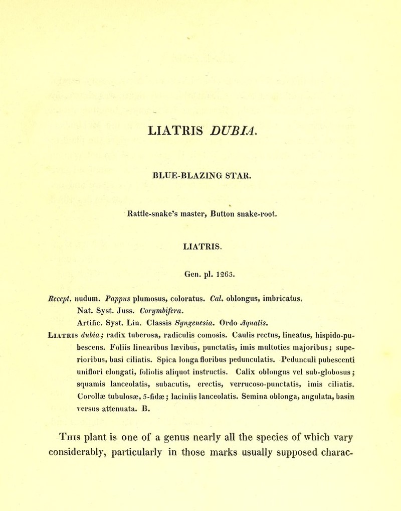 BLUE-BLAZING STAR. Rattle-snake’s master, Button snake-root. LIATRIS. Gen. pi. 1263. Recept. nudum. Pappus plumosus, coloratus. Cal. oblongus, imbricatus. Nat. Syst. Juss. Corymbifera. Artific. Syst. Lin. Classis Syngenesia. Ordo Jlqualis. Liatris dubia; radix tuberosa, radiculis comosis. Caulis rectus, lineatus, liispido-pu- bescens. Foliis linearibus lsevibus, punctatis, imis multoties majoribus; supe- rioribus, basi ciliatis. Spica longafloribus pedunculatis. Pedunculi pubescenti uniflori elongati, foliolis aliquot instructis. Calix oblongus vel sub-globosus; squamis lanceolatis, subacutis, erectis, verrucoso-punctatis, imis ciliatis. Coroll* tubulosse, 5-fid*; laciniis lanceolatis. Semina oblonga, angulata, basin versus attenuata. B. This plant is one of a genus nearly all the species of which vary considerably, particularly in those marks usually supposed charac-