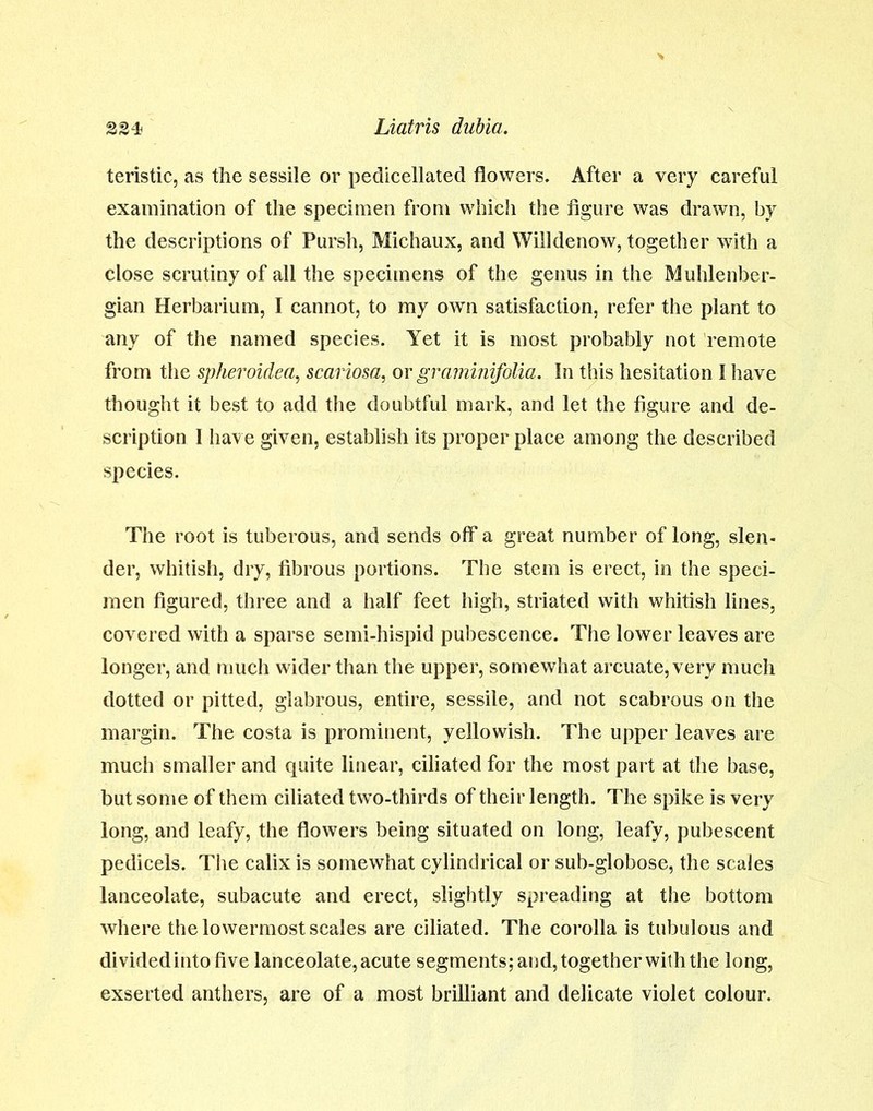 teristic, as the sessile or pedicellated flowers. After a very careful examination of the specimen from which the figure was drawn, by the descriptions of Pursh, Michaux, and Willdenow, together with a close scrutiny of all the specimens of the genus in the Muhlenber- gian Herbarium, I cannot, to my own satisfaction, refer the plant to any of the named species. Yet it is most probably not remote from the spheroidea, scariosa, or graminifolia. In this hesitation I have thought it best to add the doubtful mark, and let the figure and de- scription I have given, establish its proper place among the described species. The root is tuberous, and sends off a great number of long, slen- der, whitish, dry, fibrous portions. The stem is erect, in the speci- men figured, three and a half feet high, striated with whitish lines, covered with a sparse semi-hispid pubescence. The lower leaves are longer, and much wider than the upper, somewhat arcuate, very much dotted or pitted, glabrous, entire, sessile, and not scabrous on the margin. The costa is prominent, yellowish. The upper leaves are much smaller and quite linear, ciliated for the most part at the base, but some of them ciliated two-thirds of their length. The spike is very long, and leafy, the flowers being situated on long, leafy, pubescent pedicels. The calix is somewhat cylindrical or sub-globose, the scales lanceolate, subacute and erect, slightly spreading at the bottom where the lowermost scales are ciliated. The corolla is tubulous and divided into five lanceolate, acute segments; and, together with the long, exserted anthers, are of a most brilliant and delicate violet colour.