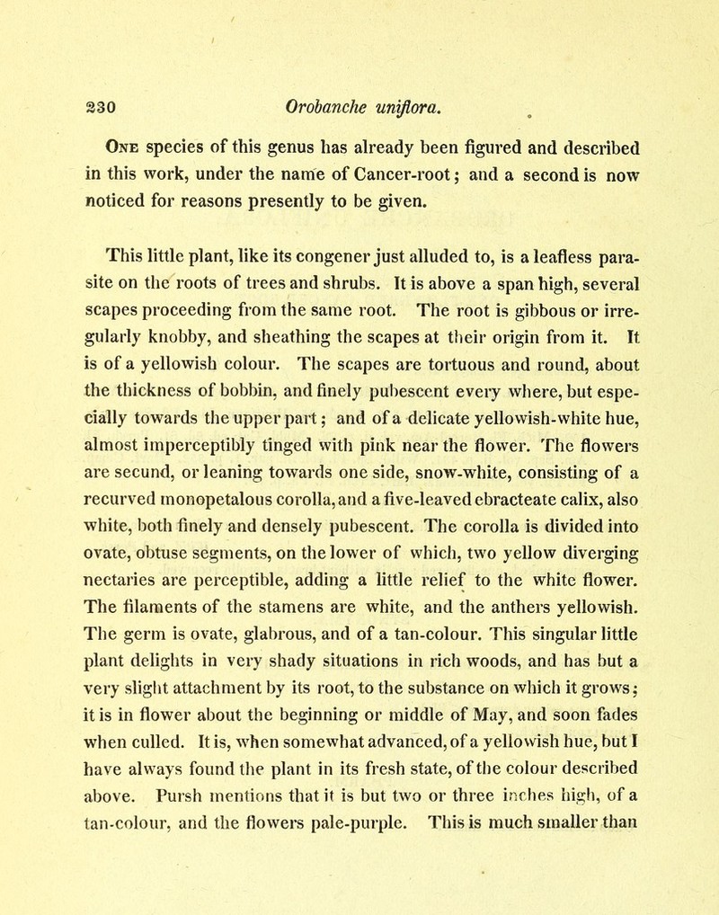 One species of this genus has already been figured and described in this work, under the name of Cancer-root; and a second is now noticed for reasons presently to be given. This little plant, like its congener just alluded to, is a leafless para- site on the roots of trees and shrubs. It is above a span high, several scapes proceeding from the same root. The root is gibbous or irre- gularly knobby, and sheathing the scapes at their origin from it. It is of a yellowish colour. The scapes are tortuous and round, about the thickness of bobbin, and finely pubescent every where, but espe- cially towards the upper part; and of a delicate yellowish-white hue, almost imperceptibly tinged with pink near the flower. The flowers are secund, or leaning towards one side, snow-white, consisting of a recurved monopetalous corolla, and a five-leaved ebracteate calix, also white, both finely and densely pubescent. The corolla is divided into ovate, obtuse segments, on the lower of which, two yellow diverging nectaries are perceptible, adding a little relief to the white flower. The filaments of the stamens are white, and the anthers yellowish. The germ is ovate, glabrous, and of a tan-colour. This singular little plant delights in very shady situations in rich woods, and has but a very slight attachment by its root, to the substance on which it grows; it is in flower about the beginning or middle of May, and soon fades when culled. It is, when somewhat advanced, of a yellowish hue, but I have always found the plant in its fresh state, of the colour described above. Pursh mentions that it is but two or three inches high, of a tan-colour, and the flowers pale-purple. This is much smaller than