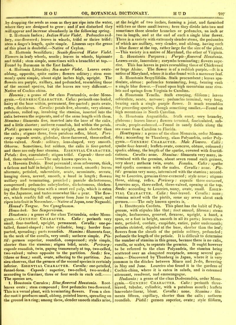 by dropping the seeds as soon as they are ripe into the water, where they are designed to grow ; and if not disturbed they will appear and increase abundantly in the following spring. 2. Hottonia Indica; Indian Water Violet. Peduncles axil- lary, one-flowered; leaves in whorls, trifid or thrice trifid; stein a finger’s length, quite simple. Linneus says the genus of this plant is doubtful.—Native of Ceylon. 3. Hottonia Sessiliflora; Sessile-flowered Water Violet. Flowers in leafy whorls, sessile; leaves in whorls, bipinnate and trifid ; stem simple, sometimes with a branchlet at top.— Found hy Burmann in the East Indies. 4. Hottonia Littoralis; Sea-water Violet. Leaves ovate- oblong, opposite, quite entire; flowers solitary; stem com- monly quite simple, about eight inches high, upright. The flowers are purple, axillary, and peduncled, resembling those of the second species, but the leaves are very different.— Native of Cochin-china. Hovenia; a genus of the class Pentandria, order Mono- gynia.—Generic Character. Calix: perianth one-leafed, hairy at the base within, permanent, five-parted ; parts ovate, reflex, deciduous. Corolla: petals five, obovate, very obtuse, patulous, rolled up, involving the stamina, inserted into the calix between the segments, and of the same length with them. Stamina: filamenta five, inserted into the base of the calix, and a little shorter; anther® roundish, hid within the petals. Pistil: germen superior; style upright, much shorter than the calix; stigmas three, from patulous reflex, blunt, Peri- carp: capsule ovate, globular, three-furrowed, three-celled, three-valved. Seeds: solitary, lens-shaped, very smooth. Observe. Sometimes, but seldom, the calix is four-parted, and there are only four stamina. Essential Character. Petals: five, convoluted ; stigma trifid. Capsule: three cel- led, three-valved. The only known species is, 1. Hovenia Dulcis. Root perennial; stem arboreous, thick, a fathom and half in height; branches round, smooth; leaves alternate, petioled, subcordate, ovate, acuminate, serrate, hanging down, nerved, smooth, a baud in length; flowers axillary and terminating, panicled ; panicle dichotomous, compressed; peduncles subcylindrie, dichotomous, thicken- ing after flowering time with a sweet red pulp, which is eaten by the Japanese, and tastes somewhat like a pear. The flow- ers, which readily fall off, appear from June to August, and ripen into fruit in November.—Native of Japan, near Nagasaki. Hound’s Tongue. See Cynoglossum. House-leek. See Sempervivum. Houstonia ; a genus of the class Tetrandria, order Mono- gynia.—Generic Character. Calix: perianth very small, four-toothed, upright, permanent. Corolla: one-pe- talled, funnel-shaped; tube cylindric, long; border four- parted, spreading; parts roundish. Stamina: filamenta four, in the neck of the corolla, very small; antberse simple. Pis- til: germen superior, roundish, compressed; style simple, shorter than the stamina; stigma bifid, acute. Pericarp: capsule roundish, twin, gaping transversely at top, two-celled, two-valved; valves opposite to the partition. Seeds: few, (three or four,) small, ovate, adhering to the partition. Jus- sieu observes, that the germen of the second species is certainly inferior. Essential Character. Corolla: one-petalled, funnel-form. Capsule : superior, two-celled, two-seeded ; according to Gaertner, three or four seeds in each cell. The species are, 1. Houstonia Ccerulea; Blue-flowered Houstonia. Root- leaves ovate; stein compound ; first peduncles two-flowered. This is a vernal plant, with terminating flowers. From a slen- der root it produces small, oblong, pointed leaves, spreading on the ground in a ring; among these, slender smooth stalks arise. at the height of two inches, forming a joint, and furnished with two or three small leaves; here they divide into two and sometimes three slender branches or peduncles, an inch or two in length, and at the end of each a single blue flower. There is a variety with extremely slender stems, the peduncles of which are axillary, very slender, and oblong, having each a blue flower at the top, rather large for the size of the plant. —This variety is a native of Maryland, the other of Virginia. 2. Houstonia Purpurea; Purple-flowered Houstonia. Leaves ovate, lanceolate ; corymbs terminating; flowers supe- rior. This has leaves in pairs resembling those of Chickweed or large Alsine. The flower is of a reddish purple.—It is a native of Maryland, where it is also found with a narrower leaf. 3. Houstonia Serpyllifolia. Stalk procumbent; leaves spa- thulate, obtuse; peduncles terminating, long, bearing each a single blue flower.—Found upon high mountains near rivu- lets and springs from Virginia to Carolina. 4. Houstonia Tenella. Stalk creeping, filiform; leaves orbiculate, acute, nervose; peduncles terminal, very long, bearing each a single purple flower. It much resembles the preceding species, though something smaller.—Found on high mountains in North Carolina. 5. Houstonia Angustifolia. Stalk erect, very branchy, glabrous; leaves linear; flowers terminal, fasciculated, sub- sessile, purple-coloured.— Found in sandy fields along the sea-coast from Carolina to Florida. Houttuynia ; a genus of the class Monoecia, order Monan- dria; according to Thunberg, class Polyandria, order Poly- gynia.—Generic Character. Male Flowers. Calix: spathe four-leaved ; leaflets ovate, concave, obtuse, coloured ; spadix.oblong, the length of the spathe, covered with fructifi- cations. Corolla: none. Stamina: filamenta very many, in- termixed with the germina, about seven round each germen, very short; antherae twin, ovate. Females. Calix : spathe and spadix common with the males. Corolla: none. Pis- til: germina very many, intermixed with the stamina; accord- ing to Loureiro, germina three-cornered ; style none; stigmas three, oblong, reflex. Pericarp: capsule three-cornered, Loureiro says, three-celled, three-valved, opening at the top. Seeds: according to Loureiro, many, ovate, small. Essen- tial Character. Calix: four-leaved. Corolla: none; stamina mixed with the pistils, some say seven about each germen. The only known species is, 1. Houttuynia Cordata. This plant has the habit of Poly- gonum, with stipules like that; root annual, fibrous; stems simple, herbaceous, grooved, flexuose, upright, a hand, a span, or a foot in height, smooth in all its parts; leaves alter- nate, petioled, cordate, cuspidate, entire, paler underneath; petioles striated, stipuled at the base, shorter than the leaf; flowers from the sheath of the petiole solitary, peduncled; peduncle the length of the petiole. It is difficult to determine the number of stamina in this genus, because there is no calix, corolla, or scales, to separate the germina. It ought however to be referred to the class Polyandria, the stamina being scattered over an elongated receptacle, among several ger- mina.—Discovered by Thunberg in Japan, where it is very common in the ditches between Miaco and Jedo, flowering in May and June. Loureiro also found it in the gardens of Cochin-china, where it is eaten in salads, and is esteemed attenuant, resolvent, and emmenagogue. Hudsonia; a genns of the class Dodecandria, order Mono- gynia.—Generic Character. Calix: perianth three- leaved, tubular, cylindric, with a patulous mouth ; leaflets lanceolate-linear, blunt. Corolla: none. Stamina: fila- menta fifteen, capillary, shorter than the calix; anther® roundish. Pistil: germen superior, ovate; style filiform.