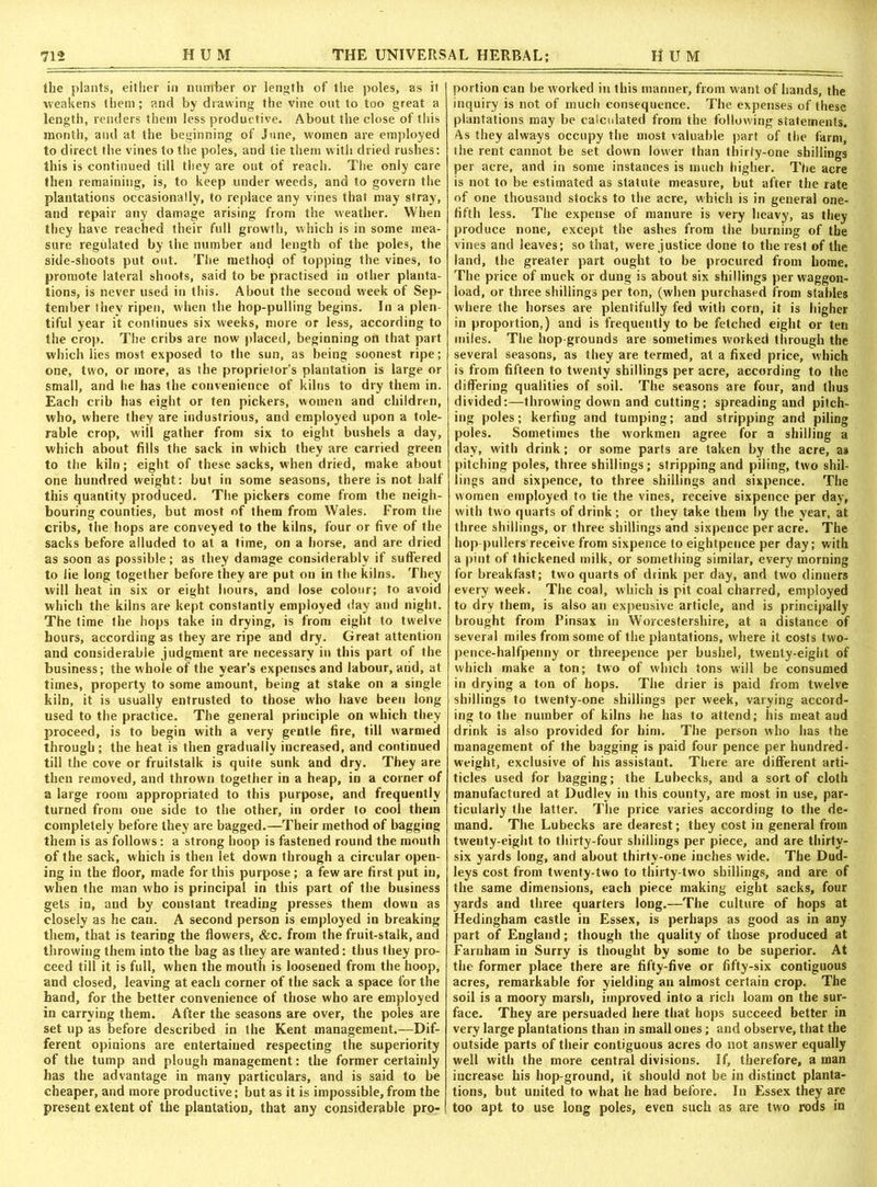 the plants, either in number or length of the poles, as it weakens them; and by drawing the vine out to too great a length, renders them less productive. About the close of this month, and at the beginning of June, women are employed to direct the vines to the poles, and tie them with dried rushes: this is continued till they are out of reach. The only care then remaining, is, to keep under weeds, and to govern the plantations occasionally, to replace any vines that may stray, and repair any damage arising from the weather. When they have reached their full growth, which is in some mea- sure regulated by the number and length of the poles, the side-shoots put out. The method of topping the vines, to promote lateral shoots, said to be practised in other planta- tions, is never used in this. About the second week of Sep- tember they ripen, when the hop-pulling begins. In a plen tiful year it continues six weeks, more or less, according to the crop. The cribs are now placed, beginning on that part which lies most exposed to the sun, as being soonest ripe; one, two, or more, as the proprietor’s plantation is large or small, and he has the convenience of kilns to dry them in. Each crib has eight or ten pickers, women and children, who, where they are industrious, and employed upon a tole- rable crop, will gather from six to eight bushels a day, which about fills the sack in which they are carried green to the kiln; eight of these sacks, when dried, make about one hundred weight: but in some seasons, there is not half this quantity produced. The pickers come from the neigh- bouring counties, but most of them from Wales. From the cribs, the hops are conveyed to the kilns, four or five of the sacks before alluded to at a time, on a horse, and are dried as soon as possible; as they damage considerably if suffered to lie long together before they are put on in the kilns. They will heat in six or eight hours, and lose colour; to avoid which the kilns are kept constantly employed day and night. The time the hops take in drying, is from eight to twelve hours, according as they are ripe and dry. Great attention and considerable judgment are necessary in this part of the business; the whole of the year’s expenses and labour, arid, at times, property to some amount, being at stake on a single kiln, it is usually entrusted to those who have been long used to the practice. The general principle on which they proceed, is to begin with a very gentle fire, till warmed through; the heat is then gradually increased, and continued till the cove or fruitstalk is quite sunk and dry. They are then removed, and thrown together in a heap, in a corner of a large room appropriated to this purpose, and frequently turned from one side to the other, in order to cool them completely before they are bagged.—Their method of bagging them is as follows: a strong hoop is fastened round the mouth of the sack, which is then let down through a circular open- ing in the floor, made for this purpose; a few are first put in, when the man who is principal in this part of the business gets in, and by constant treading presses them down as closely as he can. A second person is employed in breaking them, that is tearing the flowers, &c. from the fruit-stalk, and throwing them into the hag as they are wanted: thus they pro- ceed till it is full, when the mouth is loosened from the hoop, and closed, leaving at each corner of the sack a space for the hand, for the better convenience of those who are employed in carrying them. After the seasons are over, the poles are set up as before described in the Kent management.—Dif- ferent opinions are entertained respecting the superiority of the tump and plough management: the former certainly has the advantage in many particulars, and is said to be cheaper, and more productive; but as it is impossible,from the present extent of the plantation, that any considerable pro- portion can be worked in this manner, from want of hands, the inquiry is not of much consequence. The expenses of these plantations may be calculated from the following statements. As they always occupy the most valuable part of the farm, the rent cannot be set down lower than thirty-one shillings per acre, and in some instances is much higher. The acre is not to be estimated as statute measure, but after the rate of one thousand stocks to the acre, which is in general one- fifth less. The expense of manure is very heavy, as they produce none, except the ashes from the burning of the vines and leaves; so that, were justice done to the rest of the land, the greater part ought to be procured from home. The price of muck or dung is about six shillings per waggon- load, or three shillings per ton, (when purchased from stables where the horses are plentifully fed with corn, it is higher in proportion,) and is frequently to be fetched eight or ten miles. The hop-grounds are sometimes worked through the several seasons, as they are termed, at a fixed price, which is from fifteen to twenty shillings per acre, according to the differing qualities of soil. The seasons are four, and thus divided:—throwing down and cutting; spreading and pitch- ing poles; kerfing and tumping; and stripping and piling poles. Sometimes the workmen agree for a shilling a day, with drink; or some parts are taken by the acre, as pitching poles, three shillings; stripping and piling, two shil- lings and sixpence, to three shillings and sixpence. The women employed to tie the vines, receive sixpence per day, with two quarts of drink; or they take them by the year, at three shillings, or three shillings and sixpence per acre. The hop pullers receive from sixpence to eightpence per day; with a pint of thickened milk, or something similar, every morning for breakfast; two quarts of drink per day, and two dinners every week. The coal, which is pit coal charred, employed to dry them, is also an expensive article, and is principally brought from Pinsax in Worcestershire, at a distance of several miles from some of the plantations, where it costs two- pence-halfpenny or threepence per bushel, twenty-eight of which make a ton; two of which tons will be consumed in drying a ton of hops. The drier is paid from twelve shillings to twenty-one shillings per week, varying accord- ing to the number of kilns he has to attend; his meat and drink is also provided for him. The person who has the management of the bagging is paid four pence per hundred- weight, exclusive of his assistant. There are different arti- ticles used for bagging; the Lubecks, and a sort of cloth manufactured at Dudley in this county, are most in use, par- ticularly the latter. The price varies according to the de- mand. The Lubecks are dearest; they cost in general from twenty-eight to thirty-four shillings per piece, and are thirty- six yards long, and about thirty-one inches wide. The Dud- leys cost from twenty-two to thirty-two shillings, and are of the same dimensions, each piece making eight sacks, four yards and three quarters long.—The culture of hops at Hedingham castle in Essex, is perhaps as good as in any part of England; though the quality of those produced at Farnham in Surry is thought by some to be superior. At the former place there are fifty-five or fifty-six contiguous acres, remarkable for yielding an almost certain crop. The soil is a moory marsh, improved into a rich loam on the sur- face. They are persuaded here that hops succeed better in very large plantations than in small ones; and observe, that the outside parts of their contiguous acres do not answer equally well with the more central divisions. If, therefore, a man increase his hop-ground, it should not be in distinct planta- tions, but uuited to what he had before. In Essex they are too apt to use long poles, even such as are two rods in