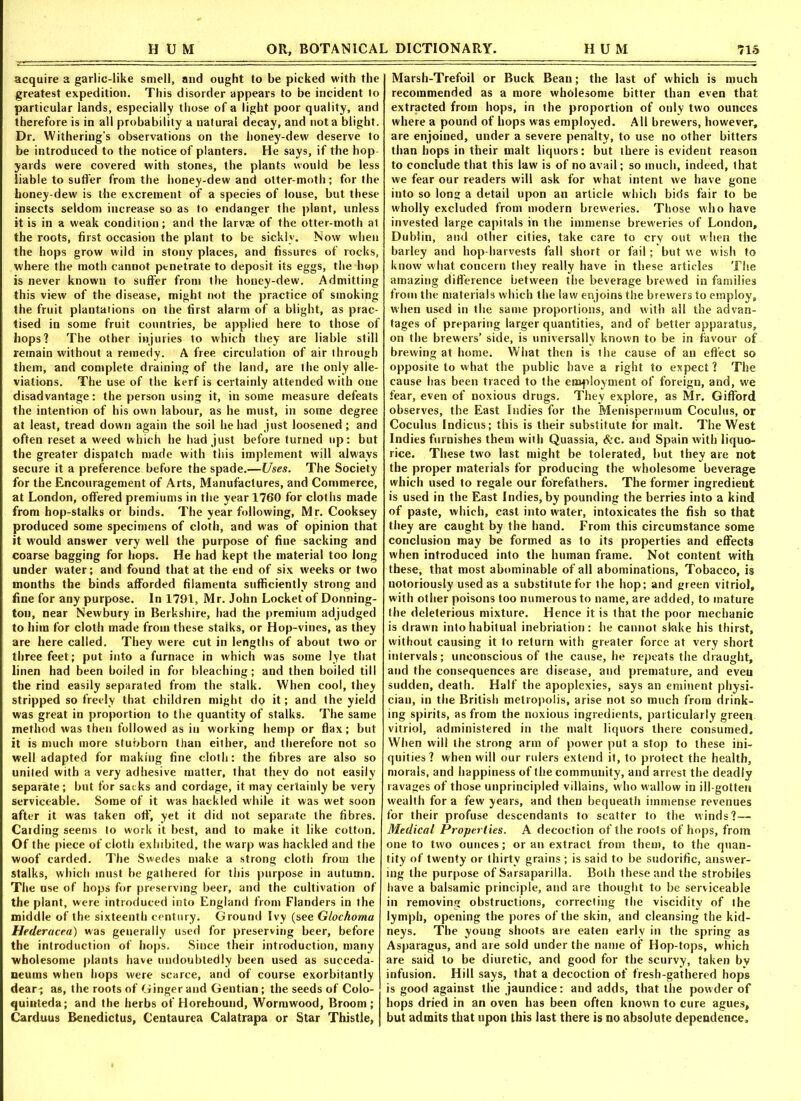 acquire a garlic-like smell, and ought to be picked with the greatest expedition. This disorder appears to be incident to particular lands, especially those of a light poor quality, and therefore is in all probability a natural decay, and not a blight. Dr. Withering's observations on the honey-dew deserve to be introduced to the notice of planters. He says, if the hop- yards were covered with stones, the plants would be less liable to suffer from the honey-dewand otter-moth; for the honey-dew is the excrement of a species of louse, but these insects seldom increase so as to endanger the plant, unless it is in a weak condition; and the larva? of the otter-moth at the roots, first occasion the plant to be sickly. Now when the hops grow wild in stony places, and fissures of rocks, where the moth cannot penetrate to deposit its eggs, the hop is never known to suffer front the honey-dew. Admitting this view of the disease, might not the practice of smoking the fruit plantations on the first alarm of a blight, as prac- tised in some fruit countries, be applied here to those of hops? The other injuries to which they are liable still remain without a remedy. A free circulation of air through them, and complete draining of the land, are the only alle- viations. The use of the kerf is certainly attended with one disadvantage: the person using it, in some measure defeats the intention of his own labour, as he must, in some degree at least, tread down again the soil he had just loosened; and often reset a weed which he had just before turned up; but the greater dispatch made with this implement will always secure it a preference before the spade.—Uses. The Society for the Encouragement of Arts, Manufactures, and Commerce, at London, offered premiums in the year 1760 for cloths made from hop-stalks or binds. The year following, Mr. Cooksey produced some specimens of cloth, and was of opinion that it would answer very well the purpose of fine sacking and coarse bagging for hops. He had kept the material too long under water; and found that at the end of six weeks or two months the binds afforded filamenta sufficiently strong and fine for any purpose. In 1791, Mr. John Locket of Donning- ton, near Newbury in Berkshire, had the premium adjudged to him for cloth made from these stalks, or Hop-vines, as they are here called. They were cut in lengths of about two or three feet; put into a furnace in which was some lye that linen had been boiled in for bleaching; and then boiled till the rind easily separated from the stalk. When cool, they stripped so freely that children might do it; and the yield was great in proportion to the quantity of stalks. The same method was then followed as in working hemp or flax; but it is much more stubborn than either, and therefore not so well adapted for making fine cloth: the fibres are also so united with a very adhesive matter, that they do not easily separate; but for sacks and cordage, it may certainly be very serviceable. Some of it was hackled while it was wet soon after it was taken off, yet it did not separate the fibres. Carding seems to work it best, and to make it like cotton. Of the piece of cloth exhibited, the warp was hackled and the woof carded. The Swedes make a strong cloth from the stalks, which must be gathered for this purpose in autumn. The use of hops for preserving beer, and the cultivation of the plant, were introduced into England from Flanders in the middle of the sixteenth century. Ground Ivy (see Glochoma Hederacea) was generally used for preserving beer, before the introduction of hops. Since their introduction, many wholesome plants have undoubtedly been used as succeda- ueums when hops were scarce, and of course exorbitantly dear; as, the roots of Ginger and Gentian; the seeds of Colo- quinteda; and the herbs of Horebound, Wormwood, Broom; Cardtius Benedictus, Centaurea Calatrapa or Star Thistle, Marsh-Trefoil or Buck Beau; the last of which is much recommended as a more wholesome bitter than even that extracted from hops, in the proportion of only two ounces where a pound of hops was employed. All brewers, however, are enjoined, under a severe penalty, to use no other bitters than hops in their malt liquors: but there is evident reason to conclude that this law is of no avail; so much, indeed, that we fear our readers will ask for what intent we have gone into so long a detail upon an article which bids fair to be wholly excluded from modern breweries. Those who have invested large capitals in the immense breweries of London, Dublin, and other cities, take care to cry out when the barley and hop-harvests fall short or fail; but we wish to know what concern they really have in these articles The amazing difference between the beverage brewed in families from the materials which the law enjoins the brewers to employ, when used in the same proportions, and with all the advan- tages of preparing larger quantities, and of better apparatus, on the brewers’ side, is universally known to be in favour of brewing at home. What then is the cause of an effect so opposite to what the public have a right to expect ? The cause has been traced to the employment of foreign, and, we fear, even of noxious drugs. They explore, as Mr. Gifford observes, the East Indies for the Menispermum Coculus, or Coculus Indices; this is their substitute for malt. The West Indies furnishes them with Quassia, &c. and Spain with liquo- rice. These two last might be tolerated, but they are not the proper materials for producing the wholesome beverage which used to regale our forefathers. The former ingredieut is used in the East Indies, by pounding the berries into a kind of paste, which, cast into water, intoxicates the fish so that they are caught by the hand. From this circumstance some conclusion may be formed as to its properties and effects when introduced into the human frame. Not content with these, that most abominable of all abominations, Tobacco, is notoriously used as a substitute for the hop; and green vitriol, with other poisons too numerous to name, are added, to mature the deleterious mixture. Hence it is that the poor mechanic is drawn into habitual inebriation: he cannot slake his thirst, without causing it to return with greater force at very short intervals; unconscious of the cause, he repeats the draught, and the consequences are disease, and premature, and eveu sudden, death. Half the apoplexies, says an eminent physi- cian, in the British metropolis, arise not so much from drink- ing spirits, as from the noxious ingredients, particularly green vitriol, administered in the malt liquors there consumed. When will the strong arm of power put a stop to these ini- quities? when will our rulers extend it, to protect the health, morals, and happiness of the community, and arrest the deadly ravages of those unprincipled villains, who wallow in ill-gotten wealth for a few years, and then bequeath immense revenues for their profuse descendants to scatter to the winds?— Medical Properties. A decoction of the roots of hops, from one to two ounces; or an extract from them, to the quan- tity of twenty or thirty grains ; is said to be sudorific, answer- ing the purpose of Sarsaparilla. Both these and the strobiles have a balsamic principle, and are thought to be serviceable in removing obstructions, correcting the viscidity of the lymph, opening the pores of the skin, and cleansing the kid- neys. The young shoots are eaten early in the spring as Asparagus, and are sold under the name of Hop-tops, which are said to be diuretic, and good for the scurvy, taken by infusion. Hill says, that a decoction of fresh-gathered hops is good against the jaundice: and adds, that the powder of hops dried in an oven has been often known to cure agues, but admits that upon this last there is no absolute dependence.