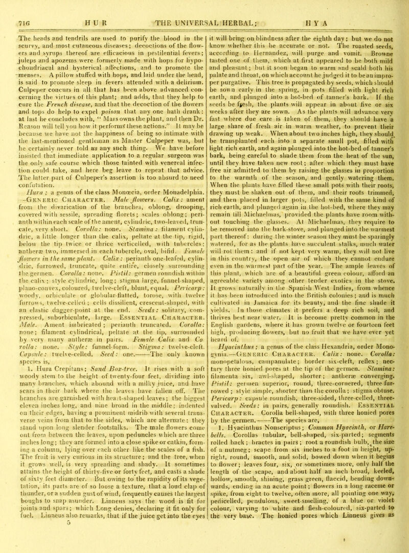 The heads aud tendrils are used to purify the blood in the scurvy, and most cutaneous diseases; decoctions of the flow- ers and syrups thereof are efficacious in pestilential fevers; juleps and apozems were formerly made with hops for hypo- chondriacal and hysterical affections, and to promote the -menses. A pillow stuffed with hops, and laid under the head, is said to promote sleep in fevers attended with a delirium. Culpeper concurs in all that has been above advanced con- cerning the virtues of this plant; and adds, that they help to cure the French disease, and that the decoction of the flowers and tops do help to expel poison that any one hath drank: at last he concludes with, “ Mars owns the plant, and then Dr. Reason will tell you how it performs these actions.” It may be because we have not the happiness of being so intimate with the last-mentioned gentleman as Master Culpeper was, but he certainly never told us any such thing. We have before insisted that immediate application to a regular surgeon was the only safe course which those tainted with venereal infec- tion could take, and here beg leave to repeat that advice. The latter part of Culpeper’s assertion is too absurd to need confutation. Hum ; a genus of the class Moncecia, order Monadelphia. -Generic Character. Male jlowers. Calix: ament from the divarication of the branches, oblong, drooping, covered with sessile, spreading florets; scales oblong; peri- anth within each scale of the ament, cvlindric, two-leaved, trun- cate, very short. Corolla: none. Stamina: filament cylin- dric, a little longer than the calix, peltate at the lip, rigid, below the tip twice or thrice verticelled, with tubercles; antherae two, immersed in each tubercle, oval, bifid. Female jloivers in the same plant. Calix: perianth one-leafed, cylin- clric, furrowed, truncate, quite entire, closely surrounding lliegermen. Corolla: none. Pistil: germen roundish within the calix ; style cylindric, long; stigma large, funnel-shaped, plano-convex,coloured, twelve-cleft, blunt, equal. Pericarp: woody, orbieulate or globular-flatted, torose, with twelve furrows, twelve-celled ; cells dissident, crescent-shaped, with an elastic dagger-point at the end. Seeds: solitary, com- pressed, suborbiculate, large. Essential Character. Male. Ament imbricated; perianth truncated. Corolla: none; filament cylindrical, peltate at the tip, surrounded by very many antherae in pairs. Female Calix and Co rol/a: none. Style: funnel-form. Stigma: twelve-cleft. Capsule: twelve-celled. Seed: one.- The only known species is, 1. Hura Crepitans; Sand Box-tree. It rises with a soft woody stem to the height of twenty-four feet, dividing into many branches, which abound with a milky juice, and have scars in their bark where the leaves have fallen oft'. The branches are garnished with heart-shaped leqves; the biggest eleven inches long, and nine broad in the middle; indented on their edges, having a prominent midrib with several trans- verse veins from that to the sides, which are alternate: they stand upon long slender footstalks. The male flowers come out from between the leaves, upon peduncles which are three inches long; they are formed into a close spike or catkin, form- ing a column, lying over each other like the scales of a fish. The fruit is very curious in its structure; and the tree, when it grows well, is very spreading and shady. It sometimes attains the height of thirty-five or forty feet, and casts a shade of sixty feet diameter. But owing to the rapidity of its vege- tation, its parts are of so loose a texture, that a loud clap of thunder, ora sudden gust of w’ind, frequently causes the largest boughs to snap asunder. Linneus says the wood is fit for joints and spars; which Long denies, declaring it fit only for fuel. Liuneus also remarks, that if the juice get into the eyes it will bring on blindness after the eighth day; but we do not know' whether this be accurate or not. The roasted seeds, according to Hernandez, will purge and vomit. Browne tasted one of them, which at first appeared to be both mild and pleasant; but it soon began to warm and scald both his palate and throat, on which account he judged it to bean impro- per purgative. This tree is propagated by seeds, which should be sown early in the spring, in pots filled with light rich earth, and plunged into a hot-bed of tanner’s bark. If the seeds be fjesh, the plants will appear in about five or six weeks after they are sown. As the plants will advance very fast where due care is taken of them, they should have a large share of fresh air in warm weather, to prevent their drawing up weak. When about tw o inches high, they should, be transplanted each into a separate small pot, filled with light rich earth, and again pluuged into the hot-bed of tanner’s bark, being careful to shade them from the heat of the sun, until they have taken new root; after which they must have free air admitted to them by raising the glasses in proportion to the warmth of the season, and gently watering them. When the plants have filled these small pots with their roots, they must be shaken out of them, and their roots trimmed, and then placed in larger pots, filled with the same kind of rich earth, and plunged again in the hot-bed, W'here they may remain till Michaelmas, provided the plants have room with- out touching the glasses. At Michaelmas, they require to be removed into the bark-stove, and plunged into the warmest part thereof: during the winter season they must be sparingly watered, for as the plants have succulent stalks, much w'aler will rot them : and if not kept very warm, they will not live in this country, the open air of which they cannot endure even in the warmest part of the year. The ample leaves of this plant, which are of a beautiful green colour, afford an agreeable variety among other tender exotics in the stove. It grows naturally in the Spanish West Indies, from whence it has been introduced into the British colonies; and is much cultivated in Jamaica for its beauty, and the fine shade it yields. In those climates it prefers a deep rich soil, and thrives best near water. It is become pretty common in the English gardens, where it has grown twelve or fourteen feet high, producing flowers, but no fruit that we have ever yet heard of. Hyacinthus ; a genus of the class Hexandria, order Mono- gynia.—Generic Character. Calix: none. Corolla: monopetalous, campanulate; border six-cleft, reflex; nec- tary three honied pores at the tip of the germen. Stamina: filamenta six, awl-shaped, shorter; antheras converging. Pistil: germen superior, rouud, three-cornered, three fur- rowed ; style simple, shorter than the corolla; stigma obtuse. Pericarp: capsule roundish, three-sided, three-celled, three- valved. Seeds: in pairs, generally roundish. Essential Character. Corolla bell-shaped, with three honied pores by the germen. The species are, 1. Hyacinthus Nonscriptus; Common Hyacinth, or Hare- bells. Corollas tubular, bell-shaped, six parted; segments rolled back ; bractes in pairs ; root a roundish bulb,tthe size of a nutmeg; scape from six inches to a foot in height, up- right, round, smooth, and solid, bowed down when it begins to flower; leaves four, six, or sometimes more, only half the length of the scape, and about half an inch broad, keeled, hollow, smooth, shining, grass green, flaccid, bending down- wards, ending in an acute point; flowers in a long raceme or spike, from eight to twelve, often more, all pointing one way, pedicelled, pendulous, sweet-smelling, of a blue or violet colour, varying to white and flesh-coloured, six-parted to the very base. The honied pores which Linneus gives as