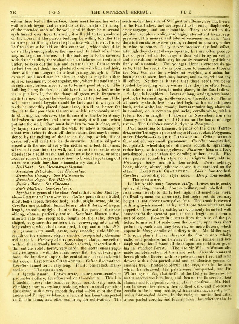 within three feet of the surface, there must be another outer wall or arch begun, and carried up to the height of the top of the intended arch of the well; and if there be a second arch turned over from this well, it will add to the goodness of the house, if the person building be willing to suffer the expense; but if not, then the plate into which the roof is to be framed must be laid on this outer wall, which should be carried high enough above the inner arch to admit of a door- way in, to get out the ice. If the building is to be covered with slates or tiles, there should be a thickness of reeds laid under, to keep out the sun and external air: if these reeds be laid two feet thick, and plastered over with lime and hair, there will be no danger of the heat getting through it. The external wall need not be circular only; it may be either square, hexangular, or octangular, and, where it stands much in sight, may be contrived so as to form a good object. The building being finished, should have time to dry before the ice is put into it, for the damp of green walls frequently melts the ice. Upon the wooden grate, at the bottom of the well, some small faggots should be laid, and if a layer of reeds be smoothly placed upon these, it will be better for the ice to lie upon than the straw, which is commonly used. In choosing ice, observe, the thinner it is, the better it may be broken to powder, and the more easily it will unite when put into the well. Care must be taken to ram it close, and, by laying straw all round the wall, to allow a vacancy of about two inches to drain off the moisture that may be occa- sioned by the melting of the ice on the top, which, if not drawn off, will melt the ice downwards. A little saltpetre mixed with the ice, at every ten inches or a foot thickness, when it is put into the well, will cause it to unite more closely into a solid mass: and there must be a crow, or other iron instrument, always in readiness to break it up, taking out no more at each time than is immediately wanted. Ice-Plant. See Mesembryanthemum. Jerusalem Artichoke. See Helianthus. Jerusalem Cowslip. See Pulmonaria. Jerusalem Sage. See Phlomis. Jesuit’s Bark. See Cinchona. Jew’s Mallow. See Corchorus. Ignalia; a genus of the class Pentandria, order Monogy- nia.—Generic Character. Calix: perianth one-leafed, short, bell-shaped, five-toothed; teeth upright, ovate, obtuse. Corolla: one-petalled, funnel-form; tube filiform, of a span length, smooth, upright; border flat, five-parted; divisions oblong, obtuse, perfectly entire. Stamina: filamenta five, inserted into the receptacle, length of the tube, thread- shaped, very smooth; antherae five, converging into an ob- long column, which is five-cornered, sharp, and rough. Pis- til: germen very small, ovate, very smooth; style filiform, length of the stamina; stigma slender, two-parted; divisions awl-shaped. Pericarp: berry pear-shaped, large, one-celled, with a thick woody bark. Seods: several, covered with a thin cuticle, solid, horny, very hard ; the lateral ones irregu- larly tetragonal, with the inner sides flat, the outward gib- bose, the interior oblique; the central one hexagonal, with flat sides. Essential Character. Calix: five-toothed. Corolla: funnel form, very long. Fruit: one-celled, many- seeded. The species are, 1. Ignatia Amara. Leaves ovate, acute; stem scandent; peduncles axillary, four-flowered or thereabouts. This is a branching tree; the branches long, round, very smooth, climbing; flowers very long, nodding, white, in small panicles; fruit ovate, with a very smooth dry rind.—-Native of the East Indies and Philippine Islands, whence it has been transported to Cochin-china, and other countries, for cultivation. The seeds under the name of St. Ignatius’s Beans, are much used in the East Indies, and are reputed to be tonic, diaphoretic, emmenagogue, and anthelminthic. They are used in the pituitary apoplexy, colic, cardialgia, intermittent fevers, sup- pression of the menses, and bites of venomous animals. The dose is from six to twelve grains, reduced to powder, either in wine or water. They never produce any bad effect, although they do not always operate, but are often produc- tive of great relief; too large a dose will bring on vertigo and convulsions, which may be easily removed by drinking freely of lemonade. The younger Linneus erroneously as- serts, that the seeds are as poisonous to animals as those of the Nux Vomica; for a whole nut, weighing a drachm, has been given to oxen, buffaloes, horses, and swine, without any ill effect. Neither is it true that these seeds are never spoiled by keeping or by worms, for they are often found with holes eaten in them, in moist places, in the East Indies. 2. Ignatia Longiflora. Leaves oblong, waving, acuminate; peduncles terminating, six-flowered, or thereabouts. This is a branching shrub, five or six feet high, with a smooth green bark, and a white hard wood; flowers terminating, about six in number, on a common peduncle; corolla white, with a tube a foot in length. It flowers in November, fruits in January, and is a native of Guiana on the banks of large rivers. The Caribbee name is Aymara Posoqueri. Ilex; according to Linneus, a genus of the class Tetran- dria, order Tetragynia; according to Hudson, class Polygamia, order Dioecia.—Generic Character. Calix: perianth four-toothed, very small, permanent. Corolla: one-petalled, four-parted, wheel-shaped; divisions roundish, spreading, rather large, with cohering claws. Stamina: filamenta four, awl-shaped, shorter than the corolla; antherae small. Pis- til: germen roundish; style none; stigmas four, obtuse. Pericarp: berry roundish, four-celled. Seed: solitary, bony, oblong, obtuse, gibbose on one side, cornered on the other. Essential Character. Calix: four-toothed. Corolla: wheel-shaped; style none. Berry four-seeded. The species are, 1. Ilex Aquifolium ; Common Holly. Leaves ovate, acute, spiny, shining, waved; flowers axillary, subumbelled. It rises from twenty to thirty feet high, and sometimes more, for Bradley mentions a tree sixty feet high ; but its ordinary height is not above twenty-five feet. The trunk is covered with a grayish smooth bark; and those trees which are not lopped or browzed by cattle, are commonly furnished with branches for the greatest part of their length, and form a sort of cone. Flowers in clusters from the base of the pe- tioles, form a sort of scale upon the branch, upon very short peduncles, each sustaining five, six, or more flowers, which appear in May; corolla of a dirty white. Mr. Miller says, “ In some plants I have observed the flowers were wholly male, and produced no berries; in others female and her- maphrodite; but I found all three upon some old trees grow- ing in Windsor Forest.” The late Sir William Watson also made an observation of the same sort. Gerarde remarked hermaphrodite flowers with five petals on one tree, and male flowers with a four-parted petal and an abortive germen on another tree. Professor Martin also says, that in the trees which he observed, the petals were four-parted; and Dr. Withering remarks, that he found the Holly in flower so late as the second week in June, and then all the flowers had four stamina and four pistilla; which Haller confirms. Mr. Hud- son however describes a five-toothed calix and five-parted corolla in the hermaphrodite, with five stamina, five stigmata, and a four-seeded berry; in the male, a four-toot lied calix, a four-parted corolla, and four stamina: but whether this be