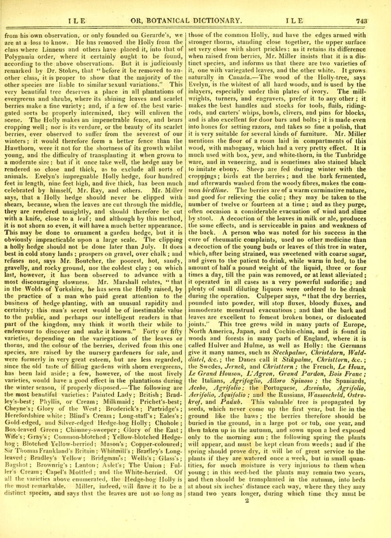 from his awn observation, or only founded on Gerarde’s, we are at a loss to know. He has removed the Holly from the class where Linneus and others have placed it, into that of Polygamia order, where it certainly ought to be found, according to the above observations. But it is judiciously remarked by Dr. Stokes, that “ before it be removed to an- other class, it is proper to show that the majority of the other species are liable to similar^exual variations.” This very beautiful tree deserves a place in all plantations of evergreens and shrubs, where its shining leaves and scarlet berries make a tine variety; and, if a few of. the best varie- gated sorts be properly intermixed, they will enliven the scene. The Holly makes an impenetrable fence, and bears cropping well; nor is its verdure, or the beauty of its scarlet berries, ever observed to suffer from the severest of our winters; it would therefore form a better fence than the Hawthorn, were it not for the shortness of its growth whilst young, and the difficulty of transplanting it when grown to a moderate size ; but if it once take well, the hedge may be rendered so close and thick, as to exclude all sorts of animals. Evelyn’s impregnable Holly hedge, four hundred feet in length, nine feet high, and five thick, has been much celebrated by himself, Mr. Ray, and others. Mr. Miller says, that a Holly hedge should never be clipped with shears, because, when the leaves are cut through the middle, they are rendered unsightly, and should therefore be cut with a knife, close to a leaf; and although by this method, it is not shorn so even, it will have a much better appearance. This may be done to ornament a garden hedge, but it is obviously impracticable upon a large scale. The clipping a holly hedge should not be done later than July. It does best in cold stony lands ; prospers on gravel, over chalk; and refuses not, says Mr. Boutcher, the poorest, hot, sandy, gravelly, and rocky ground, nor the coldest clay ; on which last, however, it has been observed to advance with a most discouraging slowness. Mr. Marshall relates, “ that in the Wolds of Yorkshire, he has seen the Holly raised, by the practice of a man who paid great attention to the business of hedge planting, with an unusual rapidity and certainty; this man’s secret would be of inestimable value to the public, and perhaps our intelligent readers in that part of the kingdom, may think it worth their while to endeavour to discover and make it known.” Forty or fifty varieties, depending on the variegations of the leaves or thorns, and the colour of the berries, derived from this one species, are raised by the nursery gardeners for sale, and were formerly in very great esteem, but are less regarded, since the old taste of filling gardens with shorn evergreens, has been laid aside; a few, however, of the most lively varieties, would have a good effect in the plantations during the winter season, if properly disposed.—The following are the most beautiful varieties: Painted Lady; British; Brad- ley’s-best; Phyllis, or Cream; Milkmaid; Prichet’s-best; Cheyne’s; Glory of the West; Broderick’s; Partridge’s; Herefordshire white ; Blind’s Cream; Long-staff’s ; Eales’s ; Gold-edged, and Silver-edged Hedge-hog Holly; Chohole ; Box-leaved Green; Chimney-sweeper; Glory of the East; Wife’s; Gray’s; Common-blotched; Yellow-blotched Hedge- hog; Blotched Yellow-berried ; Mason’s; Copper-coloured; Sir ThomasFrankland’s Britain; Whitmill’s ; Bradley’s Long- leaved; Bradley’s Yellow; Bridgman’s; Wells’s; Glass’s; Bagshot; Brownrig’s ; Lanton; Aslet’s; The Union; Ful- ler’s Cream ; Capel’s Mottled ; and the White-berried. Of all the varieties above enumerated, the Hedge-hog Holly is the most remarkable. Miller, indeed, will have it to be a distinct species, and says that the leaves are not so long as those of the common Holly, and have the edges armed with stronger thorns, standing close together, the upper surface set very close with short prickles: as it retains its difference when raised from berries, Mr. Miller insists that it is a dis- tinct species, and informs us that there are two varieties of it, one with variegated leaves, and the other white. It grows naturally in Canada.—The wood of the Holly-tree, says Evelyn, is the whitest of all hard woods, and is used by the inlayers, especially under thin plates of ivory. The mill- wrights, turners, and engravers, prefer it to any other ; it makes the best handles and stocks for tools, flails, riding- rods, and carters’ whips, bowls, clivers, and pins for blocks, and is also excellent for door bars and bolts ; it is made even into hones for setting razors, and takes so fine a polish, that it is very suitable for several kinds of furniture. Mr. Miller mentions the floor of a room laid in compartments of this wood, with mahogany, which had a very pretty effect. It is much used with box, yew, and white-thorn, in the Tunbridge ware, and in veneering, and is sometimes also stained black to imitate ebony. Sheep are fed during winter with the croppjngs; birds eat the berries ; and the bark fermented, and afterwards washed from the woody fibres, makes the com- mon birdlime. The berries are of a warm carminative nature, and good for relieving the colic; they may be taken to the number of tw'elve or fourteen at a time; aud as they purge, often occasion a considerable evacuation of wind and slime by stool. A decoction of the leaves in milk or ale, produces the same effects, and is serviceable in pains and weakness of the back. A person who was noted for his success in the cure of rheumatic complaints, used no other medicine than a decoction of the young buds or leaves of this tree in water, which, after being strained, was sweetened with coarse sugar, and given to the patient to drink, while warm in bed, to the amount of half a pound weight of the liquid, three or four times a day, till the pain was removed, or at least alleviated; it operated in all cases as a very powerful sudorific; and plenty of small diluting liquors were ordered to be drank during the operation. Culpeper says, “ that the dry berries, pounded into powder, will stop fluxes, bloody fluxes, and immoderate menstrual evacuations ; and that the bark and leaves are excellent to foment broken bones, or dislocated joints.” This tree grows wild in many parts of Europe, North America, Japan, and Cochin-china, and is found in woods and forests in many parts of England, where it is called Hulver and Hulme, as well as Holly: the Germans give it many names, such as Stechpalme, Christdorn, Wald- distel, &c.; the Danes call it Stikpalme, Christtorn, &c.; the Swedes, Jernelc, and Christtorn ; the French, Le Houx, Le Grand Houson, JL’Agron, Grand Pardon, Bois Franc ; the Italians, Agrifoglio, Alloro Spinoso ; the Spaniards, Acebo, Agrifolio; the Portuguese, Azevinho, Agrifolio, Aerifolio, Aquifolio ; and the Russians, Wassoscheld, Ostro- krof, and Padub. This valuable tree is propagated by seeds, which never come up the first year, but lie in the ground like the haws; the berries therefore should be buried in the ground, in a large pot or tub, one year, and then taken up in the autumn, and sown upon a bed exposed only to the morning sun ; the following spring the plants will appear, and must be kept clean from weeds; and if the spring should prove dry, it will be of great service to the plants if they are watered once a week, but in small quan- tities, for much moisture is very injurious to them when young ; in this seed-bed the plants may remain two years, and then should be transplanted in the autumn, into beds at about six inches’ distance each way, where they they may stand two years longer, during which time they must be 2