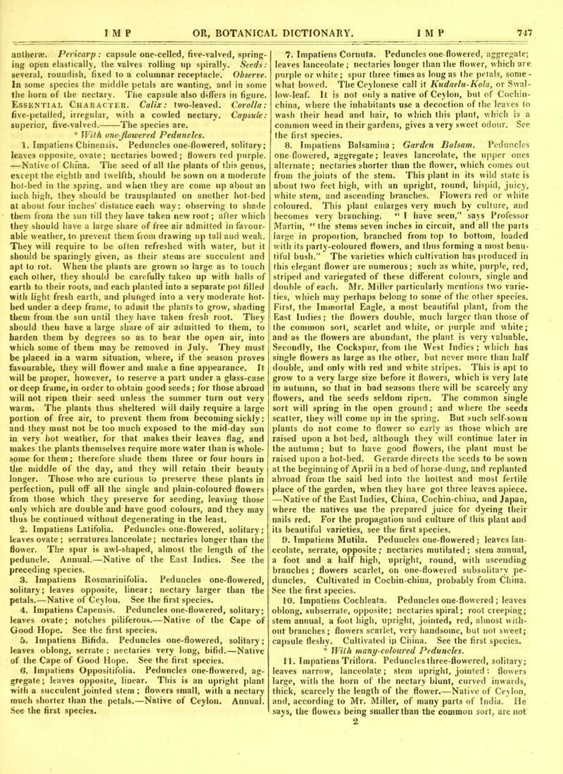 antheraj. Pericarp: capsule one-celled, five-valved, spring- ing open elastically, the valves rolling up spirally. Seeds: several, roundish, fixed to a columnar receptacle. Observe. In some species the middle petals are wanting, and in some the horn of the nectary. The capsule also differs in figure. Essential Character. Calix: two-leaved. Corolla: five-petalled, irregular, with a cowled nectary. Capsule: superior, five-valved. The species are. * With one-jlowered Peduncles. 1. Impatiens Chinensis. Peduncles one-flowered, solitary; leaves opposite, ovate; nectaries bowed; flowers red purple. —Native of Chfna. The seed of all the plants of this genus, except the eighth and twelfth, should be sown on a moderate hot-bed in the spring, and when they are come up about an inch high, they should be transplanted on another hot-bed at about four inches’ distance each way; observing to shade them from the sun till they have taken new root; after which they should have a large share of free air admitted in favour- able weather, to prevent them from drawing up tall and weak. They will require to be often refreshed with water, but it should be sparingly given, as their stems are succulent and apt to rot. When the plants are grown so large as to touch each other, they should be carefully taken up with balls of earth to their roots, and each planted into a separate pot filled with light fresh earth, and plunged into a very moderate hot- bed under a deep frame, to admit the plants to grow, shading them from the sun until they have taken fresh root. They should theu have a large share of air admitted to them, to harden them by degrees so as to bear the open air, into which some of them may be removed in July. They must be placed in a warm situation, where, if the season proves favourable, they will flower and make a fine appearance. It will be proper, however, to reserve a part under a glass-case or deep frame, in order to obtain good seeds ; for those abroad will not ripen their seed unless the summer turn out very warm. The plants thus sheltered will daily require a large portion of free air, to prevent them from becoming sickly: and they must not be too much exposed to the mid-day sun in very hot weather, for that makes their leaves flag, and makes the plants themselves require more water than is whole- some for them ; therefore shade them three or four hours in the middle of the day, and they will retain their beauty longer. Those who are curious to preserve these plants in perfection, pull off all the single and plain-coloured flowers from those which they preserve for seeding, leaving those only which are double and have good colours, and they may thus be continued without degenerating in the least. 2. Impatiens Latifolia. Peduncles one-flowered, solitary; leaves ovate; serratures lanceolate; nectaries longer than the flower. The spur is awl-shaped, almost the length of the peduncle. AnnuaL—Native of the East Indies. See the preceding species. 3. Impatiens Rosmarinifolia. Peduncles one-flowered, solitary; leaves opposite, linear; nectary larger than the petals.—Native of Ceylon. See the first species. 4. Impatiens Capensis. Peduncles one-flowered, solitary; leaves ovate; notches piliferous.—Native of the Cape of Good Hope. See the first species. 5. Impatiens Bifida. Peduncles one-flowered, solitary; leaves oblong, serrate ; nectaries very long, bifid.—Native of the Cape of Good Hope. See the first species. 6. Impatiens Oppositifolia. Peduncles one-flowered, ag- gregate ; leaves opposite, linear. This is an upright plant with a succulent jointed stem ; flowers small, with a nectary much shorter than the petals.—Native of Ceylon. Annual. See the first species. 7. Impatiens Cornuta. Peduncles one-flowered, aggregate; leaves lanceolate; nectaries longer than the flower, which are purple or white; spur three times as long as the petals, some - what bowed. The Ceylonese call it Kudaelu-Kola, or Swal- low-leaf. It is not only a native of Ceylon, but of Cochin- china, where the inhabitants use a decoction of the leaves to wash their head and hair, to which this plant, which is a common weed in their gardens, gives a very sweet odour. See the first species. 8. Impatiens Balsamina; Garden Balsam. Peduncles one-flowered, aggregate; leaves lanceolate, the upper ones alternate; nectaries shorter than the flower, which comes out from the joints of the stem. This plant in its wild state is about two feet high, with an upright, round, hispid, juicy, white stem, and ascending branches. Flowers red or white I coloured. This plant enlarges very much by culture, and becomes very branching. “ I have seen,” says Professor Martin, “ the stems seven inches in circuit, and all the parts large in proportion, branched from top to bottom, loaded with its party-coloured flowers, and thus forming a most beau- tiful bush. The varieties which cultivation has produced in j this elegant flower are numerous; such as white, purple, red, striped and variegated of these different colours, single and double of each. Mr. Miller particularly mentions two varie- ties, which may perhaps belong to some of the other species. I First, the Immortal Eagle, a most beautiful plant, from the East Indies; the flowers double, much larger than those of the common sort, scarlet and white, or purple and white; and as the flowers are abundant, the plant is very valuable. Secondly, the Cockspur, from the West Indies ; which has single flowers as large as the other, but never more than half double, and only with red and white stripes. This is apt to grow to a very large size before it flowers, which is very late in autumn, so that in bad seasons there will be scarcely any flowers, and the seeds seldom ripen. The common single sort will spring in the open ground ; and where the seeds scatter, they will come up in the spring. But such self-sown plants do not come to flower so early as those which are raised upon a hot bed, although they will continue later in the autumn; but to have good flowers, the plant must be raised upon a hot-bed. Gerarde directs the seeds to be sown at the beginning of April in a bed of horse-dung, and replanted abroad from the said bed into the hottest and most fertile place of the garden, when they have got three leaves apiece. —Native of the East Indies, China, Cochin-china, and Japan, where the natives use the prepared juice for dyeing their nails red. For the propagation and culture of this plant and its beautiful varieties, see the first species. 9. Impatiens Mutila. Peduncles one-flowered ; leaves lan- ceolate, serrate, opposite; nectaries mutilated; stem annual, a foot and a half high, upright, round, with ascending branches ; flowers scarlet, on one-flowered subsolitary pe- duncles. Cultivated in Cochin-china, probably from China. See the first species. 10. Impatiens Coehleata. Peduncles one-flowered ; leaves oblong, subserrate, opposite; nectaries spiral; root creeping; stem annual, a foot high, upright, jointed, red, almost with- out branches ; flowers scarlet, very handsome, but not sweet; capsule fleshy. Cultivated ip China. See the first species. * With many-coloured Peduncles. 11. Impatiens Triflora. Peduncles three-flowered, solitary; leaves narrow, lanceolate; stem upright, jointed ; flowers large, with the horn of the nectary blunt, curved inwards, thick, scarcely the length of the flower.—Native of Ceylon, and, according to Mr. Miller, of many parts of India. He says, the flowers being smaller than the common sort, are not