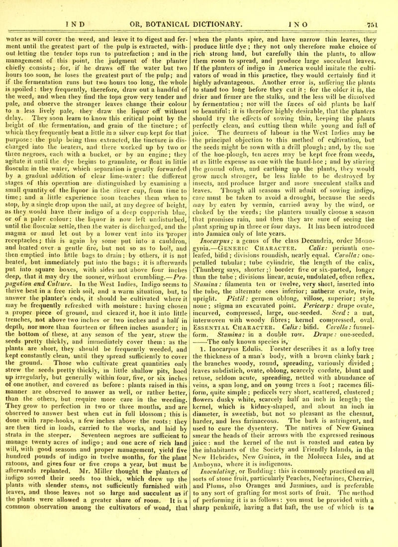 water as will cover the weed, and leave it to digest and fer- ment until the greatest part of the pulp is extracted, with- out letting the tender tops run to putrefaction ; and in the management of this point, the judgment of the planter chiefly consists; for, if he draws off the water but two hours too soon, he loses the greatest part of the pulp; and if the fermentation runs but two hours too long, the whole is spoiled : they frequently, therefore, draw out a handful of the weed, and when they find the tops grow very tender and pale, and observe the stronger leaves change their colour to a less lively pale, they draw the liquor off without delay. They soon learn to know this critical point by the height of the fermentation, and grain of the tincture; of which they frequently beat a little hi a silver cup kept for that purpose: the pulp being thus extracted, the tincture is dis- charged into the beaters, and there worked up by two or three negroes, each with a bucket, or by an engine; they agitate it until the dye begins to granulate, or float in little floscula; in the water, which separation is greatly forwarded by a gradual addition of clear lime-water: the different stages of this operation are distinguished by examining a small quantity of the liquor in the stiver cup, from time to time; and a little experience soon teaches them when to stop, by a single drop upon the nail, at any degree of height, as they would have their indigo of a deep copperish blue, or of a paler colour: the liquor is now left undisturbed, until the flosculae settle, then the water is discharged, and the magma or mud let out by a lower vent into its “proper receptacles; this is again by some put into a cauldron, and heated over a gentle fire, but not so as to boil, and then emptied into little bags to drain; by others, it is not heated, but immediately put into the bags; it is afterwards put into square boxes, with sides not above four inches deep, that it may dry the sooner, without crumbling.—Pro- pagation and Culture. In the West Indies, Indigo seems to thrive best in a free rich soil, and a warm situation, but, to answer the planter’s ends, it should be cultivated where it may be frequently refreshed with moisture: having chosen a proper piece of ground, and cleared it, hoe it into little trenches, not above two inches or two inches and a half in depth, nor more than fourteen or fifteen inches asunder; in the bottom of these, at any season of the year, strew the seeds pretty thickly, and immediately cover them: as the plants are short, they should be frequently weeded, and kept constantly clean, until they spread sufficiently to cover the ground. Those who cultivate great quantities only strew the seeds pretty thickly, in little shallow pits, hoed up irregularly, but generally within four, five, or six inches of one another, and covered as before: plants raised in this manner are observed to answer as well, or rather better, than the others, but require more care in the weeding. They grow to perfection in two or three months, and are observed to answer best when cut in full blossom ; this is done with rape-hooks, a few inches above the roots: they arc then tied in loads, carried to the works, and laid by strata in the steeper. Seventeen negroes are sufficient to manage twenty acres of indigo; and one acre of rich land will, with good seasons and proper management, yield five hundred pounds of indigo in twelve months, for the plant ratoons, and gives four or five crops a year, but must be afterwards replanted. Mr. Miller thought the planters of indigo sowed their seeds too thick, which drew up the plants with slender stems, not sufficiently furnished with leaves, and those leaves not so large and succulent as if the plants were allowed a greater share of room. It is a common observation among the cultivators of woad, that when the plants spire, and have narrow thin leaves, they produce little dye ; they not only therefore make choice of rich strong land, but carefully thin the plants, to allow them room to spread, and produce large succulent leaves. If the planters of indigo in America would imitate the culti- vators of woad in this practice, they would certainly find it highly advantageous. Another error is, suffering the plants to stand too long before they cut it; for the older it is, the drier and firmer are the stalks, and the less will be dissolved by fermentation ; nor will the faeces of old plants be half so beautiful: it is therefore highly desirable, that the planters should try the effects of sowing thin, keeping the plants perfectly clean, and cutting them while young and full of juice. The dearness of labour in the West Indies may be the principal objection to this method of cultivation, but the seeds might be sown with a drill plough; and, by the use of the hoe-plough, ten acres may be kept free from weeds, at as little expense as one w ith the hand-hoe ; and by stirring the ground often, and earthing up the plants, they would grow much stronger, be less liable to be destroyed by insects, and produce larger and more succulent stalks and leaves. Though all seasons will admit of sowing indigo, care must be taken to avoid a drought, because the seeds may by eaten by vermin, carried away by the wind, or choked by the weeds; the planters usually choose a season that promises rain, and then they are sure of seeing the plant spring up in three or four days. It has been introduced into Jamaica only of late years. Inocarpus; a genus of the class Decandria, order Mono* gynia.—Generic Character. Calix: perianth one- leafed, bifid ; divisions roundish, nearly equal. Corolla: one- petalled tubular; tube cylindric, the length of the calix, (Thunberg says, shorter;) border five or six-parted, longer than the tube ; divisions linear, acute, undulated, often reflex. Stamina : filamenta ten or twelve, very short, inserted into the tube, the alternate ones inferior; antherae ovate, twin, upright. Pistil: germen oblong, villose, superior; style none; stigma an excavated point. Pericarp: drupe ovate, incurved, compressed, large, one-seeded. Seed: a nut, interwoven with woody fibres; kernel compressed, oval. Essential Character. Calix: bifid. Corolla: funnel- form. Stamina: in a double row. Drupe: one-seeded. ——The only known species is, 1. Inocarpus Edulis. Forster describes it as a lofty tree the thickness of a man’s body, with a brown chinky bark ; the branches woody, round, spreading, variously divided ; leaves subdistich, ovate, oblong, scarcely cordate, blunt and retuse, seldom acute, spreading, netted with abundance of veins, a span long, and on young trees a foot; racemes fili- form, quite simple ; pedicels very short, scattered, clustered; flowers dusky white, scarcely half an inch in length; the kernel, which is kidney-shaped, and about an inch in diameter, is sweetish, but not so pleasant as the chesnut, harder, and less farinaceous. The bark is astringent, and used to cure the dysentery. The natives of New Guinea smear the heads of their arrows with the expressed resinous juice : and the kernel of the nut is roasted and eaten by the inhabitants of the Society and Friendly Islands, in the New Hebrides, New Guinea, in the Molucca Isles, and at Amboyna, where it is indigenous. Inoculating, or Budding: this is commonly practised on all sorts of stone fruit, particularly Peaches, Nectarines, Cherries, and Plums, also Oranges and Jasmines, and is preferable to any sort of grafting for most sorts of fruit. The method of performing it is as follows: you must be provided with a sharp penknife, having a flat haft, the use of which is te