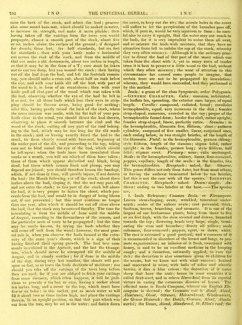 raise the bark of the stock, and admit the bud; procure also some sound bass-mat, which should be soaked in water, to increase its strength, and make it more pliable: then having taken oft' the cuttings from the trees you would propagate, choose a smooth part of the stock, about tive or six inches above the surface of the ground ; if designed for dwarfs, three feet, for half standards, but six feet for standards ; then with your knife make a horizontal cut across the rind of the stock, and from the middle of that cut make a slit downwards, about two inches in length, so that it may be in the form of a T; care must be taken not to cut too deep, lest you wound- the stock ; then having cut off the leaf from the bud, and left the footstalk remain- ing, you should make a cross cut, about half an inch below the eye, and with your knife slit off the bud, with part of the wood to it, in form of an escutcheon; then with your knife pull oft' that part of the wood which was taken with the bud, observing whether ihe eye of the bud be left to it or not, for all those buds which lose their eyes in strip- ping should be thrown away, being good for nothing: after this, having gently raised the bark of the stock, where the cross incision was made, with the flat haft of your pen- knife clear to the wood, you should thrust the bud therein, observing to place it smooth between the rind and the wood of the stock, cutting off any part of the rind belong- ing to the bud, which may be too long for the slit made in the stock ; and so having exactly fitted the bud to the stock, tie them closely round witli bass-mat, beginning at the under part of the slit, and proceeding to the top, taking care not to bind round the eye of the bud, which should be left open: when the buds have been inoculated three weeks or a month, you will see which.of them have taken ; those of them which appear shrivelled and black, being dead, but those which remain fresh and plump, you may depend are joined; you should therefore loosen the bandage, which, if not done in time, will greatly injure, if not destroy the bud: the March following, cut oft' the stock, about three inches above the bud, sloping it, that the wet may pass oft', and not enter the stock; to this part of the stock left above the bud, it is very proper to fasten the shoot, which pro- ceeds from the bud, and would be in danger of being blown out, if not prevented ; but this must continue no longer than one year, after which it should be cut off close above the bud, that the stock may be covered thereby. The time for inoculating is from the middle of June until the middle of August, according to the forwardness of the season, and the particular sorts of trees to be propagated ; but the time may be easily known, by trying the buds whether they will come off well from the wood; however, the most gene- ral rule is, when you observe the buds formed at the extre- mity of the same year’s shoots, which is a sign of their having finished their spring growth. The first tree com- monly inoculated is the Apricot, and the last the Orange- tree, which should never be attempted till the middle of Au«ust, and in cloudy weather; for if done in the middle of the day, during very hot weather, the shoots will per- spire so fast, as to leave the buds destitute of moisture; nor should you take off the cuttings of the trees long before they are used, for if you are obliged to fetch your cuttings from some distance, which often happens, it will be judi- cious to provide a tin box or case, having a socket about ten inches long, and a cover to the top, which must have five or six holes : in this socket, put as much water as will fill it about two or three inches high, and place the cuttings therein, in an upright position, so that that part which was cut from the tree, may be set in the water; and fasten down the cover, to keep out the air; the minute holes in the cover will suffice to let the perspiration of the branches pass off, which, if pent in, would be very injurious to them : be care- ful also to carry it upright, that the water may not reach to the buds, for it is very imprudent to water them all over, and so saturate the buds with moisture, that they have no attractive force left to imbibe the sap of the stock, whereby they very often miscarry. Although it is the ordinary prac- tice to divest the bud of that part of the wood which was taken from the shoot with it, yet in many sorts of tender trees it is best to preserve a little wood to the bud, without which they often miscarry ; the want of attention to this circumstance has caused some people to imagine, that certain trees are not to be propagated by inoculation; whereas, they would have succeeded, had they performed it by this method. Inula; a genus of the class Syngenesia, order Polygamia. —Generic Character. Calix: common, imbricated; the leaflets lax, spreading, the exterior ones larger, of equal length. Corolla: compound, radiated, broad ; corollules hermaphrodite, equal, very numerous in the disk ; females strap-shaped, numerous, crowded in the ray ; proper of the hermaphrodite funnel-form ; border five cleft, rather upright; females strap-shaped, linear, perfectly entire. Stamina : in the hermaphrodite, filamenta five, filiform, short; anthene cylindric, composed of five smaller, linear, conjoined ones, each ending below, in two straight bristles, of the length of the filamenta. Pistil: in the hermaphrodite, germen oblong; style filiform, length of the stamina; stigma bifid, rather upright: in the females, germen long; style filiform, half bifid; stigmas erect. Pericarp: none; calix unchanged. Seeds: in the hermaphrodites, solitary, linear, four-cornered, pappus, capillary, length of the seeds : in the females, like the hermaphrodites. Receptacle: naked, fiat. Observe. This genus differs not only from Aster, but from most others, in having the antheras terminated below by ten bristles, but this is not the case with all the species. Essential Character. Receptacle: naked. Down: simple. An- therce: ending in two bristles at the base. The species are, 1. Inula Helenium; Common Inula, or Elecampane. Leaves stem-clasping, ovate, wrinkled, tomentose under- neath ; scales of the calices ovate; root perennial, thick, fusiform, brown, branching, and aromatic. It is one of the largest of our herbaceous plants, being from three to five or six feet high, with the stem striated and downy, branched towards the top ; flowering heads very large, single, termi- nating the stem and branches; florets all yellow; seeds columnar, four-cornered; pappus, egret, or down, white. The root is esteemed a good pectoral, and a conserve of it is recommended in disorders of the breast and lungs, to pro- mote expectoration; an infusion of it fresh, sweetened with honey, is said to be an excellent medicine in the hooping cough; and a decoction, outwardly applied, to cure the itch; the decoction is also sometimes given to children for the worms, but we know not with what success: bruised and macerated in urine, with balls of ashes and whortle berries, it dies a blue colour: the decoction of it cures sheep that have the scab; hence in some countries it is called Scab-wort, and in others Horse-heal, from its reputed virtues in curing the cutaneous diseases of horses. The officinal name is Enula Campana, whence our English Ele- campane is derived ; the Germans call it Alanl, Aland, Alantwurz, Olant, Oltwurz, Helenenfcraut, Glockemvurz, der Grosse Heinrich; the Dutch, Gewoon, Alant, Alants- wort el; the Danes, Aland, Alandsrotd, St. Ellen's roed; the 5