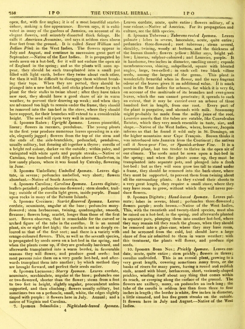 open, flat, with five angles; it is of a most beautiful scarlet- colour, making a fine appearance. Brown says, it is culti- vated in many of the gardens of Jamaica, on accouut of its elegant flowers, and minutely dissected thick foliage. He calls it American Jessamine, and says it seldom rises above four feet from the ground. It is called Sweet William and Indian Pink in the West Indies. The flowers appear in July and August, and continue in succession great part of September.—Native of the East Indies. It is propagated by seeds sown on a hot-bed, for it will not endure the open air of England in the spring; and as the plants will soon ap- pear, they should be each transplanted into a small pot filled with light earth, before they twine about each other, for then it will be difficult to disengage them without break- ing their tops. When they are potted, they should be plunged into a new hot-bed, and sticks placed down by each plant for their stalks to twine about; after they have taken new root, they should have a good share of air in warm weather, to prevent their drawing up weak; and when they are advanced too high to remain under the frame, they should be removed into the tan-bed in the stove, where they should have support, for their branches will extend to a considerable height. The seed will ripen very well in autumn. 2. Ipomcea Rubra ; Upright Ipomoea. Leaves pinuatifid, linear; flowers in racemes, pendulous. The young plants in the first year produce numerous leaves spreading in a cir- cle, elegantly jagged ; flowers from the top of the stem and the ends of, the side-branchlets, peduncled, pendulous, usually solitary, but forming all together a thyrse; corolla of a bright red colour, darker on the outside; within paler, and variegated with white spots and purple streaks.—Native of Carolina, two hundred and fifty miles above Charleston, in low sandy places, where it was found by Catesby, flowering in June. 3. Ipomcea Urobellata; Umbelled Ipomcea. Leaves digi- tate, in sevens; peduncles umbelled, very short; flowers abundant.—Native of South America. 4. Ipomoea Carolina; Carolina Ipomcea. Leaves digitate; leaflets petioled ; peduncles one-flowered; stem slender, trail- ing ; outside of the corolla light green, inside purple. Found upon rocks in many of the Bahama Islands. 6. Ipomcea Coccinea; Scarlet-flowered Ipomoea. Leaves cordate, acuminate, angular at the base; peduncles many- flowered; stem herbaceous, twining, quadrangular, smooth, flexuose; flowers long, scarlet, longer than those of the first sort. Brown observes, that is remarkable for the curved or arched figure of the tube in the corollas. It is an annual plant, six or eight feet high; the corolla is not so deeply co- loured as that of the first sort; and there is a variety with orange-coloured flowers. This, as well as the seventh species, is propagated by seeds sown on a hot-bed in the spring, and when the plants come up, if they are gradually hardened, and afterwards transplanted into a warm border, in favourable seasons they will flower, and produce good seeds: but most persons raise them on a very gentle hot-bed, and after- wards transplant them into another; by which method they are brought forward, and perfect their seeds earlier. 6. Ipomcea Lacuuosa; Starry Ipomcea. Leaves cordate, acuminate, scrobiculate, angular at the base; peduncles one or two-flowered, shorter than the flower; stems from a foot to two feet in height, slightly angular, procumbent unless supported, and then climbing; flowers usually solitary, but sometimes two on a peduncle, small, white, the edges slightly tinged with purple: it flowers here in July. Annual; and a native of Virginia and Carolina. 7. Ipomoea Solanifolia; Nightshade-leaved Ipomcea. Leaves cordate, acute, quite entire ; flowers solitary, of a rose colour.—Native of America. For its propagation and culture, see the fifth species. C. Ipomcea Tuberosa ; Tuberous rooted Ipomcea. Leaves palmate ; lobes in sevens, lanceolate, acute, quite entire; peduncles three-flowered; root tuberous; stems several, shrubby, twining, woody at bottom, and the thickness of the human thumb; flowers yellow': Miller says, bright yel- low; Linueus, sulphur-coloured; and Loureiro, purple. It is handsome, two inches in diameter, smelling sweet; capsule membranaceous, shining, subpellucid, square with blunted angles, large, two-celled ; in each cell two black villose seeds, among the largest of the genus. This plant is wonderfully beautiful when in flower, and the very fragrant odour of the leaves gives it an additional value. It is mOch used in the West Indies for arbours, for which it is very fit, on account of the multitude of its branches and ever-green leaves, which the sun cannot penetrate; it, spreads to such an extent, that it may be carried over an arbour of three hundred feet in length, from one root. Every part of the plant is purgative, and abounds with milk. Scauimony might probably be made from the milky juice of the root. Loureiro asserts that the tubes are eatable, like Convolvulus Batatas, which they very much resemble in taste, size, and shape.—Native of the West Indies, where, however, Jacquin informs us that he found it wild only in St. Domingo, on the higher mountains near Cape Franjois. Brown thinks it was introduced into Jamaica from the Continent; the natives call it Seven-year Vine, or Spanish-arbour Vine. It is a perennial plant, but too tender to thrive in the open air of our climate. The seeds must be sown upon a hot-bed in the spring; and when the plants come up, they must be transplanted into separate pots, and plunged into a fresh hot-bed : but as they will soon grow too tall to stand under a frame, they should be removed into the bark-stove, where they must be supported, to prevent them from twining about all the surrounding plants. As they extend their shoots to a very great length, they require a small stove, where they may have room to grow, without which they will never pro- duce flowers. 9. Ipomcea Digitata ; Hand-leaved. Ipomcea. Leaves pal- mate ; lobes in sevens, blunt; peduncles three-flowered; flowers purple; seeds brown.—Native of the West Indies. This, with the twentieth and twenty-third species, must also be raised on a hot-bed, in the spring, and afterwards planted in separate pots, plunging them into another hot-bed, where they may remain till they reach the glasses, when they should be removed into a glass-case, where they may have room, and be screened from the cold, but should have a large share of free air admitted to them in warm weather: with this treatment, the plants will flower, and produce ripe seeds. 10. Ipomoea Bona Nox; Prickly Ipomcea. Leaves cor- date, acute, quite entire ; stem prickly ; flowers in threes; corollas undivided. This is an annual plant, growing to a very great length, covering sometimes many trees, or the banks of rivers for many paces, having a round and reddish stalk, armed with blunt, herbaceous, short, variously-shaped prickles, winding itself about any thing that comes within its reach, or creeping along the surface of the ground. The flowers are axillary, many, on peduncles an inch long; the tube of the corolla is seldom less than from three to four inches in length ; the border is white, five inches in diameter, a little sinuated, and has five green streaks on the outside. It flowers here in July and August.—Native of the West Indies.