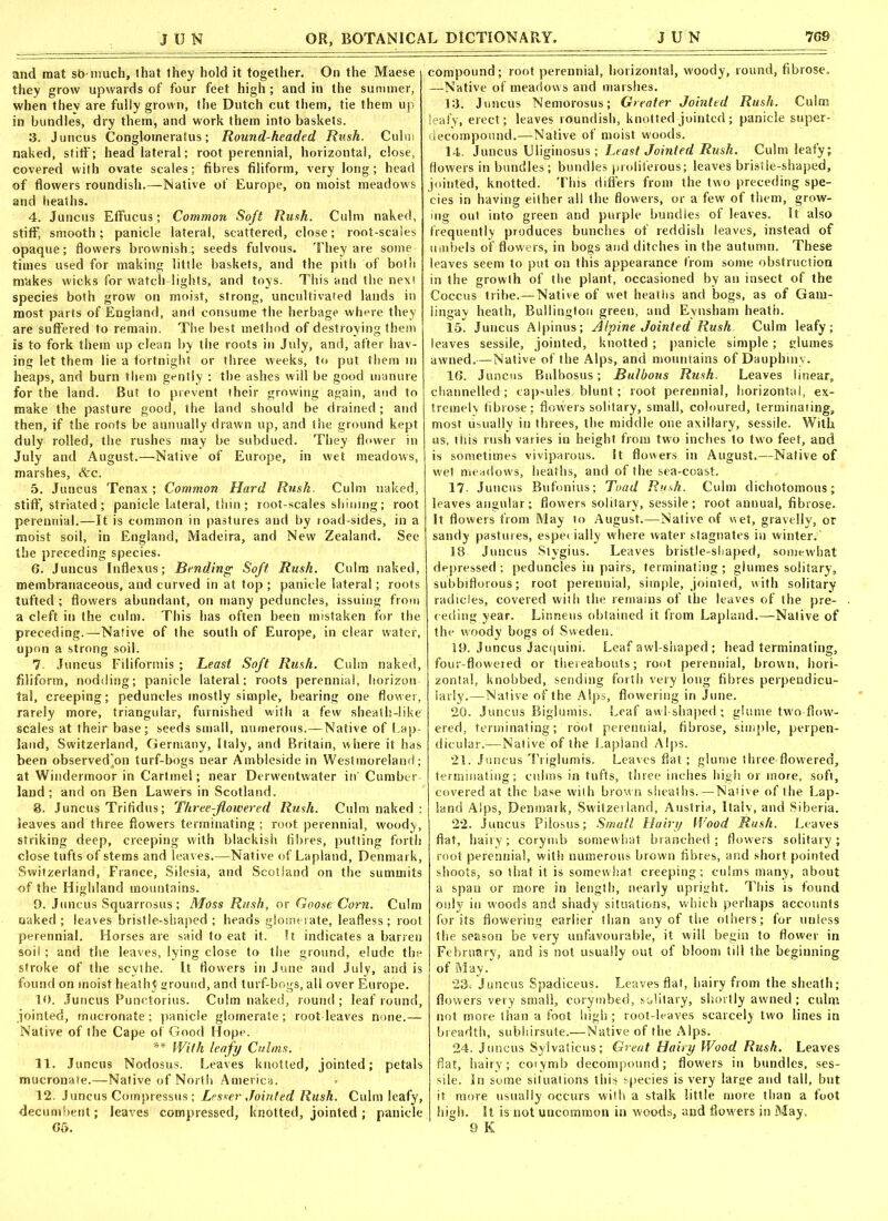 and mat sb much, that they hold it together. On the Maese they grow upwards of four feet high; and in the summer, when they are fully grown, the Dutch cut them, tie them up in bundles, dry them, and work them into baskets. 3. J uncus Conglomerate; Round-headed Rush. Culm naked, stiff; head lateral; root perennial, horizontal, close, covered with ovate scales: fibres filiform, very long; head of flowers roundish.—Native of Europe, on moist meadows and heaths. 4. Juncus Effucus; Common Soft Rush. Culm naked, stiff, smooth ; panicle lateral, scattered, close; root-scales opaque; flowers brownish^ seeds fulvous. They are some times used for making little baskets, and the pith of both makes wicks for watch-lights, and toys. This and the next species both grow on moist, strong, uncultivated lands in most parts of England, and consume the herbage where they are suffered to remain. The best method of destroying them is to fork them up clean by the roots in July, and, after hav- ing let them lie a fortnight or three weeks, to put them in heaps, and burn them gently ; the ashes will be good manure for the land. But to prevent their growing again, and to make the pasture good, the land should be drained; and then, if the roots be annually drawn up, and the ground kept duly rolled, the rushes may be subdued. They flower in July and August.—-Native of Europe, in wet meadows, marshes, &c. 5. Juncus Tenax; Common Hard Rusk. Culm naked, stiff, striated; panicle lateral, thin; root-scales shining; root perennial.—It is common in pastures and by road sides, in a moist soil, in England, Madeira, and New Zealand. See the preceding species. 6. Juncus Inflexus; Bending Soft Rush. Culm naked, membranaceous, and curved in at top ; panicle lateral; roots tufted ; flowers abundant, on many peduncles, issuing from a cleft in the culm. This has often been mistaken for the preceding.—Native of the south of Europe, in clear water, upon a strong soil. 7 Juncus Filiformis ; Least Soft Rush. Culm naked, filiform, nodding; panicle lateral; roots perennial, horizon- tal, creeping; peduncles mostly simple, bearing one flower, rarely more, triangular, furnished with a few sheath-like scales at their base; seeds small, numerous.—Native of Lap: land, Switzerland, Germany, Italy, and Britain, where it has been observed'on turf-bogs near Amblesidein Westmoreland; at Windermoor in Cartmel; near Derwentwater in' Cumber- land; and on Ben Lawers in Scotland. 8. Juncus Trifidus; Three-flowered Rush. Culm naked : leaves and three flowers terminating ; root perennial, woody, striking deep, creeping with blackish fibres, putting forth close tufts of stems and leaves.—Native of Lapland, Denmark, Switzerland, France, Silesia, and Scotland on the summits of the Highland mountains. 9. Juncus Squarrosus; Moss Rush, or Goose Corn. Culm naked ; leaves bristle-shaped ; heads glomerate, leafless ; root perennial. Horses are said to eat it. It indicates a barren soil ; and the leaves, lying close to the ground, elude the stroke of the scythe. It flowers in June and July, and is found on moist heathy ground, and turf-bogs, all over Europe. 10. Juncus Punctorius. Culm naked, round ; leaf round, jointed, mucronate; panicle glomerate; root-leaves none.— Native of the Cape of Good Hope. ** With leafy Culms. 11. J uncus Nodosus. Leaves knotted, jointed; petals mucronate.—Native of North America. 12. Juncus Compressus : Lesser Jointed Rush. Culm leafy, decumbent; leaves compressed, knotted, jointed; panicle 65. compound; root perennial, horizontal, woody, round, fibrose, —Native of meadows and marshes. 13. Juncus Nemorosus; Greater Jointed Rush. Culm leafy, erect; leaves roundish, knotted jointed; panicle super- decompound.—Native of moist woods. 14. Juncus Uliginosus; Least Jointed Rush. Culm leafy; flowers in bundles; bundles proliferous; leaves bristle-shaped, jointed, knotted. This differs from the two preceding spe- cies in having either all the flowers, or a few of them, grow- ing out into green and purple bundles of leaves. It also frequently produces bunches of reddish leaves, instead of umbels of flowers, in bogs and ditches in the autumn. These leaves seem to put on this appearance from some obstruction in the growth of the plant, occasioned by an insect of the Coccus tribe.—Native of wet heaths and bogs, as of Garn- lingay heath, Bullington green, and Eynsham heath. 15. Juncus Alpinus; Alpine Jointed Rush Culm leafy; leaves sessile, jointed, knotted ; panicle simple; glumes awned.—Native of the Alps, and mountains of Dauphinv. 16. Juncus Bulbosus; Bulbous Rush. Leaves linear, channelled ; capsules, blunt; root perennial, horizontal, ex- tremely fibrose: flowers solitary, small, coloured, terminating, most usually in threes, the middle one axillary, sessile. With us, this rush varies in height from two inches to two feet, and is sometimes viviparous. It flowers in August.—Native of wet meadows, heaths, and of the sea-coast. 17- Juncus Bufonius; Toad Rush. Culm dichotomous; leaves angular; flowers solitary, sessile; root annual, fibrose. It flowers from May to August.—Native of wet, gravelly, or sandy pastures, especially where water stagnates in winter. 18 Juncus Stygius. Leaves bristle-shaped, somewhat depressed; peduncles in pairs, terminating; glumes solitary, subbiflorous; root perennial, simple, jointed, with solitary radicles, covered with the remains of the leaves of the pre- ceding year. Linneus obtained it from Lapland.—Native of the woody bogs of Sweden. 19. Juncus Jacquini. Leaf awl-shaped; head terminating, four-flowered or thereabouts; root perennial, brown, hori- zontal, knobbed, sending forth very long fibres perpendicu- larly.—Native of the Alps, flowering in June. 20. Juncus Biglurais. Leaf awl-shaped; glume two-flow- ered, terminating; root perennial, fibrose, simple, perpen- dicular.—Native1 of the Lapland Alps. 21. Juncus Triglumis. Leaves flat; glume three-flowered, terminating; culms in tufts, three inches high or more, soft, covered at the base with brown sheaths.—Native of the Lap- land Alps, Denmark, Switzerland, Austria, Italy, and Siberia. 22. Juncus Pilosus; Small Hairy Wood Rush. Leaves fiat, hairy; corymb somewhat branched; flowers solitary; root perennial, with numerous brown fibres, and short pointed shoots, so that it is somewhat creeping; culms many, about a span or more in length, nearly upright. This is found only in w'oods and shady situations, which perhaps accounts for its flowering earlier than any of the others; for uuless the season be very unfavourable, it will begin to flower in February, and is not usually out of bloom till the beginning of May. 23< Juncus Spadiceus. Leaves flat, hairy from the sheath; flowers very small, corymbed, solitary, shortly awned; culm not more than a foot high; root-leaves scarcely two lines in breadth, subhirsute.— Native of the Alps. 24. Juncus Sylvaticus; Great Hairy Wood Rush. Leaves flat, hairy; corymb decompound; flowers in bundles, ses- sile. In some situations this species is very large and tall, but it more usually occurs with a stalk little more than a foot high. It is not uncommon in woods, and flowers in May. 9 K