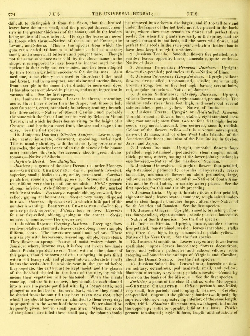 ■difficult to distinguish it from the Savin, that the bruised leaves have the same smell, and the principal difference con- sists in the greater thickness of the shoots, and in the leaflets being acute and less clustered. He says the leaves are never in threes with them.—Native of the south of France, the Levant, and Siberia. This is the species from which the gum resin called Olibanum is obtained. It has a strong smell, and a somewhat bitterish and pungent taste. Though not the same substance as is sold by the above name in the shops, it is supposed to have been the incense used by the ancients in their religious ceremonies, and has been adopted by their Roman Catholic successors for similar uses. As a medicine, it has chiefly been used in disorders of the head and breast, and in haemoptoes, and alvine and uterine fluxes, from a scruple to the amount of a drachm or more each dose. It has also been employed in plasters, and as an ingredient in various pills. See the first species. 11. Juniperus Drupacea. Leaves in threes, spreading, acute, three times shorter than the drupe; nut three-ceiled; stem frutescent, erect, branched; branches spreading; branch- lets three-sided.—Native of Mount Cassius; and probably the same with the Great Juniper observed by Belon on Mount Taurus, and which he describes as rising to the height of a Cypress, and bearing a sweet fruit, the size and shape of an olive. See the first species. 12. Juniperus Daurica; Siberian Juniper. Leaves oppo- site, acute, imbricate, decurrent, spreading, awl-shaped. This is usually shrubby, with the stems lying prostrate on the rocks, the principal ones often the thickness of the human arm; branches thickish, testaceous; shoots green, dicho- tomous.— Native of Siberia. Jupiter’s Beard. See Anlhyllis. Jussieua ; a genus of the class Decandria, order Monogy- nia.—Generic Character. Calix: perianth five-cleft, superior, small; leaflets ovate, acute, permanent. Corolla: petals five, roundish, spreading, sessile. Stamina: filamenta ten, filiform, very short; antherae roundish. Pistil: germen oblong, inferior; style filiform; stigma headed, flat, marked with five streaks. Pericarp: capsule oblong, crowned, five- celled, gaping at the corners. Seeds: very many, disposed in rows. Observe. Species exist in which a fifth part of the number is wanting. Essential Character. Calix: four or five-parted, superior. Petals: four or five. Capsule: four or five-celled, oblong, gaping at the corner. Seeds: numerous, minute. The species are, 1. Jussieua Repens; Creeping Jussieua. Creeping; flow- ers five-petalled, stamined ; leaves ovate oblong ; roots simple, filiform, short. The flowers are small and yellow. There is a variety with herbaceous, ascending, simple, even stems. They flower in spring.-—Native of moist watery places in Jamaica, where, Browne says, it is frequent in our low lands about Plautain-garden river. This, with all the plants of this genus, should be sown early in the spring, in pots filled with a soft loamy soil, and plunged into a moderate hot-bed ; but as the seeds often lie a whole year in the ground before they vegetate, the earth must be kept moist, and the glasses of the hot-bed shaded in the heat of the day, by which means their vegetation will be hastened. When the plants come up, and are fit to remove, they should be each planted into a small separate pot filled with light loamy earth, and plunged into a hot-bed of tanner’s bark, where they should be shaded from the sun til! they have taken new root, after which they should have free air admitted to them every day, in proportion to the warmth of the season. Water should be frequently given, but in small quantities. When the roots of the plants have filled these small pots, the plants should be removed into others a size larger, and if too tall to stand under the frames of the hot-bed, must be placed in the bark- stove, where they may remain to flower and perfect iheir seeds: for when the plants rise early in the spring, and are brought forward in hot-beds, all the sorts will flower, and perfect their seeds in the same year; which is better than to have them keep through the winter. 2. Jussieua Teriella. Smooth: flowers five-petalled, sub- sessile ; leaves opposite, linear, lanceolate, quite entire.— Native of Java. 3. Jussieua Peruviana; Peruvian Jussieua. Upright: flowers five-petalled ; peduncles leafy.—Native of Lima. 4. Jussieua Pubescens; Hairy Jussieua. Upright, villose: flowers five-petalled, ten-stamined, sessile ; stem usually brown, strong, four or five feet high, having several hairy, red, angular branches.^-Native of Jamaica. 5. Jussieua Suffruticosa; Shrubby Jussieua. Upright, villose: flowers four-petalled, eight-stamined, peduncled. The shrubby stalk rises three feet high, and sends out several side-branches; petals yellow.—Native of India. 6. Jussieua Erecta; Upright or Red-stalked Jussieua. Upright, smooth: flowers four-petalled, eight-stamined, ses- sile; root annual; stem from two to four feet high, herba- ceous, very much branched, four-cornered, smooth, reddish. Colour of the flowers yellow.—It is a vernal marsh-plant, native of Jamaica, and of other West India Islands; of the American Continent; and also of the East Indies, in Ceylon, Java, and Japan. 7. Jussieua Inclinafa. Upright, smooth: flowers four- petalled, eight-stamined, peduncled; stem simple, round, thick, porous, watery, rooting at the lower joints; peduncles one-flowered.—Native of the marshes of Surinam. 8. Jussieua Octovalvis. Upright: flowers four-petalled, eight-stamined, peduncled; capsules matiy-valved; leaves lanceolate, acuminate; flowers on short peduncles, large, yellow; seeds very many, roundish.—Native of South Ame- rica and the West Indies, in marshy watery places. See the first species, for this and the six preceding. 9. Jussieua Hirta. Upright, hirsute: flowers four-petalled, eight-stamined ; leaves ovate, acuminate, rough-haired under- neath ; stem hispid ; branches hispid, alternate.—Native of South America and Jamaica. See the first species. 10. Jussieua Onagra. Upright, smooth, branching: flow- ers four-petalled, eight-stamined, sessile; leaves lanceolate. —Native of South America. See the first species. 11. Jussieua Hirsuta. Upright, hirsute, simple: flowers five-petalled, ten-stamined, sessile ; leaves lanceolate ; stalks red, three feet high, hairy, channelled; petals yellow.— Native of La Vera Cruz. See the first species. 12. Jussieua Grandiflora. Leaves very entire; lower leaves spathulate; upper leaves lanceolate; flowers decandrous, large, and yellow; peduncles and calices villose; root-s creeping.—Found in the swamps of Virginia and Carolina, about the Dismal Swamp. See the first species. 13. Jussieua Subacaulis. Leaves linear, lanceolate; flow- ers solitary, octandrous, pedunculated, small, and yellow; filamenta alternate, very short; petals obovate.—Found by Lewis on the banks of the Missouri. See the first species. Justicia; a genus of the class Diandria, order Monogynia. —Generic Character. Calix: perianth one-leafed, very small, five-parted, acute, upright, narrow. Corolla: one-petalled, ringent; tube gibbose; border two-lipped ; lip superior, oblong, ernarginate; lip inferior, of the same length, reflex, trifid. Stamina: filamenta two, awl-shaped, hid under the upper lip; antherae upright, bifid at the base. Pistil: germen top-shaped; style filiform, length and situation of