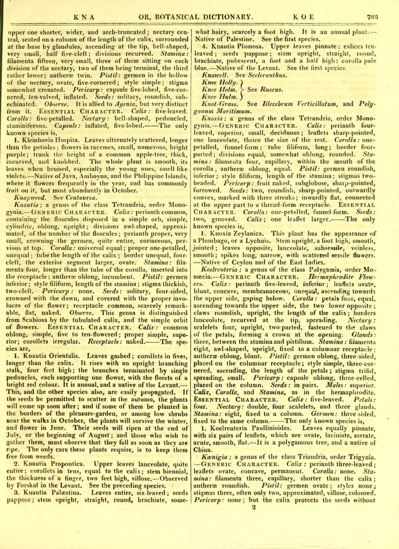 upper one shorter, wider, and arch-truncated ; nectary cen- tral, seated on a column of the length of the calix, surrounded at the base by glandules, ascending at the tip, bell-shaped, very small, half five-cleft; divisions recurved. Stamina: filamenta fifteen, very small, three of them sitting on each division of the nectary, two of them being terminal, the third rather lower; anther® twin. Pistil: germen in the hollow of the nectary, ovate, five-cornered; style simple; stigma somewhat crenated. Pericarp: capsule five-lobed, five-cor- nered, ten-valved, inflated. Seeds: solitary, roundish, sub- echinated. Observe. It is allied to Ayenia, but very distinct from it. Essential Character. Calix: five-leaved. Corolla: five-petalled. Nectary: bell-shaped, peduncled, staminiferous. Capsule: inflated, five-lobed. The only known species is, 1. Kleinhovia Ilospita. Leaves alternately scattered, longer than the petioles; flowers in racemes, small, numerous, bright purple; trunk the height of a common apple-tree, thick, incurved, and knobbed. The whole plant is smooth, its leaves when bruised, especially the young ones, smell like violets.—Native of Java, Amboyna, and the Philippine Islands, where it flowers frequently in the year, and has commonly fruit on it, but most abundantly in October. Knapweed. See Centaurea. Knautia; a genus of the class Tetrandria, order Mono- gynia.—Generic Character. Calix: perianth common, containing the floscules disposed in a simple orb, simple, cylindric, oblong, upright; divisions awl-shaped, approxi- mated, of the number of the floscules; perianth proper, very small, crowning the germen, quite entire, coriaceous, per- vious at top. Corolla: universal equal; proper one-petalled, unequal; tube the length of the calix ; border unequal, four- cleft, the exterior segment larger, ovate. Stamina: fila- menta four, longer than the tube of the corolla, inserted into the receptacle; anther® oblong, incumbent. Pistil: germen inferior; style filiform, length of the stamina; stigma thickish, two-cleft. Pericarp: none. Seeds: solitary, four-sided, crowned with the down, and covered with the proper invo- lucre of the flower; receptacle common, scarcely remark- able, flat, naked. Observe. This genus is distinguished from Scabiosa by the tubulated calix, and the simple orbit of flowers. Essential Character. Calix: common oblong, simple, five to ten-flowered; proper simple, supe- rior; corollets irregular. Receptacle: naked. The spe- cies are, 1. Knautia Orientalis. Leaves gashed ; corollets in fives, longer than the calix. It rises with an upright branching stalk, four feet high; the branches terminated by single peduncles, each supporting one flower, with the florets of a bright red colour. It is annual, and a native of the Levant.— This, and the other species also, are easily propagated. If the seeds be permitted to scatter in the autumn, the plants will come up soon after; and if some of them be planted in the borders of the pleasure-garden, or among low shrubs near the walks in October, the plants will survive the winter, and flower in June. Their seeds will ripen at the end of July, or the beginning of August; and those who wish to gather them, must observe that they fall as soon as they are ripe. The only care these plants require, is to keep them free from weeds. 2. Knautia Propontica. Upper leaves lanceolate, quite entire; corollets in tens, equal to the calix; stem biennial, the thickness of a finger, two feet high, villose.—Observed by Forskal in the Levant. See the preceding species. 3. Knautia Pal®stina. Leaves entire, six-leaved; seeds pappose; stem upright, straight, round, brachiate, some- what hairy, scarcely a foot high. It is an annual plant.—• Native of Palestine. See the first species. 4. Knautia Plumosa. Upper leaves pinnate; calices ten- leaved ; seeds pappose; stem upright, straight, round, brachiate, pubescent, a foot and a half high; corolla pale blue.—Native of the Levant. See the first species. Knawell. See Sceleranthus. Knee Holly, j) Knee Holm. > Sec Ruscus. Knee Hulm.) Knot-Grass. See Illecebrum Verticillatum, and Poly- gonum Maritimum. Knoxia; a genus of the class Tetrandria, order Mono- gynia.—Generic Character. Calix: perianth four- leaved, superior, small, deciduous; leaflets sharp-pointed, one lanceolate, thrice the size of the rest. Corolla: one- petalled, funnel-form; tube filiform, long; border four- parted; divisions equal, somewhat oblong, rounded. Sta- mina : filamenta four, capillary, within the mouth of the corolla, anther® oblong, equal. Pistil: germen roundish, inferior; style filiform, length of the stamina; stigmas two- headed. Pericarp: fruit naked, subglobose, sharp-pointed, furrowed. Seeds: two, roundish, sharp-pointed, outwardly convex, marked with three streaks; inwardly flat, connected at the upper part to a thread-form receptacle. Essential Character. Corolla: one-petalled, funnel-form. Seeds: two, grooved. Calix; one leaflet larger. The only known species is, 1. Knoxia Zeylanica. This plant has the appearance of a Plumbago, or a Lychnis. Stem upright, a foot high, smooth, jointed; leaves opposite, lanceolate, subsessile, veinless, smooth; spikes long, narrow, with scattered sessile flowers, —Native of Ceylon and of the East Indies. Kaelreuteria; a genus of the class Polygamia, order Mo- noecia.—Generic Character. Hermaphrodite. Flow- ers. Calix: perianth five-leaved, inferior; leaflets ovate, blunt, concave, membranaceous, unequal, ascending towards the upper side, gaping below. Corolla : petals four, equal, ascending towards the upper side, the two lower opposite ; claws roundish, upright, the length of the calix; borders lanceolate, recurved at the tip, spreading. Nectary: scalelets four, upright, two-parted, fastened to the claws of the petals, forming a crown at the opening. Glands: three, between the stamina and pistillum. Stamina: filamenta eight, awl-shaped, upright, fixed to a columnar receptacle; anther® oblong, blunt. Pistil: germen oblong, three-sided, placed on the columnar receptacle; style simple, three-cor- nered, ascending, the length of the petals ; stigma trifid, spreading, small. Pericarp: capsule oblong, three-celled, placed on the column. Seeds: in pairs. Males: superior. Calix, Corolla, and Stamina, as in the hermaphrodite. Essential Character. Calix: five-leaved. Petals: four. Nectary: double, four scalelets, and three glands. Stamina: eight, fixed to a column. Germen: three sided, fixed to the same column. The only known species is, 1. Koelreuteria Paullinioides. Leaves equally pinnate, with six pairs of leaflets, which are ovate, laciniate, serrate, acute, smooth, flat.—It is a polygamous tree, and a native of China. Kcenigia ; a genus of the class Triandria, order Trigynia. —Generic Character. Calix : perianth three-leaved; leaflets ovate, concave, permanent. Corolla: none. Sta- mina : filamenta three, capillary, shorter than the calix; anther® roundish. Pistil: germen ovate; styles none; stigmas three, often only two, approximated, villose, coloured. Pericarp: none; but the calix protects the seeds without