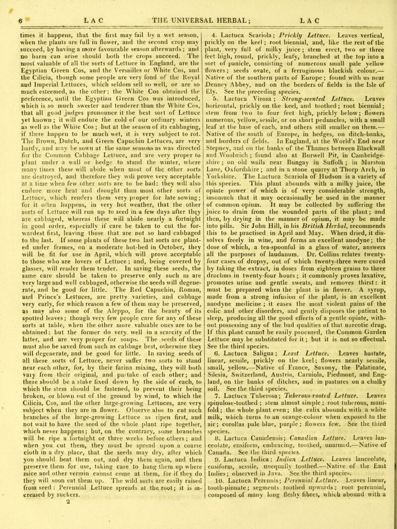 times it happens, that the first may fail by a wet season, when the plants are full in flower, and the second crop may succeed, by having a more favourable season afterwards ; and no harm can arise should both the crops succeed. The most' valuable of all the sorts of Lettuce in England, are the Egyptian Green Cos, and the Versailles or White Cos, and the Cilicia, though some people are very fond of the Royal and Imperial Lettuces, which seldom sell so well, or are so much esteemed, as the other: the White Cos obtained the preference, until the Egyptian Green Cos was introduced, which is so much sweeter and tenderer than the White Cos, that all good judges pronounce it the best sort of Lettuce yet known ; it will endure the cold of our ordinary winters as well as the White Cos ; but at the season of its cabbaging, if there happen to be much wet, it is very subject to rot. The Brown, Dutch, aud Green Capuchin Lettuces, are very hardy, and may be sown at the same seasons as was directed for the Common Cabbage Lettuce, and are very proper to plant under a wall or hedge to stand the winter, where many times these will abide when most of the other sorts are destroyed, and therefore they will prove very acceptable at a time when few other sorts are to be had: they will also endure more heat and drought than most other sorts of Lettuce, which renders them very proper for late sowing; for it often happens, in very hot weather, that the other sorts of Lettuce will run up to seed in a few days after th^y are cabbaged, whereas these will abide nearly a fortnight in good order, especially if care be taken to cut the for- wardest first, leaving those that are not so hard cabbaged to the last. If some plants of these two last sorts are plant- ed under frames, on a moderate hot-bed in October, they will be fit for use in April, which will prove acceptable to those who are lovers of Lettuce ; and, being covered by glasses, will render them tender. In saving these seeds, the same care should be taken to preserve only such as are very large and well cabbaged, otherwise the seeds will degene- rate, and be good for little. The Red Capuchin, Roman, and Prince’s Lettuces, are pretty varieties, and cabbage very early, for which reason a few of them may be preserved, as may also some of the Aleppo, for the beauty of its spotted leaves; though very few people care for any of these sorts at table, w hen the other more valuable ones are to be obtained: but the former do very well in a scarcity of the latter, and are very proper for soups. The seeds of these must also be saved from such as cabbage best, otherwise they will degenerate, and be good for little. In saving seeds of all these sorts of Lettuce, never suffer two sorts to stand near each other, for, by their farina mixing, they will both vary from their original, and partake of each other; and there should be a stake fixed down by the side of each, to which the stem should be fastened, to prevent their being broken, or blown out of the ground by wind, to which the Cilicia, Cos, and the other large-growing Lettuces, are very subject when they are in flower. Observe also to cut such branches of the large-growing Lettuce as ripen first, and not wait to have the seed of the whole plant ripe together, which never happens; but, on the contrary, some branches will be ripe a fortnight or three weeks before others ; and when you cut them, they must be spread upon a coarse cloth in a dry place, that the seeds may dry, after which you should beat them out, and dry them again, and then preserve them for use, taking care to hang them up where mice and other vermin cannot come at them, for if they do they will soon eat them up. The wild sorts are easily raised from seed : Perennial Lettuce spreads at the root; it is in- creased by suckers. 2 4. Lactuca Scariola; Prickly Lettuce. Leaves vertical, prickly on the keel ; root biennial, and, like the rest of the plant, very full of milky juice ; stem erect, two or three feet high, round, prickly, leafy, branched at the top into a sort of panicle, consisting Of numerous small pale yellow flowers ; seeds ovate, of a ferruginous blackish colour.— Native of the southern parts of Europe ; found with us near Denney Abbey, and on the borders of fields in the Isle of Ely. See the preceding species. 5. Lactuca Virosa ; Strong-scented Lettuce. Leaves horizontal, prickly on the keel, and toothed; root biennial; stem from two to four feet high, prickly below; flowers numerous, yellow, sessile, or on short peduncles, with a small leaf at the base of each, and others still smaller on them.— Native of the south of Europe, in hedges, on ditch-banks, and borders of fields. In England, at the World’s End near Stepney, and on the banks of the Thames between Blackwall and Woolwich ; found also at Burwell Pit, in Cambridge- shire ; on old walls near Bungay in Suffolk ; in Marston Lane, Oxfordshire; and in a stone quarry at Thorp Arch, in Yorkshire. The Lactuca Scariola of Hudson is a variety of this species. This plant abounds with a milky juice, the opiate power of which is of very considerable strength, insomuch that it may occasionally be used in the manner of common opium. It may be collected by suffering the juice to drain from the wounded parts of the plant; and then, by drying in the manner of opium, it may be made into pills. Sir John Hill, in his British Herbal, recommends this to be practised in April and May. When dried, it dis- solves freely in wine, and forms an excellent anodyne; the dose of which, a tea-spoonful in a glass of water, answers all the purposes of laudanum. Dr. Collins relates twenty- four cases of dropsy, out of which twenty-three were cured by taking the extract, in doses from eighteen grains to three drachms in twenty-four hours; it commonly proves laxative, promotes urine and gentle sweats, and removes thirst: it must be prepared when the plant is in flower. A syrup, made from a strong infusion of the plant, is an excellent anodyne medicine ; it eases the most violent pains of the colic and other disorders, and gently disposes the patient to sleep, producing all the good effects of a gentle opiate, with- out possessing any of the bad qualities of that narcotic drug. If this plant cannot be easily procured, the Common Garden Lettuce may be substituted for it; but it is not so effectual. See the third species. 6. Lactuca Saligna; Least Lettuce. Leaves hastate, liuear, sessile, prickly on the keel; flowers nearly sessile, small, yellow.—Native of France, Saxony, the Palatinate, Silesia, Switzerland, Austria, Carniola, Piedmont, and Eng- land, on the banks of ditches, and in pastures on a chalky soil. See the third species. 7. Lactuca Tuberosa; Tuberous-rooted Lettuce. Leaves spinulose-toothed ; stem almost simple ; root tuberous, mani- fold ; the whole plant even ; the calix abounds with a white milk, which turns to an orange-colour when exposed to the air; corollas pale blue, purple; flowers few'. See the third species. 8. Lactuca Canadensis; Canadian Lettuce. Leaves lan- ceolate, ensiform, embracing, toothed, unarmed.—Native of Canada. See the third species. 9. Lactuca Indica; Indian Lettuce. Leaves lanceolate, ensiform, sessile, unequally toothed.—Native of the East Indies; observed in Java. See the third species. 10. Lactuca Perennis; Perennial Lettuce. Leaves linear, tooth-pinnate; segments toothed upwards; root perennial, composed of many long fleshy fibres, which abound with a
