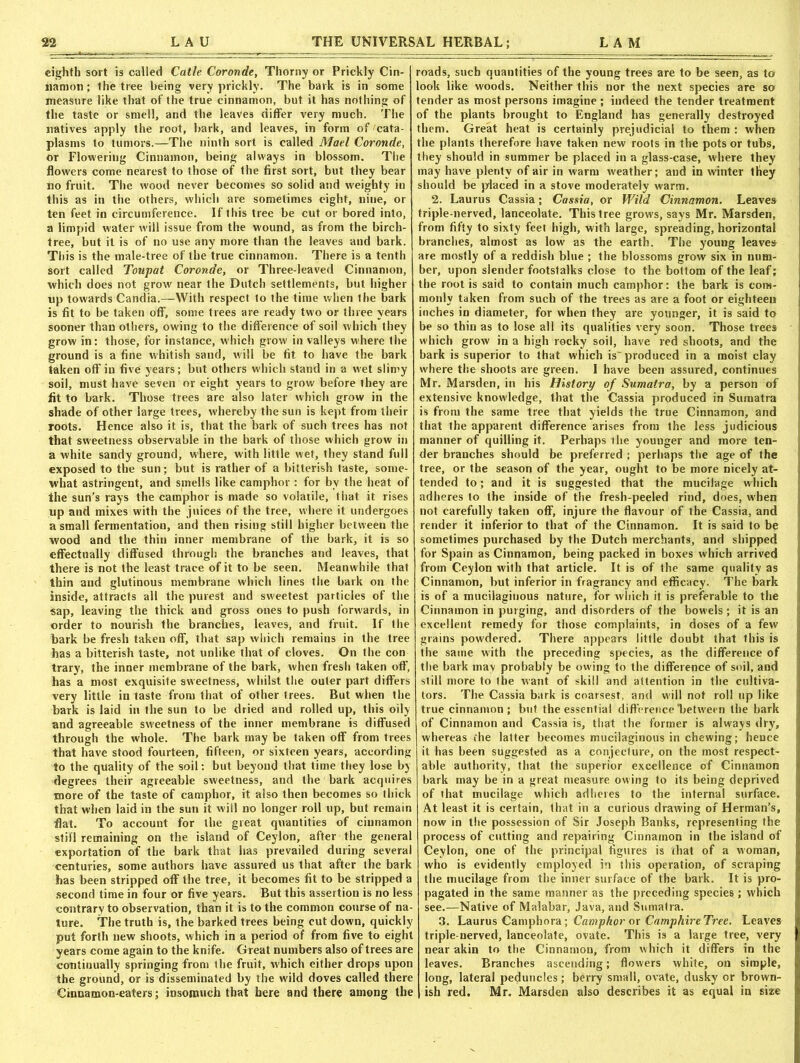 eighth sort is called Catle Coronde, Thorny or Prickly Cin- namon ; the tree being very prickly. The bark is in some measure like that of the true cinnamon, but it has nothing of the taste or smell, and the leaves differ very much. The natives apply the root, bark, and leaves, in form of cata- plasms to tumors.—The ninth sort is called Mael Coronde, or Flowering Cinnamon, being always in blossom. The flowers come nearest to those of the first sort, but they bear no fruit. The wood never becomes so solid and weighty in this as in the others, which are sometimes eight, nine, or ten feet in circumference. If this tree be cut or bored into, a limpid water will issue from the wound, as from the birch- tree, but it is of no use any more than the leaves and bark. This is the male-tree of the true cinnamon. There is a tenth sort called Toupat Coronde, or Three-leaved Cinnamon, which does not grow near the Dutch settlements, but higher up towards Candia.—With respect to the time when the bark is fit to be taken off, some trees are ready two or three years sooner than others, owing to the difference of soil which they grow in: those, for instance, which grow in valleys where the ground is a fine whitish sand, will be fit to have the bark taken off in five years; but others which stand in a wet slimy soil, must have seven or eight years to grow before they are fit to bark. Those trees are also later which grow in the shade of other large trees, whereby the sun is kept from their roots. Hence also it is, that the bark of such trees has not that sweetness observable in the bark of those which grow in a white sandy ground, where, with little wet, they stand full exposed to the sun; but is rather of a bitterish taste, some- what astringent, and smells like camphor : for by the heat of the sun’s rays the camphor is made so volatile, that it rises up and mixes with the juices of the tree, where it undergoes a small fermentation, and then rising still higher between the wood and the thin inner membrane of the bark, it is so effectually diffused through the branches and leaves, that there is not the least trace of it to be seen. Meanwhile that thin and glutinous membrane which lines the bark on the inside, attracts all the purest and sweetest particles of the sap, leaving the thick and gross ones to push forwards, in order to nourish the branches, leaves, and fruit. If the bark be fresh taken off, that sap which remains in the tree has a bitterish taste, not unlike that of cloves. On the con trary, the inner membrane of the bark, when fresh taken off-, has a most exquisite sweetness, whilst the outer part differs very little in taste from that of other trees. But when the bark is laid in the sun to be dried and rolled up, this oily and agreeable sweetness of the inner membrane is diffused through the whole. The bark may be taken off from trees that have stood fourteen, fifteen, or sixteen years, according to the quality of the soil: but beyond that time they lose by degrees their agreeable sweetness, and the bark acquires more of the taste of camphor, it also then becomes so thick that when laid in the sun it will no longer roll up, but remain flat. To account for the great quantities of cinnamon still remaining on the island of Ceylon, after the general exportation of the bark that has prevailed during several centuries, some authors have assured us that after the bark has been stripped off the tree, it becomes fit to be stripped a second time in four or five years. But this assertion is no less contrary to observation, than it is to the common course of na- ture. The truth is, the barked trees being cut down, quickly put forth new shoots, which in a period of from five to eight years come again to the knife. Great numbers also of trees are continually springing from (lie fruit, w hich either drops upon the ground, or is disseminated by the wild doves called there Cinnamon-eaters; insomuch that here and there among the roads, such quantities of the young trees are to be seen, as to look like woods. Neither this nor the next species arc so tender as most persons imagine ; indeed the tender treatment of the plants brought to England has generally destroyed them. Great heat is certainly prejudicial to them : when the plants therefore have taken new roots in the pots or tubs, they should in summer be placed in a glass-case, where they may have plenty of air in warm weather; and in winter they should be placed in a stove moderately warm. 2. Laurus Cassia; Cassia, or Wild Cinnamon. Leaves triple-nerved, lanceolate. This tree grows, says Mr. Marsden, from fifty to sixty feet high, with large, spreading, horizontal branches, almost as low as the earth. The young leaves are mostly of a reddish blue ; the blossoms grow six in num- ber, upon slender footstalks close to the bottom of the leaf; the root is said to contain much camphor: the bark is com- monly taken from such of the trees as are a foot or eighteen inches in diameter, for when they are younger, it is said to be so thin as to lose all its qualities very soon. Those trees which grow in a high rocky soil, have red shoots, and the bark is superior to that which is produced in a moist clay where the shoots are green. I have been assured, continues Mr. Marsden, in his History of Sumatra, by a person of extensive knowledge, that the Cassia produced in Sumatra is from the same tree that yields the true Cinnamon, and that the apparent difference arises from the less judicious manner of quilling it. Perhaps the younger and more ten- der branches should be preferred ; perhaps the age of the tree, or the season of the year, ought to be more nicely at- tended to; and it is suggested that the mucilage which adheres to the inside of the fresh-peeled rind, does, when not carefully taken off1, injure the flavour of the Cassia, and render it inferior to that of the Cinnamon. It is said to be sometimes purchased by the Dutch merchants, and shipped for Spain as Cinnamon, being packed in boxes which arrived from Ceylon with that article. It is of the same quality as Cinnamon, but inferior in fragrancy and efficacy. The bark is of a mucilaginous nature, for which it is preferable to the Cinnamon in purging, and disorders of the bowels ; it is an excellent remedy for those complaints, in doses of a few grains powdered. There appears little doubt that this is the same with the preceding species, as the difference of the bark mav probably be owing to the difference of soil, and still more to the want of skill and attention in the cultiva- tors. The Cassia bark is coarsest, and will not roll up like true cinnamon ; but the essential difference between the bark of Cinnamon and Cassia is, that the former is always dry, whereas the latter becomes mucilaginous in chewing; hence it has been suggested as a conjecture, on the most respect- able authority, that the superior excellence of Cinnamon bark may be in a great measure, owing to its being deprived of that mucilage which adheres to the internal surface. At least it is certain, that in a curious drawing of Herman’s, now in the possession of Sir Joseph Banks, representing the process of cutting and repairing Cinnamon in the island of Ceylon, one of the principal figures is that of a woman, who is evidently employed in this operation, of scraping the mucilage from the inner surface of the bark. It is pro- pagated in the same manner as the preceding species ; which see.—Native of Malabar, Java, and Sumatra. 3. Laurus Camphora; Camphor or Camphire Tree. Leaves triple-nerved, lanceolate, ovate. This is a large tree, very near akin to the Cinnamon, from which it differs in the leaves. Branches ascending; flowers white, on simple, long, lateral peduncles; berry small, ovate, dusky or brown- ish red. Mr. Marsden also describes it as equal in size