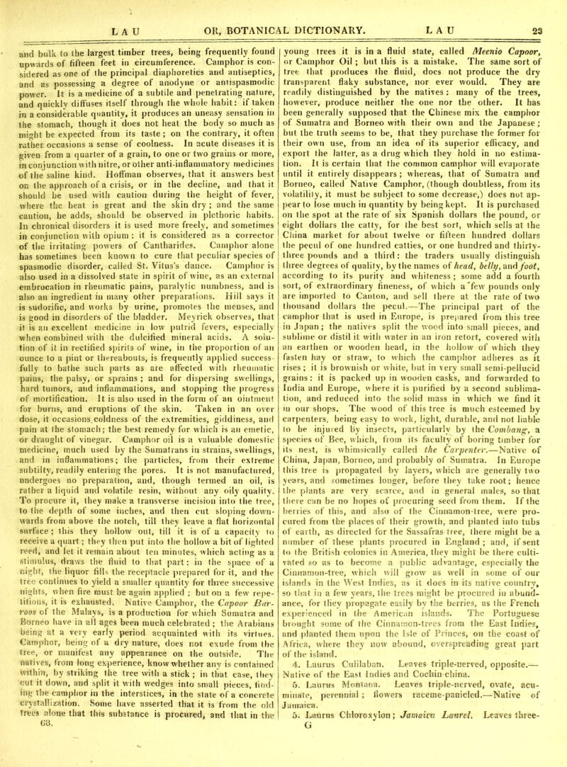and bulk to the largest timber trees, being frequently found upwards of fifteen feet in circumference. Camphor is con- sidered as one of the principal diaphoretics and antiseptics, and as possessing a degree of anodyne or antispasmodic power. It is a medicine of a subtile and penetrating nature, and quickly diffuses itself through the whole habit: if taken in a considerable quantity, it produces an uneasy sensation in the stomach, though it does not heat the body so much as might be expected from its taste ; on the contrary, it often rather occasions a sense of coolness. In acute diseases it is given from a quarter of a grain, to one or two grains or more, in conjunction with nitre, or other anti-inflammatory medicines of the saline kind. Hoffman observes, that it answers best on the approach of a crisis, or in the decline, and that it should be used with caution during the height of fever, where the heat is great and the skin dry ; and the same caution, he adds, should be observed in plethoric habits. In chronical disorders it is used more freely, and sometimes in conjunction with opium : it is considered as a corrector of the irritating powers of Cantharides. Camphor alone has sometimes been known to cure that peculiar species of spasmodic disorder, called St. Vitus’s dance. Camphor is also used in a dissolved state in spirit of wine, as an external embrocation in rheumatic pains, paralytic numbness, and is also an ingredient in many other preparations. Hill says it is sudorific, and works by urine, promotes the menses, and is good in disorders of the bladder. Meyrick observes, that it is an excellent medicine in low putrid fevers, especially when combined with the dulcified mineral acids. A solu- tion of it in rectified spirits of wine, in the proportion of an ounce to a pint or thereabouts, is frequently applied success fully to bathe such parts as are affected with rheumatic pains, the palsy, or sprains ; and for dispersing swellings, hard tumors, and inflammations, and stopping the progress of mortification, it is also used in the form of an ointment for burns, and eruptions of the skin. Taken in an over dose, it occasions.coldness of the extremities, giddiness, and pain at the stomach; the best remedy for which is an emetic, or draught of vinegar. Camphor oil is a valuable domestic medicine, much used by the Sumatrans in strains, swellings, and in inflammations; the particles, from their extreme subtilty, readily entering the pores. It is not manufactured, undergoes no preparation, and, though termed an oil, is rather a liquid and volatile resin, without any oily quality. To procure it, they make a transverse incision into the tree, to the depth of some inches, and then cut sloping down- wards from above the notch, till they leave a flat horizontal surface ; this they hollow out, till it is of a capacity to receive a quart; they then put into the hollow a bit of lighted reed, and let it remain about ten minutes, which acting as a stimulus, draws the fluid to that part: in the space of a night, the liquor fills the receptacle prepared for it, and the tree continues to yield a smaller quantity for three successive nights, when fire must be again applied ; but on a few repe- titious, it is exhausted. Native Camphor, the Capoor Bar- roos of the Malays, is a production for which Sumatra and Borneo have in ail ages been much celebrated ; the Arabians being at a very early period acquainted with its virtues. Camphor, being of a dry nature, does not exude from the tree, or manifest any appearance on the outside. The natives, from long experience, know whether any is contained within, by striking the tree with a stick ; in that case, they cut it down, and split it with wedges into small pieces, find- ing the camphor in the interstices, in the state of a concrete crystallization. Some have asserted that it. is from the old trees alone that this substance is procured, and that in the (18. young trees it is in a fluid state, called Meenio Capoor, or Camphor Oil ; but this is a mistake. The same sort of tree that produces the fluid, does not produce the dry transparent flaky substance, nor ever would. They are readily distinguished by the natives: many of the trees, however, produce neither the one nor the other. It has been generally supposed that the Chinese mix the camphor of Sumatra and Borneo with their own and the Japanese; but the truth seems to be, that they purchase the former for their own use, from an idea of its superior efficacy, and export the latter, as a drug which they hold in no estima- tion. It is certain that the common camphor will evaporate until it entirely disappears ; whereas, that of Sumatra and Borneo, called Native Camphor, (though doubtless, from its volatility, it must be subject to some decrease,) does not ap- pear to lose much in quantity by being kept. It is purchased on the spot at the rate of six Spanish dollars the pound, or eight dollars the catty, for the best sort, which sells at the China market for about twelve or fifteen hundred dollars the pecul of one hundred catties, or one hundred and thirty- three pounds and a third: the traders usually distinguish three degrees of quality, by the names of head, belly, and foot, according to its purity and whiteness; some add a fourth sort, of extraordinary fineness, of which a Tew pounds only are imported to Canton, and sell there at the rate of two thousand dollars the pecul.—The principal part of the camphor that is used in Europe, is prepared from this tree in Japan; the natives split the wood into small pieces, and sublime or distil it with water in an iron retort, covered with an earthen or wooden head, in the hollow of which they fasten hay or straw, to w'bich the camphor adheres as it rises ; it is brownish or white, hut in very small semi-pellucid grains: it is packed up in wooden casks, and forwarded to India and Europe, where it is purified by a second sublima- tion, and reduced into the solid mass in which we find it iu our shops. The wood of this tree is much esteemed by carpenters, being easy to work, light, durable, and not liable to be injured by insects, particularly by the Combartg, a species of Bee, which, from its faculty of boring timber for its nest, is whimsically called the Carpenter.—Native of China, Japan, Borneo, and probably of Sumatra. In Europe this tree is propagated by layers, which are generally two years, and sometimes longer, before they take root; hence the plants are very scarce, and in general males, so that there can be no hopes of procuring seed from them. If the berries of this, and also of the Cinnamon-tree, were pro- cured from the places of their growth, and planted into tubs of earth, as directed for the Sassafras tree, there might be a number of these plants procured in England; and, if sent to the British colonies in America, they might be there culti- vated so as to become a public advantage, especially the Cinnamon-tree, which will grow as well in some of our islands in the West Indies, as it does in its native country, so that in a few years, the trees might be procured in abund- ance, for they propagate easily by the berries, as the French experienced in the American islands. The Portuguese brought some of the Cinnamon-trees from the East Indies, and planted them upon the Isle of Princes, on the coast of Africa, where they now abound, overspreading great part of the island. 4. Laurus Cuiilaban. Leaves triple-nerved, opposite.— Native of the East Indies and Cochin china. 5. Lauras Montana. Leaves triple-nerved, ovate, acu- minate, perennial; flowers rateme-panicled.—Native of Jamaica. 5. Lauras Chloroxylon; Jamaica Laurel. Leaves three- G