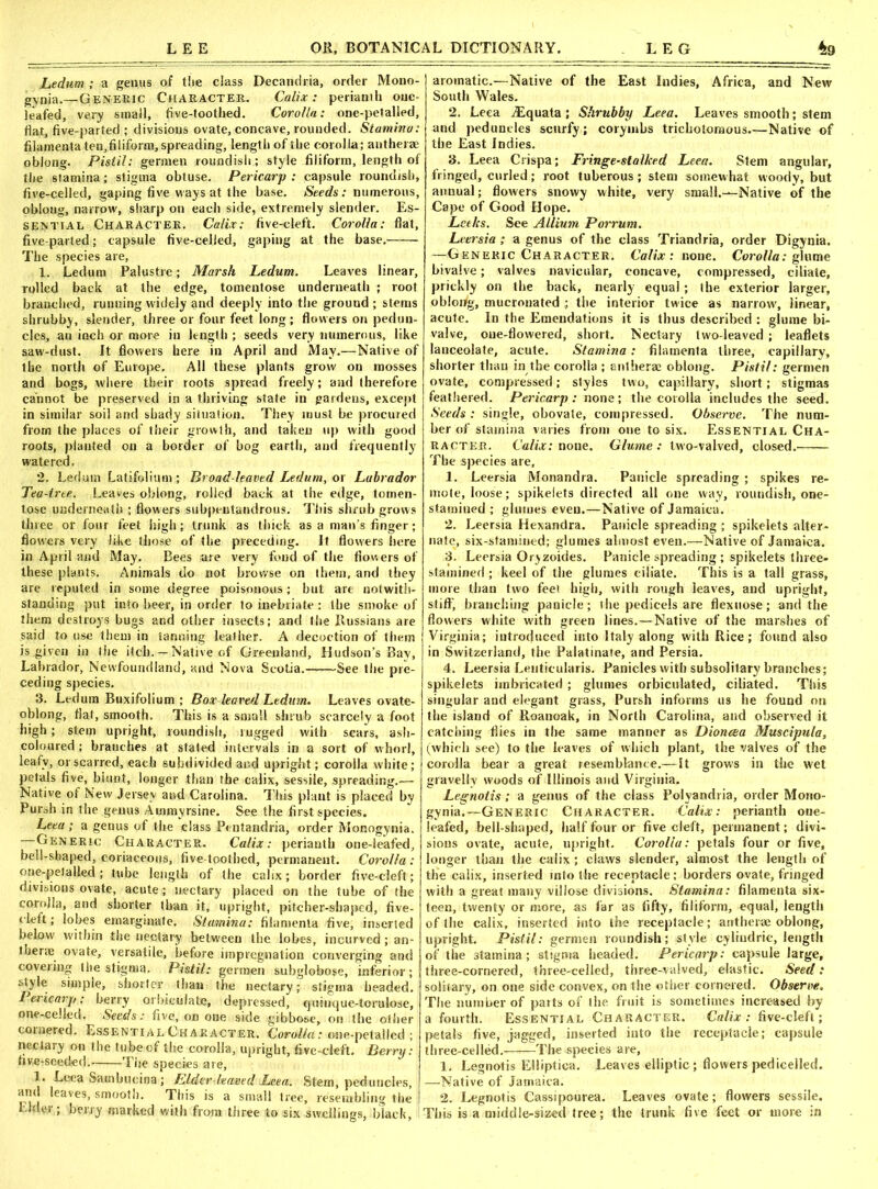 Ledum ; a genus of the class Decandria, order Mono- gynia.—Generic Character. Calix: perianth one- leafed, very small, five-toothed. Corolla: one-petalled, flat, five-parted ; divisions ovate, concave, rounded. Stamina: fiiamenta ten,filiform, spreading, length of the corolla; autherae oblong. Pistil: germen roundish; style filiform, length of the stamina; stigma obtuse. Pericarp : capsule roundish, five-celled, gaping five ways at the base. Seeds: numerous, oblong, narrow, sharp on each side, extremely slender. Es- sential Character. Calix: five-cleft. Corolla: flat, five-parted; capsule five-celled, gaping at the base. The species are, 1. Ledum Palustre; Marsh Ledum. Leaves linear, rolled back at the edge, tomentose underneath ; root branched, running widely and deeply into the ground; stems shrubby, slender, three or four feet long ; flowers on pedun- cles, an inch or more in length; seeds very numerous, like saw-dust. It flowers here in April and May.—Native of the north of Europe. All these plants grow on mosses and bogs, where their roots spread freely; and therefore cannot be preserved in a thriving state in gardens, except in similar soil and shady situation. They must be procured from the places of their growth, and taken up with good roots, planted on a border of bog earth, and frequently watered. 2. Ledum Latifolium ; Broad-leaved Ledum, or Labrador Tea-tree. Leaves oblong, roiled back at the edge, tomen- tose underneath ; flowers subpentandrous. This shrub grows three or four feet high; trunk as thick as a man’s finger; flowers very like those of the preceding. It flowers here in April and May. Bees are very fond of the flowers of these plants. Animals do not browse on them, and they are reputed in some degree poisonous; but are notwith- standing put into beer, in order to inebriate ; the smoke of them destroys bugs and other insects; and the Russians are said to use them in tanning leather. A decoction of them is given in the itch.—Native of Greenland, Hudson’s Bay, Labrador, Newfoundland, and Nova Scotia. See the pre- ceding species. 3. Ledum Buxifolium ; Box leaved Ledum. Leaves ovate- oblong, flat, smooth. This is a small shrub scarcely a foot high; stem upright, roundish, rugged with scars, ash- coloured ; branches at stated intervals in a sort of whorl, leafy, or scarred, each subdivided and upright; corolla white; petals five, blunt, longer than the calix, sessile, spreading.— Native of New Jersey and Carolina. This plant is placed by Pursh in the genus Ammyrsine. See the first species. Leea ; a genus of the class Pentandria, order Monogynia. Generic Character. Calix: perianth one-leafed, bell-shaped, coriaceous, five-toothed, permanent. Corolla : one-petalled; lube length of the calix; border five-cleft; divisions ovate, acute; nectary placed on the tube of the corolla, and shorter than it, upright, pitcher-shaped, five- deft ; lobes emarginate. Stamina: fiiamenta five, inserted below within the nectary between the lobes, incurved; an- thene ovate, versatile, before impregnation converging and covering the stigma. Pistil: germen subglobose, inferior; style simple, shorter than the nectary; stigma headed. Pericarp: berry orbicuiate, depressed, quinque-torulose, one-celied. Seeds: five, on one side gibbose, on the other cornered. Essential Character. Corolla: one-petalled ; nectary on the tube of the corolla, upright, five-cleft. Berry: five-seeded. The species are, 1. Leea Sambucina; Elder-leaved Leea. Stem, peduncles, and leaves, smooth. This is a small tree, resembling the Elder; berry marked with from three to six swellings, black, aromatic.—Native of the East Indies, Africa, and New South Wales. 2. Leea iEquata ; Shrubby Leea. Leaves smooth; stem and peduncles scurfy ; corymbs trichotomous.—Native of the East Indies. 3. Leea Crispa; Fringe-stalked Leea. Stem angular, fringed, curled; root tuberous; stem somewhat woody, but annual; flowers snowy white, very small.-—Native of the Cape of Good Hope. Leeks. See Allium Porrum. Leersia; a genus of the class Triandria, order Digynia. —Generic Character. Calix: none. Corolla: glume bivalve; valves navicular, concave, compressed, ciliate, prickly on the back, nearly equal; the exterior larger, ob!oi/g, mucronated ; the interior twice as narrow', linear, acute. In the Emendations it is thus described : glume bi- valve, one-flowered, short. Nectary two-leaved ; leaflets lanceolate, acute. Stamina: fiiamenta three, capillary, shorter than in the corolla ; anlherae oblong. Pistil: germen ovate, compressed; styles two, capillary, short; stigmas feathered. Pericarp: none; the corolla includes the seed. Seeds : single, obovate, compressed. Observe. The num- ber of stamina varies from one to six. Essential Cha- racter. Calix: none. Glume: two-valved, closed. The species are, 1. Leersia Monandra. Panicle spreading ; spikes re- mote, loose; spikelets directed all one way, roundish, one- stamiued ; glumes even.—Native of Jamaica. 2. Leersia Hexandra. Panicle spreading ; spikelets alter- nate, six-stamined; glumes almost even.—Native of Jamaica. 3. Leersia Oryzoides. Panicle spreading ; spikelets three- stamined ; keel of the glumes ciliate. This is a tall grass, more than two feet high, with rough leaves, and upright, stiff', branching panicle; the pedicels are flexnose; and the flowers white with green lines.—Native of the marshes of Virginia; introduced into Italy along with Rice; found also in Switzerland, the Palatinate, and Persia. 4. Leersia Lenticularis. Panicles with subsolitary branches; spikelets imbricated; glumes orbiculated, ciliated. This singular and elegant grass, Pursh informs us he found on the island of Roanoak, in North Carolina, and observed it catching flies in the same manner as Dioncea Muscipula, (which see) to the leaves of which plant, the valves of the corolla bear a great resemblance.—It grows in the wet gravelly woods of Illinois and Virginia. Legnotis; a genus of the class Polyandria, order Mono- gynia.—Generic Character. Calix: perianth one- leafed, bell-shaped, half four or five cleft, permanent; divi- sions ovate, acute, upright. Corolla: petals four or five, longer than the calix ; claws slender, almost the length of the calix, inserted into the receptacle; borders ovate, fringed with a great many villose divisions. Stamina: fiiamenta six- teen, twenty or more, as far as fifty, filiform, equal, length of the calix, inserted into the receptacle; antherse oblong, upright. Pistil: germen roundish; style cyliudric, length of the stamina; stigma headed. Pericarp: capsule large, three-cornered, three-celled, three-valved, elastic. Seed: solitary, on one side convex, on the other cornered. Observe. The number of parts of the fruit is sometimes increased by a fourth. Essential Character. Calix: five-cleft; petals five, jagged, inserted into the receptacle; capsule three-celled.——The species are, 1. Legnotis Elliptica. Leaves elliptic; flowers pedicelled. —Native of Jamaica. 2. Legnotis Cassipourea. Leaves ovate; flowers sessile. This is a middle-sized tree; the trunk five feet or more in