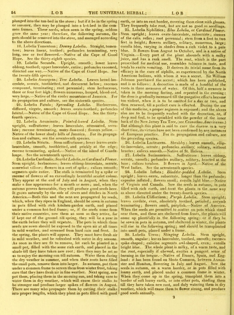 plunged into the tan-bed in the stove; but if it be in the spring or summer, they may be plunged into a hot-bed in the com moil frames. These seeds, when sown in the spring, seldom grow the same year; therefore, the following autumn, the pots should be removed into the stove, and managed according to the above directions. 18. Lobelia Tomentosa ; Downy Lobelia. Straight, tomen- tose; leaves linear, toothed; peduncles terminating, very long, one or two flowered.—Native of the Cape of Good Hope. See the thirty-eighth species. 19. Lobelia Secunda. Upright, smooth; lower leaves oblong, toothed; upper lanceolate, entire; peduncles racemed, directed one way.—Native of the Cape of Good Hope. See the twenty-fifth species. 20. Lobelia Assurgens; Tree Lobelia. Leaves broad-lan- ceolate, serrate, toothletted, and decurrent below; racemes compound, terminating; root perennial; stem herbaceous, three or four feet high; flowers numerous, heaped, blood-red, very large.—Native of the cooler mountains of Jamaica. For its propagation and culture, see the sixteenth species. 21. Lobelia Patula; Spreading Lobelia. Herbaceous, diffused, virgate, smooth: leaves ovate-toothed; peduncles lateral.—Native of the Cape of Good Hope. See the thirty- fourth species. 22. Lobelia Acuminata; Pointed-leaved Lobelia. Stem upright, suffruticose; leaves lanceolate, attenuated, serru- late; raceme terminating, many-tlowered ; flowers yellow.— Native of the lower shady hills of Jamaica. For its propaga- tion and culture, see the seventeenth species. 23. Lobelia Stricta. Stem suflfruticose; lower leaves ovate- lanceolate, smooth, toothletted, and prickly at the edge; raceme terminating, spiked.—Native of the island of Guada- loupe. See the seventeenth species. 24. Lobelia Cardinalis; Scarlet Lobelia, or Cardinal's Flower. Stem upright, herbaceous; leaves oblong-lanceolate, serrate, somewhat villose; flowers in a sort of spike ; calices smooth; segments quite entire. The stalk is terminated by a spike or raceme of flowers of an exceedingly beautiful scarlet colour. They appear at the end of July and in August, when they make a fine appearance for a month or more; and, when the autumn proves favourable, they will produce good seeds here. It grows naturally by the side of rivers and ditches iu North America.—Both this and the next are propagated by seeds, which, wdien they ripen in England, should be sown in autumn in pots filled with rich kitchen-garden earth, and placed under a common hot-bed frame; or, if the seeds come from their native countries, sow them as soon as they arrive, for if kept out of the ground till spring, they will lie a year in the earth before ihey will vegetate. The pots iu which these seeds are sown should be exposed to the open air at all times in mild weather, and screened from hard rain and frost. In the spring, the plants will appear. They must have fresh air in mild weather, and be refreshed with water in dry seasons. As soon as they are fit to remove, let each be planted in a small pot, filled with the same rich earth, and placed in the shade till they have taken new root; then they may be set so as to enjoy the morning sun till autumn. Water them during the dry weather in summer, and when their roots have filled the small pots, remove them into larger. In autumn, put them under a common frame to screen them from winter frost, taking care that they have fresh air in fine weather. Next spring, new pot them, placing them in the morning sun, and taking care to water them in dry weather, which will cause their stalks to be stronger and produce larger spikes of flowers in August. There are many who propagate them by cutting their stalks into proper lengths, which they plant in pots filled with good earth, or into an east border, covering them close with glasses. They frequently take root, but are not so good as seedlings. 25. Lobelia Siphilitica ; Blue. Lobelia, or Cardinal Flower. Slem upright; leaves ovate-lanceolate, subserrate; sinuses of the calix reflex; root perennial; stem from a foot to two feet in height; flowers axillary, solitary, numerous, large; corolla blue, varying in shades from a rich violet to a pale blue. It flowers from August to October, and is a native of Virginia.—Every part of the plant abounds with a milky juice, and has a rank smell. The root, which is the part prescribed for medical use, resembles tobacco in taste, and tends‘to excite vomiting. It derives its trivial name from its efficacy in the cure of siphilis, as experienced by the North American Indians, with whom it was a secret. Sir William Johnson purchased the secret; which has been published, and is as follows: A decoction is made of a handful of the roots in three measures of water. Of this, half a measure is taken in the morning fasting, and repeated in the evening: the dose is gradually increased till the purgative effects become too violent, when n is to be omitted for a day or two, and then renewed, till a perfect cure is effected. During the use of this medicine, a proper regimen is enjoined; and the ulcers also are to be frequently washed with the decoction, or, if deep and foul, to be sprinkled with the powder of the inner baik of the New Jersey Tea Tree, (see Ccnnothus Ameriranus.) But although this plant is said to cure the disease in a very short time, its virtues have not been confirmed by any instances of European practice. For its propagation and culture, see the preceding s)>ecies. 20*. Lobelia Lactescens. Shrubby : leaves smooth, ellip- tic-lanceolate, serrate; peduncles axillary; solitary, without bractes : calices smooth.—Native of St. Helena. 27. Lobelia Surinamensis. Suffruticose: leaves oblong, serrate, smooth; peduncles axillary, solitary, hracted at the base; calices torulose. It flowers in April.—Native of the West Indies. See the seventeenth species. 28. Lobelia Inflata; Bladder-podded Lobelia. Stem upright; leaves ovate, subserrate, longer than the peduncle; capsules inflated; flowers small; corolla light blue.—Native of Virginia and Canada. Sow the seeds in autumn, in pots filled with rich earth, and treat the plants iu the same way as above directed under the twenty-fourth species. 29. Lobelia Cliffortiana ; Purple Lobelia. Stem upright; leaves cordate, even, obsoletely toothed, petioled ; corymb terminating; flowers small, purplish.—Native of America. When the seeds are permitted to scatter on pots which stand near them, and these are sheltered from frosts, the plants will come up plentifully in the following spring: or if they be be sown in pots in autumn, and sheltered in winter, the plants will rise in the following spring; and should be transplanted into small pots, placed under a frame. 30. Lobelia Urens; Stinging Lobelia. Stem upright, smooth, angular ; leaves lanceolate, toothed, smooth ; racemes spike-shaped; calicine segments awl-shaped, even; corolla bright blue. The whole plant is milky, of a warm taste, and the root, especially if chewed, excites a pungent sense of burning in the tongue.—Native of France, Spain, aud Eng- land : it lias been found on Sliute Common, between Axmin- ster and Honiton, flowering in July aud August. Sow the seeds in autumn, on a warm border, or in pots filled with loamy earth, and placed under a common frame in wiuter. When they'come up in the spring, transplant them into a border of soft loamy earth, or into other pots, shading them till they have taken new root, and duly watering them in dry weather, which will cause them to flower strong, and produce good seeds annually.