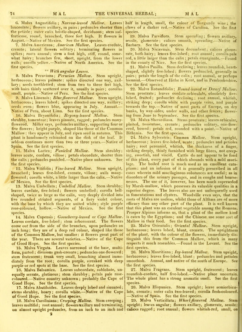 6. Malva Angustifolia ; Narrow-leaved Mallow. Leaves lanceolate; flowers axillary, in pairs; peduncles shorter than the petiole; outer calix bristle-shaped, deciduous; stem suf. fruticose, round, branched, three feet high. It flowers in August.—Native of Mexico. See the first species. 7. Malva Americana; American Mallow. Leaves cordate, crenate; lateral flowers solitary; terminating flowers in spikes; roots annual; stem afoot high, stiff, round, some- what hairy; branches few, short, upright, from the lower axils; corolla yellow.—Native of North America. See the first species. ** With angular Leaves. 8. Malva Peruviana; Peruvian Mallow. Stem upright, herbaceous; leaves palmate: spikes directed oneway, axil- lary ; seeds toothletted; stem from two to three feet high, with hairs thinly scattered over it, usually in pairs; corollas small, purple.—Native of Peru. See the first species. 9. Malva Limensis; Blue-flowered Mallow. Stem upright, herbaceous; leaves lobed ; spikes directed one way, axillary; seeds even ; flowers blue, appearing in July. Annual.— Native of Peru, about Lima. See the first species. 10. Malva Bryonifolia; Bryony-leaved Mallow. Stem shrubby, tomentose; leaves pinnate, rugged ; peduncles many- flowered. Miller says, peduncles axillary, supporting four or five flowers; bright purple, shaped like those of the Common Mallow : they appear in July, and ripen seed in autumn. This plant is handsomely echinated on the disk of the leaf. It seldom continues more than two or three years.—Native of Spain. See the first species. 11. Malva Lactea; Paniclcd Mallow. Stem shrubby; leaves acute, cordate, villose ; petals obcordate, shorter than the calix; peduncles panicled.—Native place unknown. See the first species. 12. Malva Vitifolia ; Vine-leaved Mallow. Stem upright, branched; leaves five-lobed, crenate, villose; axils many- flowered; corolla white, a little larger than the calix.—Native of Mexico, See the first species. 13. Malva Umbellata; Umbelled Mallow. Stem shrubby; leaves cordate, five-lobed; flowers umbelled; corolla bell- shaped, twice as large as the calix, very deeply divided into five rounded striated segments, of a fiery violet colour, with the base by which they are united white; style purple rose-coloured, hollow.—Native of Mexico. See the first species. 14. Malva Capensis ; Gooseberry-leaved or Cape Mallow. Leaves cordate, five-lobed ; stem arborescent. The flowers come out from the side of the branches, upon peduncles an inch long; they are of a deep red colour, shaped like those of the Common Mallow, but smaller: it flowers great part of the year. There are several varieties.—Native of the Cape of Good Hope. See the first species. 15. Malva V'irgata. Leaves narrowed at the base, multi- form, parted ; divisions gash-crenate ; peduncles one-flowered; stem frutescent; trunk very small, branching almost imme- diately from the root; corolla purple, streaked with deep purple or red spots at the base. See the first species. 16. Malva Balsamica. Leaves subcordate, sublobate, un- equally serrate, glutinous; stem shrubby; petals pale rose- coloured.—Native country unknown ; probably the Cape of Good Hope. See the first species. 17. Malva Abutiloides. Leaves deeply lobed and sinuated; stems shrubby, hoary; corolla white.—Native of the Cape of Good Hope. See the first species. 18. Malva Caroliniana; Creeping Mallow. Stem creeping; leaves multifid; root annual; flowers axillary and terminating, on almost upright peduncles, from an inch to an inch and half in length, small, the colour of Burgundy wine ; the claws of a darker red.—Native of Carolina. See the first species. 19. Malva Parviflora. Stem spreading; flowers axillary, sessile, glomerate; calices smooth, spreading.—Native of Barbary. See the first species. 20. Malva Nicaeensis. Stem decumbent; calices glome- rate, both hairy; leaves five-lobed ; root annual; corolla pale red, a little larger than the calix ; petals emarginate.—Found in the county of Nice. See the first species. 21. Malva Pusilla. Stem declining ; leaves roundish, heart- shaped, slightly five-lobed ; flowers pednncled, generally in pairs ; petals the length of the calix ; root annual, or perhaps biennial.—Observed at Hithe in Kent, and in Pembrokeshire. See the first species. 22. Malva Rotundifolia; Bound-leaved or Dwarf Mallow. Stern prostrate; leaves cordatc-orbiculate, obsoletely five- lobed, fruited ; peduncles declining; root annual, whitish, striking deep; corolla white with purple veins, and purple towards the top.—Native of most parts of Europe, on dry banks, byway-sides, under walls, and other fences; flower- ing from June to September. See the first species. 23. Malva Sherardiana. Stems prostrate ; leaves orbicular, plaited, tomentose, crenate; peduncles solitary, one-flow- ered, bowed; petals red, rounded with a point.—-Native of Bithynia. See the first species. 24. Malva Sylvcstris; Common Mallow. Stem upright, herbaceous; leaves five-lobed, acute ; peduncles and petioles hairy; root perennial, whitish, the thickness of a finger, striking deeply, thinly furnished with large fibres, not creep- ing, sweetish, and viscid. Cattle do not appear to be fond of this plant, every part of which abounds with a mild muci- lage. The boiled root is much used as an emollient cata- plasm ; and an infusion of it is generally prescribed in all cases wherein mild mucilaginous substances are useful; as in disorders of the urinary passages, and in coughs and hoarse- nesses. The use of it, however, has been much superseded by Marsh-mallow, which possesses its valuable qualities in a superior degree. The leaves also are not unfrequently used in fomentations and clysters. Woodville even says, that the roots of Malva are useless, whilst those of Altheea are of more efficacy than any other part of the plant. It is well known that this plant was an esculent vegetable among the Romans. Prosper Alpinus informs us, that a plant of the mallow kind is eaten by the Egyptians; and the Chinese use some sort of Mallow in their food. See the first species. 25. Malva Orientalis; Oriental Mallow. Stem upright, herbaceous; leaves lobed, blunt, crenate. The uprightness of the plant, with the colour of the flowers, immediately dis- tinguish this from the Common Mallow, which in many respects it much resembles.—Found in the Levant. See the first species. 26. Malva Mauritiana; Ivy-leaved Mallow. Stem upright, herbaceous; leaves five-lobed, blunt; peduncles and petioles smoothish. Annual, and native of the south of Europe. See the first species. 27. Malva Fragrans. Stem upright, frutescent; leaves roundish-cordate, half five-lobed.—Native place uncertain. The whole plant has a strong aromatic smell. See the first species. 28. Malva Hispanica. Stem upright; leave semiorbicu- late, crenate; outer calix two-leaved; corolla flesh-coloured. —Native of Spain. See the first species. 29. Malva Verticillata; Whorl-Jiowered Mallow. Stem upright; leaves angular; flowersaxillary, glomerate, sessile; calices rugged ; root annual; flowers whitish-red, small, on