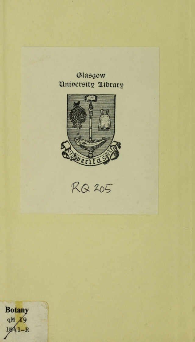 digitised image 2
