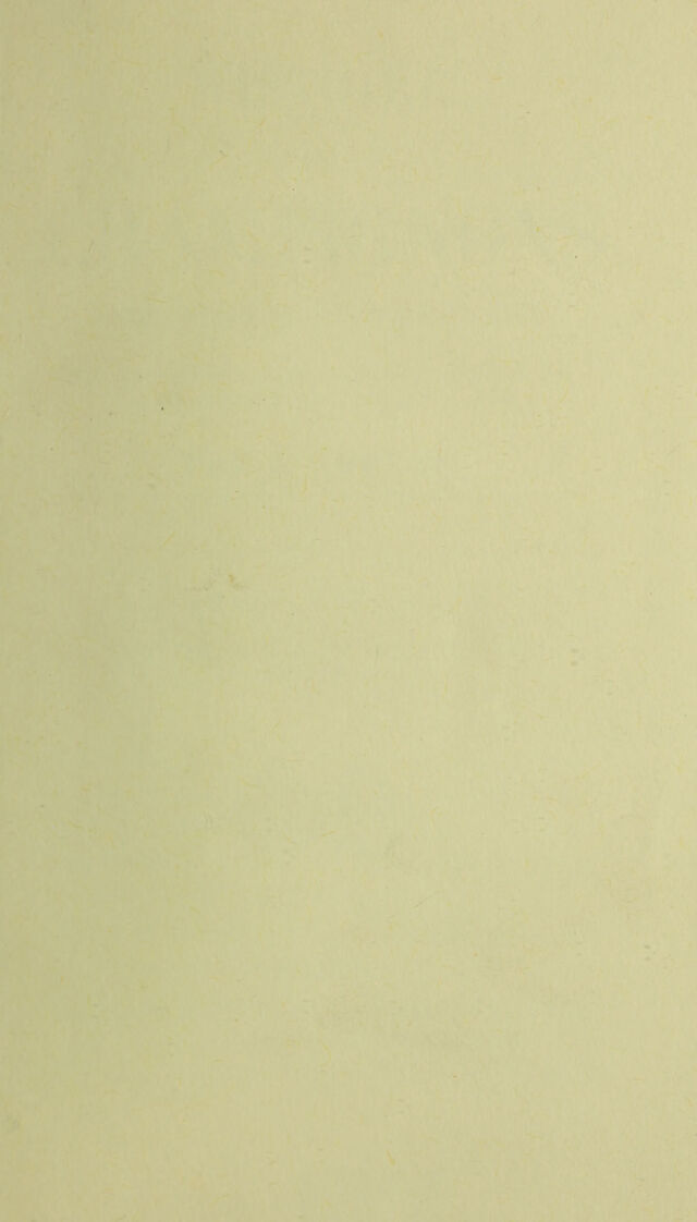 digitised image 3