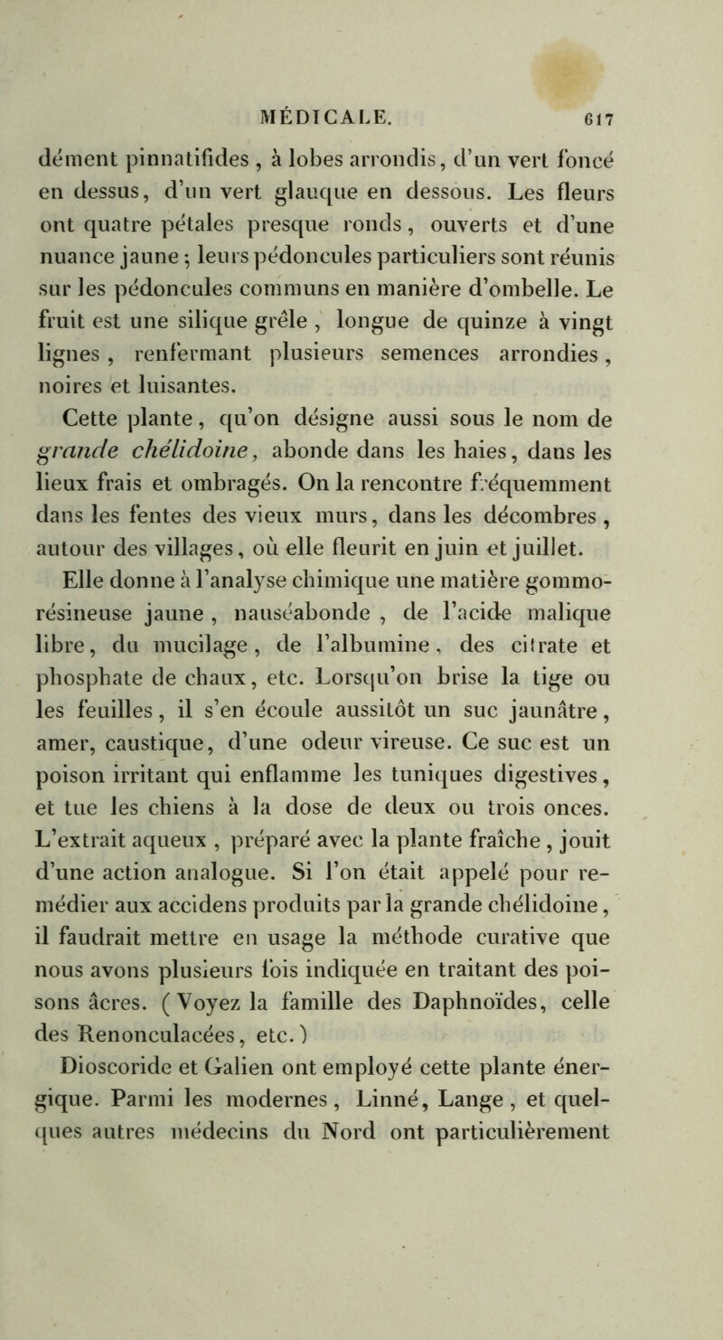 dément pinnatifides , à lobes arrondis, d’un vert foncé en dessus, d’un vert glauque en dessous. Les fleurs ont quatre pétales presque ronds, ouverts et d’une nuance jaune -, leurs pédoncules particuliers sont réunis sur les pédoncules communs en manière d’ombelle. Le fruit est une silique grêle , longue de quinze à vingt lignes, renfermant plusieurs semences arrondies, noires et luisantes. Cette plante, qu’on désigne aussi sous le nom de grande chélidoine, abonde dans les haies, dans les lieux frais et ombragés. On la rencontre fréquemment dans les fentes des vieux murs, dans les décombres , autour des villages, où elle fleurit en juin et juillet. Elle donne à l’analyse chimique une matière gommo- résineuse jaune , nauséabonde , de l’acide malique libre, du mucilage, de l’albumine, des cilrate et phosphate de chaux, etc. Lorsqu’on brise la tige ou les feuilles, il s’en écoule aussitôt un suc jaunâtre, amer, caustique, d’une odeur vireuse. Ce suc est un poison irritant qui enflamme les tuniques digestives, et tue les chiens à la dose de deux ou trois onces. L’extrait aqueux , préparé avec la plante fraîche , jouit d’une action analogue. Si l’on était appelé pour re- médier aux accidens produits par la grande chélidoine, il faudrait mettre en usage la méthode curative que nous avons plusieurs fois indiquée en traitant des poi- sons âcres. (Voyez la famille des Daphnoïdes, celle des Renonculaeées, etc. ) Dioscoride et Galien ont employé cette plante éner- gique. Parmi les modernes, Linné, Lange, et quel- ques autres médecins du Nord ont particulièrement