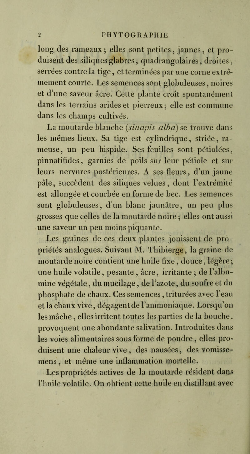 long des rameaux 5 elles sont petites, jaunes, et pro- duisent des siliques glabres, quadrangulaires, droites , serrées contre la tige, et terminées par une corne extrê- mement courte. Les semences sont globuleuses, noires et d’une saveur âcre. Cette plante croît spontanément dans les terrains arides et pierreux; elle est commune dans les champs cultivés. La moutarde blanche (s in api s cilbà) se trouve dans les mêmes lieux. Sa tige est cylindrique, striée, ra- meuse, un peu hispide. Ses feuilles sont pétiolées, pinnatifides, garnies de poils sur leur pétiole et sur leurs nervures postérieures. A ses fleurs, d’un jaune pâle, succèdent des siliques velues, dont l’extrémité est allongée et courbée en forme de bec. Les semences sont globuleuses, d'un blanc jaunâtre, un peu plus grosses que celles de la moutarde noire ; elles ont aussi une saveur un peu moins piquante. Les graines de ces deux plantes jouissent de pro- priétés analogues. Suivant M. Thibierge, la graine de moutarde noire contient une huile fixe, douce, légère ; une huile volatile, pesante , âcre, irritante ; de l’albu- mine végétale, du mucilage, de l’azote, du soufre et du phosphate de chaux. Ces semences, triturées avec l’eau et la chaux vive, dégagent de l’ammoniaque. Lorsqu’on les mâche, elles irritent toutes les parties de la bouche, provoquent une abondante salivation. Introduites dans les voies alimentaires sous forme de poudre, elles pro- duisent une chaleur vive , des nausées, des vomisse- mens , et même une inflammation mortelle. Les propriétés actives de la moutarde résident dans l’huile volatile. On obtient cette huile en distillant avec