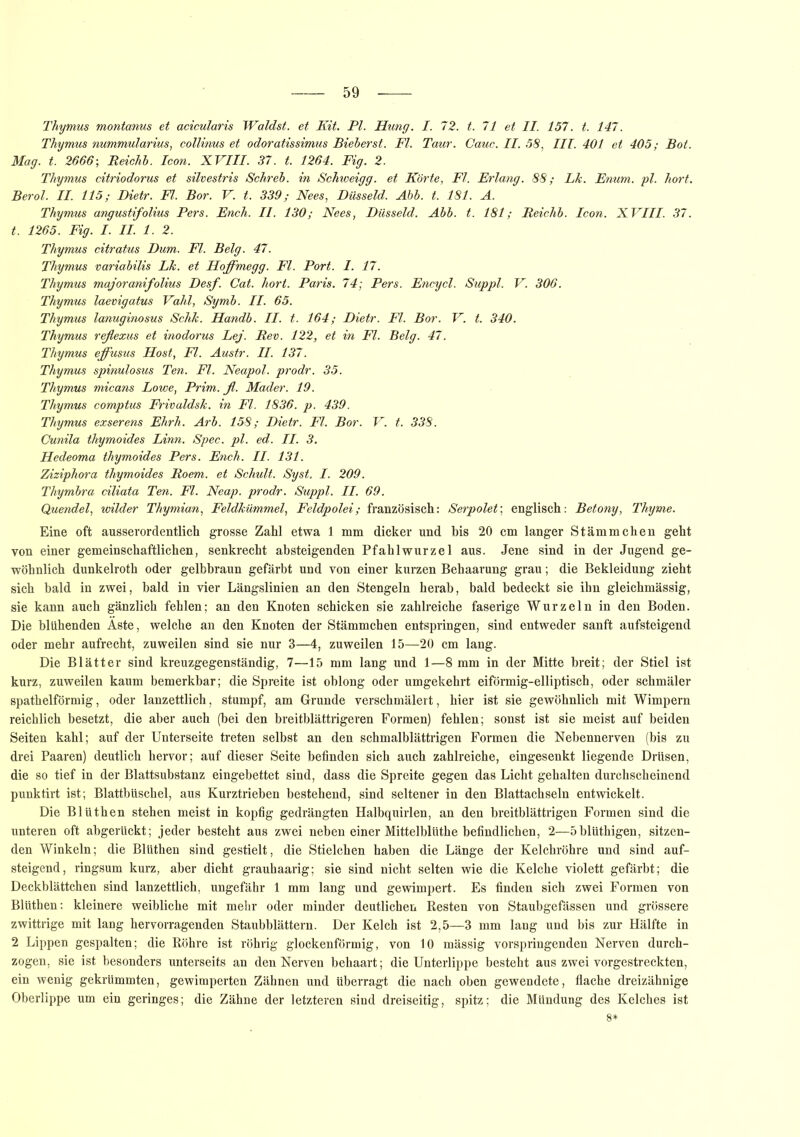 Thymus montanus et acicularis Waldst. et Kit. PI. Hung. I. 72. t. 71 et II. 157. t. 147. Thymus nummularius, collinus et odoratissimus Bieber st. Fl. Taur. Cauc. II. 58, III. 401 et 405; Bot. Mag. t. 2666; Beichh. Icon. XVIII. 37. t. 1264. Fig. 2. Thymus citriodorus et silvestris Schrei, in Schweigg. et Körte, Fl. Erlang. 88; Lk. Enum. pl. hört. Berol. II. 115; Dietr. Fl. Bor. V. t. 339; Nees, Düsseid. Abi. t. 181. A. Thymus angustifolius Pers. Ench. II. 130; Nees, Düsseid. Abb. t. 181; Reichb. Icon. XVIII. 37. t. 1265. Fig. I. II. 1. 2. Thymus citratus Dum. Fl. Belg. 47. Thymus variabilis Lk. et Hoffmegg. Fl. Port. I. 17. Thymus majoranifolius Desf. Cat. hört. Paris. 74; Pers. Encycl. Suppl. V. 306. Thymus laevigatus Vahl, Symb. II. 65. Thymus lanuginosus Schk. Handb. II. t. 164; Dietr. Fl. Bor. V. t. 340. Thymus refiexus et inodorus Lej. Rev. 122, et in Fl. Belg. 47. Thymus effusus Host, Fl. Austr. II. 137. Thymus spinulosus Ten. Fl. Neapol. prodr. 35. Thymus micans Lowe, Prim. fl. Mader. 19. Thymus comptus Frivaldsk. in Fl. 1836. p. 439. Thymus exserens Ehrh. Arb. 158; Dietr. Fl. Bor. V. t. 338. Cunila ihymoides Linn. Spec. pl. ed. II. 3. Hedeoma ihymoides Pers. Ench. II. 131. Ziziphora ihymoides Roem. et Schult. Syst. I. 209. Thymbra ciliata Ten. Fl. Neap. prodr. Suppl. II. 69. Quendel, wilder Thymian, Feldkümmel, Feldpolei; französisch: Serpolet; englisch: Betony, Thyme. Eine oft ausserordentlich grosse Zahl etwa 1 mm dicker und bis 20 cm langer Stammchen geht von einer gemeinschaftlichen, senkrecht absteigenden Pfahlwurzel aus. Jene sind in der Jugend ge- wöhnlich dunkelroth oder gelbbraun gefärbt und von einer kurzen Behaarung grau; die Bekleidung zieht sich bald in zwei, bald in vier Längslinien an den Stengeln herab, bald bedeckt sie ihn gleichmässig, sie kann auch gänzlich fehlen; an den Knoten schicken sie zahlreiche faserige Wurzeln in den Boden. Die blühenden Aste, welche an den Knoten der Stämmchen entspringen, sind entweder sanft aufsteigend oder mehr aufrecht, zuweilen sind sie nur 3—4, zuweilen 15—20 cm lang. Die Blätter sind kreuzgegenständig, 7—15 mm lang und 1—8 mm in der Mitte breit; der Stiel ist kurz, zuweilen kaum bemerkbar; die Spreite ist oblong oder umgekehrt eiförmig-elliptisch, oder schmäler spathelförmig, oder lanzettlich, stumpf, am Grunde verschmälert, hier ist sie gewöhnlich mit Wimpern reichlich besetzt, die aber auch (bei den breitblättrigeren Formen) fehlen; sonst ist sie meist auf beiden Seiten kahl; auf der Unterseite treten selbst an den schmalblättrigen Formen die Nebennerven (bis zu drei Paaren) deutlich hervor; auf dieser Seite befinden sich auch zahlreiche, eingesenkt liegende Drüsen, die so tief in der Blattsubstanz eingebettet sind, dass die Spreite gegen das Licht gehalten durchscheinend punktirt ist; Blattbüschel, aus Kurztrieben bestehend, sind seltener in den Blattachseln entwickelt. Die Blüthen stehen meist in kopfig gedrängten Halbquirlen, an den breitblättrigen Formen sind die unteren oft abgerückt; jeder besteht aus zwei neben einer Mittelbllithe befindlichen, 2—Sblüthigen, sitzen- den Winkeln; die Blüthen sind gestielt, die Stielchen haben die Länge der Kelchröhre und sind auf- steigend, ringsum kurz, aber dicht grauhaarig; sie sind nicht selten wie die Kelche violett gefärbt; die Deckblättchen sind lanzettlich, ungefähr 1 mm lang und gewimpert. Es finden sich zwei Formen von Blüthen: kleinere weibliche mit mehr oder minder deutlichen Resten von Staubgefässen und grössere zwittrige mit lang hervorragenden Staubblättern. Der Kelch ist 2,5—3 mm lang und bis zur Hälfte in 2 Lippen gespalten; die Röhre ist röhrig glockenförmig, von 10 mässig vorspringenden Nerven durch- zogen, sie ist besonders unterseits an den Nerven behaart; die Unterlippe besteht aus zwei vorgestreckten, ein wenig gekrümmten, gewimperten Zähnen und überragt die nach oben gewendete, flache dreizähnige Oberlippe um ein geringes; die Zähne der letzteren sind dreiseitig, spitz; die Mündung des Kelches ist 8*