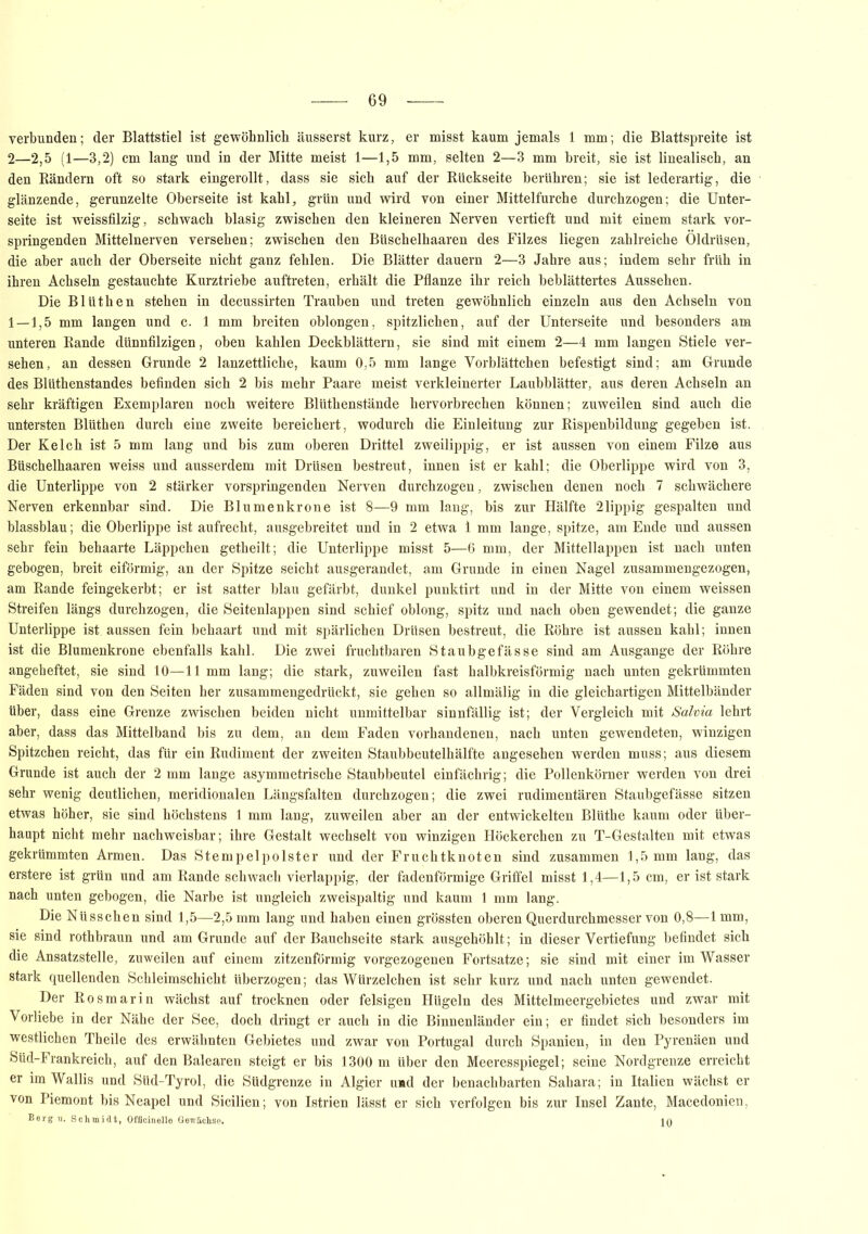verbunden; der Blattstiel ist gewöhnlich äusserst kurz, er misst kaum jemals 1 mm; die Blattspreite ist 2—2,5 (1—3,2) cm lang und in der Mitte meist 1—1,5 mm, selten 2—3 mm breit, sie ist linealisch, an den Rändern oft so stark eingerollt, dass sie sich auf der Rückseite berühren; sie ist lederartig, die glänzende, gerunzelte Oberseite ist kahl, grün und wird von einer Mittelfurche durchzogen; die Unter- seite ist weissfilzig, schwach blasig zwischen den kleineren Nerven vertieft und mit einem stark vor- springenden Mittelnerven versehen; zwischen den Btischelhaaren des Filzes liegen zahlreiche Öldrüsen, die aber auch der Oberseite nicht ganz fehlen. Die Blätter dauern 2—3 Jahre aus; indem sehr früh in ihren Achseln gestauchte Kurztriebe auftreten, erhält die Pflanze ihr reich beblättertes Aussehen. Die Blüthen stehen in decussirten Trauben und treten gewöhnlich einzeln aus den Achseln von 1 — 1,5 mm langen und c. 1 mm breiten oblongen, spitzlichen, auf der Unterseite und besonders am unteren Rande dünnfilzigen, oben kahlen Deckblättern, sie sind mit einem 2—4 mm langen Stiele ver- sehen, an dessen Grunde 2 lanzettliche, kaum 0,5 mm lange Vorblättchen befestigt sind; am Grunde des Blüthenstandes befinden sich 2 bis mehr Paare meist verkleinerter Lauhblätter, aus deren Achseln an sehr kräftigen Exemplaren noch weitere Blüthenstände hervorbrechen können; zuweilen sind auch die untersten Blüthen durch eine zweite bereichert, wodurch die Einleitung zur Rispenbildung gegeben ist. Der Kelch ist 5 mm lang und bis zum oberen Drittel zweilippig, er ist aussen von einem Filze aus Büschelhaaren weiss und ausserdem mit Drüsen bestreut, innen ist er kahl; die Oberlippe wird von 3, die Unterlippe von 2 stärker vorspringenden Nerven durchzogen, zwischen denen noch 7 schwächere Nerven erkennbar sind. Die Blumenkrone ist 8—9 mm lang, bis zur Hälfte 21ippig gespalten und blassblau; die Oberlippe ist aufrecht, ausgebreitet und in 2 etwa 1 mm lange, spitze, am Ende und aussen sehr fein behaarte Läppchen getheilt; die Unterlippe misst 5—6 mm, der Mittellappen ist nach unten gebogen, breit eiförmig, an der Spitze seicht ausgerandet, am Grunde in einen Nagel zusammengezogen, am Rande feingekerbt; er ist satter blau gefärbt, dunkel punktirt und in der Mitte von einem weissen Streifen längs durchzogen, die Seitenlappen sind schief oblong, spitz und nach oben gewendet; die ganze Unterlippe ist aussen fein behaart und mit spärlichen Drüsen bestreut, die Röhre ist aussen kahl; innen ist die Blumenkrone ebenfalls kahl. Die zwei fruchtbaren Staubgefässe sind am Ausgange der Röhre angeheftet, sie sind 10—11 mm lang; die stark, zuweilen fast halbkreisförmig nach unten gekrümmten Fäden sind von den Seiten her zusammengedruckt, sie gehen so allmälig in die gleichartigen Mittelbänder über, dass eine Grenze zwischen beiden nicht unmittelbar sinnfällig ist; der Vergleich mit Salvia lehrt aber, dass das Mittelband bis zu dem, an dem Faden vorhandenen, nach unten gewendeten, winzigen Spitzchen reicht, das für ein Rudiment der zweiten Staubbeutelhälfte angesehen werden muss; aus diesem Grunde ist auch der 2 mm lange asymmetrische Staubbeutel einfächrig; die Pollenkörner werden von drei sehr wenig deutlichen, meridionalen Längsfalten durchzogen; die zwei rudimentären Staubgefässe sitzen etwas höher, sie sind höchstens 1 mm lang, zuweilen aber an der entwickelten Blüthe kaum oder über- haupt nicht mehr nachweisbar; ihre Gestalt wechselt von winzigen Höckerchen zu T-Gestalten mit etwas gekrümmten Armen. Das Stempelpolster und der Fruchtknoten sind zusammen 1,5 mm lang, das erstere ist grün und am Rande schwach vierlappig, der fadenförmige Griffel misst 1,4—1,5 cm, er ist stark nach unten gebogen, die Narbe ist ungleich zweispaltig und kaum 1 mm lang. Die Nüsschen sind 1,5—2,5 mm lang und haben einen grössten oberen Querdurchmesser von 0,8—1 mm, sie sind rothbraun und am Grunde auf der Bauchseite stark ausgehöhlt; in dieser Vertiefung befindet sich die Ansatzstelle, zuweilen auf einem zitzenförmig vorgezogenen Fortsatze; sie sind mit einer im Wasser stark quellenden Schleimschicht überzogen; das Würzelchen ist sehr kurz und nach unten gewendet. Der Rosmarin wächst auf trocknen oder felsigen Hügeln des Mittelmeergebietes und zwar mit Vorliebe in der Nähe der See, doch dringt er auch in die Binnenländer ein; er findet sich besonders im westlichen Theile des erwähnten Gebietes und zwar von Portugal durch Spanien, in den Pyrenäen und Süd-Frankreich, auf den Balearen steigt er bis 1300 m über den Meeresspiegel; seine Nordgrenze erreicht er im Wallis und Süd-Tyrol, die Südgrenze in Algier uad der benachbarten Sahara; in Italien wächst er von Piemont bis Neapel und Sicilien ; von Istrien lässt er sich verfolgen bis zur Insel Zante, Macedonien, Berg u. Schmidt, Officinello Gewächse, 10