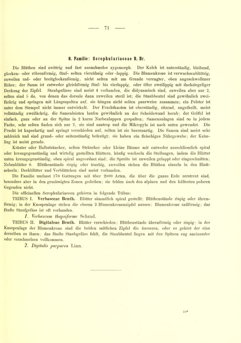 8. Familie: Scrophulariaceae R. Br. Die Bltithen sind zwittrig und fast ausnahmslos zygomorph. Der Kelch ist unterständig, bleibend, glocken- oder röhrenförmig, fünf- selten vierzähnig oder -lappig. Die Blumenkrone ist verwachsenblättrig, zuweilen rad- oder breitglockenförmig, nicht selten mit am Grunde verengter, oben angeschwollener Röhre; der Saum ist entweder gleichförmig fünf- bis vierlappig, oder öfter zweilippig mit dachziegeliger Deckung der Zipfel. Staubgefässe sind meist 4 vorhanden, die didynamisch sind, zuweilen aber nur 2, selten sind 5 da, von denen das dorsale dann zuweilen steril ist; die Staubbeutel sind gewöhnlich zwei- fächrig und springen mit Längsspalten auf, sie hängen nicht selten paarweise zusammen; ein Polster ist unter dem Stempel nicht immer entwickelt. Der Fruchtknoten ist oberständig, sitzend, ungetheilt, meist vollständig zweifächrig, die Samenleisten laufen gewöhnlich an der Scheidewand herab; der Grilfel ist einfach, ganz oder an der Spitze in 2 kurze Narbenlappen gespalten; Samenanlagen sind oo in jedem Fache, sehr selten finden sich nur 2, sie sind anatrop und die Mikropyle ist nach unten gewendet. Die Frucht ist kapselartig und springt verschieden auf, selten ist sie beerenartig. Die Samen sind meist sehr zahlreich und sind grund- oder seitenständig befestigt; sie haben ein fleischiges Nährgewebe; der Keim- ling ist meist gerade. Kräuter oder Halbsträucher, selten Sträucher oder kleine Bäume mit entweder ausschliesslich spiral oder kreuzgegenständig und wirtelig gestellten Blättern, häufig wechseln die Stellungen, indem die Blätter unten kreuzgegenständig, oben spiral angeordnet sind; die Spreite ist zuweilen gelappt oder eingeschnitten; Nebenblätter 0. Blüthenstände rispig oder traubig, zuweilen stehen die Blüthen einzeln in den Blatt- achseln; Deckblätter und Vorblättchen sind meist vorhanden. Die Familie umfasst 170 Gattungen mit über 2000 Arten, die über die ganze Erde zerstreut sind, besonders aber in den gemässigten Zonen gedeihen; sie fehlen auch den alpinen und den kältesten polaren Gegenden nicht. Die officinellen Scrophulariaceen gehören in folgende Tribus: TRIBUS I. Verbasceae Benth. Blätter sämmtlich spiral gestellt; Blüthenstände rispig oder ähren- förmig ; in der Knospenlage stehen die oberen 2 Blumenkronenzipfel aussen; Blumenkrone radförmig; das fünfte Staufgefäss ist oft vorhanden. 1. Verbascum thapsiforme Schrad. TRIBUS II. Digitaleae Benth. Blätter verschieden; Blüthenstände ährenförmig oder rispig; in der Knospenlage der Blumenkrone sind die beiden seitlichen Zipfel die äusseren, oder es gehört der eine derselben zu ihnen; das fünfte Staubgefäss fehlt, die Staubbeutel liegen mit den Spitzen eng aneinander oder verschmelzen vollkommen. 2. Digitalis pur pur ea Linn. io*