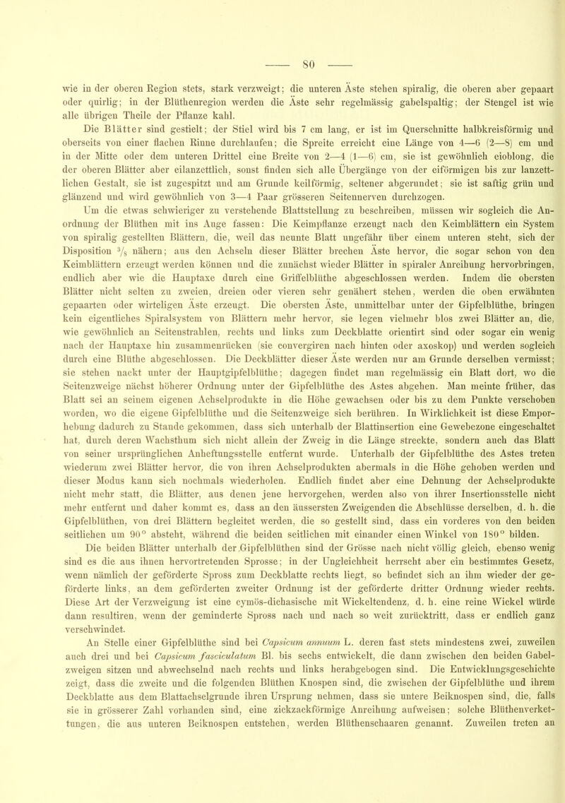 wie in der oberen Region stets, stark verzweigt; die unteren Äste stehen spiralig, die oberen aber gepaart oder quirlig; in der Blütkenregion werden die Äste sehr regelmässig gabelspaltig; der Stengel ist wie alle übrigen Tkeile der Pflanze kahl. Die Blätter sind gestielt; der Stiel wird bis 7 cm lang, er ist im Querschnitte halbkreisförmig und oberseits von einer flachen Rinne durchlaufen; die Spreite erreicht eine Länge von 4—6 (2—8) cm und in der Mitte oder dem unteren Drittel eine Breite von 2—4 (1—6) cm, sie ist gewöhnlich eioblong, die der oberen Blätter aber eilanzettlich, sonst finden sich alle Übergänge von der eiförmigen bis zur lanzett- lichen Gestalt, sie ist zugespitzt und am Grunde keilförmig, seltener abgerundet; sie ist saftig grün und glänzend und wird gewöhnlich von 3—4 Paar grösseren Seitennerven durchzogen. Um die etwas schwieriger zu verstehende Blattstellung zu beschreiben, müssen wir sogleich die An- ordnung der Blüthen mit ins Auge fassen: Die Keimpflanze erzeugt nach den Keimblättern ein System von spiralig gestellten Blättern, die, weil das neunte Blatt ungefähr über einem unteren steht, sich der Disposition 3/8 nähern; aus den Achseln dieser Blätter brechen Äste hervor, die sogar schon von den Keimblättern erzeugt werden können und die zunächst wieder Blätter in spiraler Anreihung hervorbringen, endlich aber wie die Hauptaxe durch eine GrifFelblüthe abgeschlossen werden. Indem die obersten Blätter nicht selten zu zweien, dreien oder vieren sehr genähert stehen, werden die oben erwähnten gepaarten oder wirteligen Äste erzeugt. Die obersten Äste, unmittelbar unter der Gipfelblüthe, bringen kein eigentliches Spiralsystem von Blättern mehr hervor, sie legen vielmehr blos zwei Blätter an, die, wie gewöhnlich an Seitenstrahlen, rechts und links zum Deckblatte orientirt sind oder sogar ein wenig nach der Hauptaxe hin zusammenrücken (sie convergiren nach hinten oder axoskop) und werden sogleich durch eine Bliithe abgeschlossen. Die Deckblätter dieser Äste werden nur am Grunde derselben vermisst; sie stehen nackt unter der Hauptgipfelblüthe; dagegen findet man regelmässig ein Blatt dort, wo die Seitenzweige nächst höherer Ordnung unter der Gipfelblüthe des Astes abgehen. Man meinte früher, das Blatt sei an seinem eigenen Achselprodukte in die Höhe gewachsen oder bis zu dem Punkte verschoben worden, wo die eigene Gipfelblüthe und die Seitenzweige sich berühren. In Wirklichkeit ist diese Empor- hebung dadurch zu Stande gekommen, dass sich unterhalb der Blattinsertion eine Gewebezone eingeschaltet hat, durch deren Wachsthum sich nicht allein der Zweig in die Länge streckte, sondern auch das Blatt von seiner ursprünglichen Anheftungsstelle entfernt wurde. Unterhalb der Gipfelblüthe des Astes treten wiederum zwei Blätter hervor, die von ihren Achselprodukten abermals in die Höhe gehoben werden und dieser Modus kann sich nochmals wiederholen. Endlich findet aber eine Dehnung der Achselprodukte nicht mehr statt, die Blätter, aus denen jene hervorgehen, werden also von ihrer Insertionsstelle nicht mehr entfernt und daher kommt es, dass an den äussersten Zweigenden die Abschlüsse derselben, d. h. die Gipfelblüthen, von drei Blättern begleitet werden, die so gestellt sind, dass ein vorderes von den beiden seitlichen um 90° absteht, während die beiden seitlichen mit einander einen Winkel von 180° bilden. Die beiden Blätter unterhalb der .Gipfelblüthen sind der Grösse nach nicht völlig gleich, ebenso wenig sind es die aus ihnen hervortretenden Sprosse; in der Ungleichheit herrscht aber ein bestimmtes Gesetz, wenn nämlich der geförderte Spross zum Deckblatte rechts liegt, so befindet sich an ihm wieder der ge- förderte links, an dem geförderten zweiter Ordnung ist der geförderte dritter Ordnung wieder rechts. Diese Art der Verzweigung ist eine cymös-dichasische mit Wickeltendenz, d. h. eine reine Wickel würde dann resultiren, wenn der geminderte Spross nach und nach so weit zurücktritt, dass er endlich ganz verschwindet. An Stelle einer Gipfelblüthe sind bei Capsicum annuum L. deren fast stets mindestens zwei, zuweilen auch drei und bei Capsicum fasciculatum Bl. bis sechs entwickelt, die dann zwischen den beiden Gabel- zweigen sitzen und abwechselnd nach rechts und links herabgebogen sind. Die Entwicklungsgeschichte zeigt, dass die zweite und die folgenden Blüthen Knospen sind, die zwischen der Gipfelblüthe und ihrem Deckblatte aus dem Blattachselgrunde ihren Ursprung nehmen, dass sie untere Beiknospen sind, die, falls sie in grösserer Zahl vorhanden sind, eine zickzackförmige Anreihung aufweisen; solche Blüthenverket- tungen, die aus unteren Beiknospen entstehen, werden Blüthenschaaren genannt. Zuweilen treten an