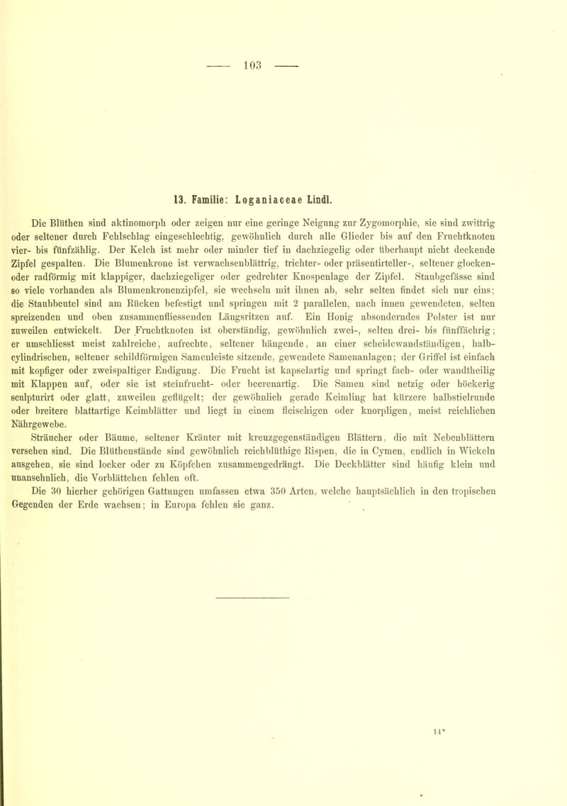 13. Familie: Loganiaceae Lindl. Die Blüthen sind aktinomorph oder zeigen nur eine geringe Neigung zur Zygomorphie, sie sind zwittrig oder seltener durch Fehlschlag eingeschlechtig, gewöhnlich durch alle Glieder bis auf den Fruchtknoten vier- bis fünfzählig. Der Kelch ist mehr oder minder tief in dachziegelig oder überhaupt nicht deckende Zipfel gespalten. Die Blumenkrone ist verwachsenblättrig, triebter- oder präsentirteller-, seltener glocken- oder radförmig mit klappiger, dachziegeliger oder gedrehter Knospenlage der Zipfel. Staubgefässe sind so viele vorhanden als Blumenkronenzipfel, sie wechseln mit ihnen ab, sehr selten findet sich nur eins; die Staubbeutel sind am Rücken befestigt und springen mit 2 parallelen, nach innen gewendeten, selten spreizenden und oben zusammenfliessenden Längsritzen auf. Ein Honig absonderndes Polster ist nur zuweilen entwickelt. Der Fruchtknoten ist oberständig, gewöhnlich zwei-, selten drei- bis fünffächrig; er umschliesst meist zahlreiche, aufrechte, seltener hängende, an einer scheidewandständigen, halb- cylindrischen, seltener schildförmigen Samenleiste sitzende, gewendete Samenanlagen; der Griffel ist einfach mit kopfiger oder zweispaltiger Endigung. Die Frucht ist kapselartig und springt fach- oder wandtheilig mit Klappen auf, oder sie ist Steinfrucht- oder beerenartig. Die Samen sind netzig oder höckerig sculpturirt oder glatt, zuweilen geflügelt; der gewöhnlich gerade Keimling hat kürzere halbstielrunde oder breitere blattartige Keimblätter und liegt in einem fleischigen oder knorpligen, meist reichlichen Nährgewebe. Sträucher oder Bäume, seltener Kräuter mit kreuzgegenständigen Blättern, die mit Nebenblättern versehen sind. Die Blüthenstände sind gewöhnlich reichblüthige Rispen, die in Cymen, endlich in Wickeln ausgehen, sie sind locker oder zu Köpfchen zusammengedrängt. Die Deckblätter sind häufig klein und unansehnlich, die Vorblättchen fehlen oft. Die 30 hierher gehörigen Gattungen umfassen etwa 350 Arten, welche hauptsächlich in den tropischen Gegenden der Erde wachsen; in Europa fehlen sie ganz.