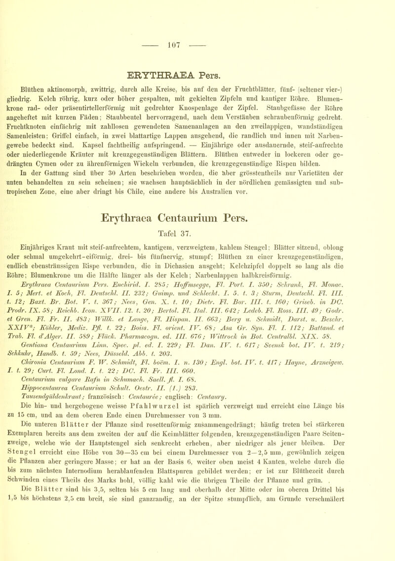 ERYTHRAEA Pers. Blüthen aktinomorph, zwittrig, durch alle Kreise, bis auf den der Fruchtblätter, fünf- (seltener vier-) gliedrig. Kelch röhrig, kurz oder höher gespalten, mit gekielten Zipfeln und kantiger Röhre. Blumen- krone rad- oder präsentirtellerförmig mit gedrehter Knospenlage der Zipfel. Staubgefässe der Röhre angeheftet mit kurzen Fäden; Staubbeutel hervorragend, nach dem Verstäuben schraubenförmig gedreht. Fruchtknoten einfächrig mit zahllosen gewendeten Samenanlagen an den zweilappigen, wandständigen Samenleisten; Griffel einfach, in zwei blattartige Lappen ausgehend, die randlich und innen mit Narben- gewebe bedeckt sind. Kapsel fachtheilig aufspringend. — Einjährige oder ausdauernde, steif-aufrechte oder niederliegende Kräuter mit kreuzgegenständigen Blättern. Blüthen entweder in lockeren oder ge- drängten Cymen oder zu ährenförmigen Wickeln verbunden, die kreuzgegenständige Rispen bilden. In der Gattung sind über 30 Arten beschrieben worden, die über grösstentheils nur Varietäten der unten behandelten zu sein scheinen; sie wachsen hauptsächlich in der nördlichen gemässigten und sub- tropischen Zone, eine aber dringt bis Chile, eine andere bis Australien vor. Erythraea Centaurium Pers. Tafel 37. Einjähriges Kraut mit steif-aufrechtem, kantigem, verzweigtem, kahlem Stengel; Blätter sitzend, oblong oder schmal umgekehrt-eiförmig, drei- bis fünfnervig, stumpf; Blüthen zu einer kreuzgegenständigen, endlich ebensträussigen Rispe verbunden, die in Dichasien ausgeht; Kelchzipfel doppelt so lang als die Röhre; Blumenkrone um die Hälfte länger als der Kelch; Narbenlappen halbkreisförmig. Erythraea Centaurium Pers. Enchirid. I. 285; Hoffmsegge, Fl. Port. I. 350; Schrank, Fl. Monac. I. 5; Mert. et Koch, Fl. Deutschi. II. 232; Guimp. und Schlecht. I. 5. t. 3; Sturm, Deutschi. Fl. III. t. 12; Baxt. Br. Bot. V. t. 367; Nees, Gen. X. t. 10; Dietr. Fl. Bor. III. t. 160; Griseh. in DC. Prodr. IX. 58; Reichb. Icon. XVII. 12. t. 20; Bertol. Fl. Ital. III. 642; Ledeb. Fl. Ross. III. 49; Godr. et Gren. Fl. Fr. II. 483; Willk. et Lange, Fl. Hispan. II. 663; Berg u. Schmidt, Darst. u. Beschr. XXIVa; Köhler, Mediz. Pß. t. 22; Boiss. Fl. Orient. IV. 68; Asa Gr. Syn. Fl. I. 112; Battand. et Trab. Fl. d’Alger. II. 589; Flück. Pharmacogn. ed. III. 676; Wittrock in Bot. Centralbl. XIX. 58. Gentiana Centaurium Linn. Spec. pl. ed. I. 229; Fl. Dan. IV. t. 617; Svensk bot. IV. t. 219; Schkuhr, Handb. t. 59; Nees, Düsseid. Abb. t. 203. Chironia Centaurium F. W. Schmidt, Fl. boem. I. n. 130; Engl. bot. IV. t. 417; Hayne, Arzneigew. I. t. 29; Gurt. Fl. Lond. I. t. 22; DC. Fl. Fr. III. 660. Centaurium vulgare Rafn in Schumach. Saell. fl. I. 68. Hippocentaurea Centaurium Schult. Oestr. II. (1.) 283. Tausendgüldenkraut; französisch: Centauree; englisch: Centaury. Die hin- und hergebogene weisse Pfahlwurzel ist spärlich verzweigt und erreicht eine Länge bis zu 15 cm, und an dem oberen Ende einen Durchmesser von 3 mm. Die unteren Blätter der Pflanze sind rosettenförmig zusammengedrängt; häufig treten bei stärkeren Exemplaren bereits aus dem zweiten der auf die Keimblätter folgenden, kreuzgegenständigen Paare Seiten- zweige, welche wie der Hauptstengel sich senkrecht erheben, aber niedriger als jener bleiben. Der Stengel erreicht eine Höhe von 30—35 cm bei einem Durchmesser von 2—2,5 mm, gewöhnlich zeigen die Pflanzen aber geringere Masse; er hat an der Basis 6, weiter oben meist 4 Kanten, welche durch die bis zum nächsten Internodium herablaufenden Blattspuren gebildet werden; er ist zur Blüthezeit durch Schwinden eines Theils des Marks hohl, völlig kahl wie die übrigen Theile der Pflanze und grün. . Die Blätter sind bis 3,5, selten bis 5 cm lang und oberhalb der Mitte oder im oberen Drittel bis 1,5 bis höchstens 2,5 cm breit, sie sind ganzrandig, an der Spitze stumpf lieh, am Grunde verschmälert