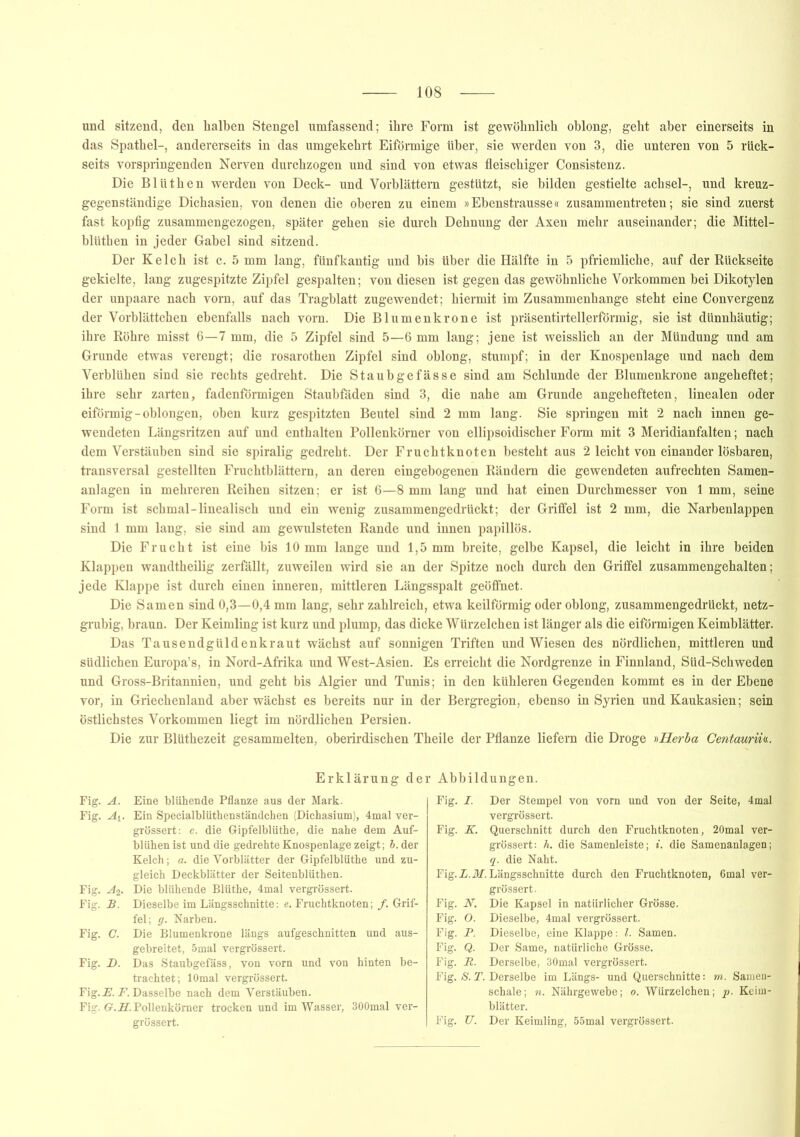 und sitzend, den halben Stengel umfassend; ihre Form ist gewöhnlich oblong, geht aber einerseits in das Spathel-, andererseits in das umgekehrt Eiförmige über, sie werden von 3, die unteren von 5 rück- seits vorspringenden Nerven durchzogen und sind von etwas fleischiger Consistenz. Die Bliithen werden von Deck- und Vorblättern gestützt, sie bilden gestielte achsel-, und kreuz- gegenständige Dichasien, von denen die oberen zu einem »Ebenstrausse« zusammentreten; sie sind zuerst fast kopfig zusammengezogen, später gehen sie durch Dehnung der Axen mehr auseinander; die Mittel - blüthen in jeder Gabel sind sitzend. Der Kelch ist c. 5 mm lang, fünfkantig und bis über die Hälfte in 5 pfriemliche, auf der Rückseite gekielte, lang zugespitzte Zipfel gespalten; von diesen ist gegen das gewöhnliche Vorkommen hei Dikotylen der unpaare nach vorn, auf das Tragblatt zugewendet; hiermit im Zusammenhänge steht eine Convergenz der Vorblättchen ebenfalls nach vorn. Die Blumenkrone ist präsentirtellerförmig, sie ist dünnhäutig; ihre Röhre misst 6—7 mm, die 5 Zipfel sind 5—6 mm lang; jene ist weisslich an der Mündung und am Grunde etwas verengt; die rosarothen Zipfel sind oblong, stumpf; in der Knospenlage und nach dem Verblühen sind sie rechts gedreht. Die Staub ge fasse sind am Schlunde der Blumenkrone angeheftet; ihre sehr zarten, fadenförmigen Staubfaden sind 3, die nahe am Grunde angehefteten, linealen oder eiförmig-oblongen, oben kurz gespitzten Beutel sind 2 mm lang. Sie springen mit 2 nach innen ge- wendeten Längsritzen auf und enthalten Pollenkörner von ellipsoidischer Form mit 3 Meridianfalten; nach dem Verstäuben sind sie spiralig gedreht. Der Fruchtknoten besteht aus 2 leicht von einander lösbaren, transversal gestellten Fruchtblättern, an deren eingebogenen Rändern die gewendeten aufrechten Samen- anlagen in mehreren Reihen sitzen; er ist 6—8 mm lang und hat einen Durchmesser von 1 mm, seine Form ist schmal-linealisch und ein wenig zusammengedrückt; der Griffel ist 2 mm, die Narbenlappen sind 1 mm lang, sie sind am gewulsteten Rande und innen papillös. Die Frucht ist eine bis 10 mm lange und 1,5 mm breite, gelbe Kapsel, die leicht in ihre beiden Klappen wandtheilig zerfällt, zuweilen wird sie an der Spitze noch durch den Griffel zusammengehalten; jede Klappe ist durch einen inneren, mittleren Längsspalt geöffnet. Die Samen sind 0,3—0,4 mm lang, sehr zahlreich, etwa keilförmig oder oblong, zusammengedruckt, netz- grubig, braun. Der Keimling ist kurz und plump, das dicke Würzelchen ist länger als die eiförmigen Keimblätter. Das Tausendgüldenkraut wächst auf sonnigen Triften und Wiesen des nördlichen, mittleren und südlichen Europa’s, in Nord-Afrika und West-Asien. Es erreicht die Nordgrenze in Finnland, Süd-Schweden und Gross-Britannien, und geht bis Algier und Tunis; in den kühleren Gegenden kommt es in der Ebene vor, in Griechenland aberwächst es bereits nur in der Bergregion, ebenso in Syrien und Kaukasien; sein östlichstes Vorkommen liegt im nördlichen Persien. Die zur Blüthezeit gesammelten, oberirdischen Theile der Pflanze liefern die Droge »Herba Centaurih. Erklärung der Abbildungen. Fig. A. Eine blühende Pflanze aus der Mark. Fig. Ay. Ein Specialblüthenständchen (Dichasium), 4mal ver- grössert: c. die Gipfelblüthe, die nahe dem Auf- blühen ist und die gedrehte Knospenlage zeigt; 5. der Kelch; a. die Vorblätter der Gipfelblüthe und zu- gleich Deckblätter der Seitenblüthen. Fig. A2. Die blühende Blüthe, 4mal vergrössert. Fig. B. Dieselbe im Längsschnitte: e. Fruchtknoten; /. Grif- fel; g. Narben. Fig. C. Die Blumenkrone längs aufgeschnitten und aus- gebreitet, 5mal vergrössert. Fig. D. Das Staubgefäss, von vorn und von hinten be- trachtet; lOmal vergrössert. Fig.2?. F. Dasselbe nach dem Verstäuben. Fig. GMT. Pollenkömer trocken und im Wasser, 300mal ver- grössert. Fig. I. Der Stempel von vorn und von der Seite, 4mal vergrössert. Fig. K. Querschnitt durch den Fruchtknoten, 20mal ver- grössert: h. die Samenleiste; i. die Samenanlagen; q. die Naht. Fig. L.M. Längsschnitte durch den Fruchtknoten, 6mal ver- grössert. Fig. N. Die Kapsel in natürlicher Grösse. Fig. O. Dieselbe, 4mal vergrössert. Fig. P. Dieselbe, eine Klappe: l. Samen. Fig. Q. Der Same, natürliche Grösse. Fig. R. Derselbe, 30mal vergrössert. Fig. S. T. Derselbe im Längs- und Querschnitte: m. Samen- schale; n. Nährgewebe; o. Würzelchen; p. Keim- blätter. Fig. TJ. Der Keimling, 55mal vergrössert.
