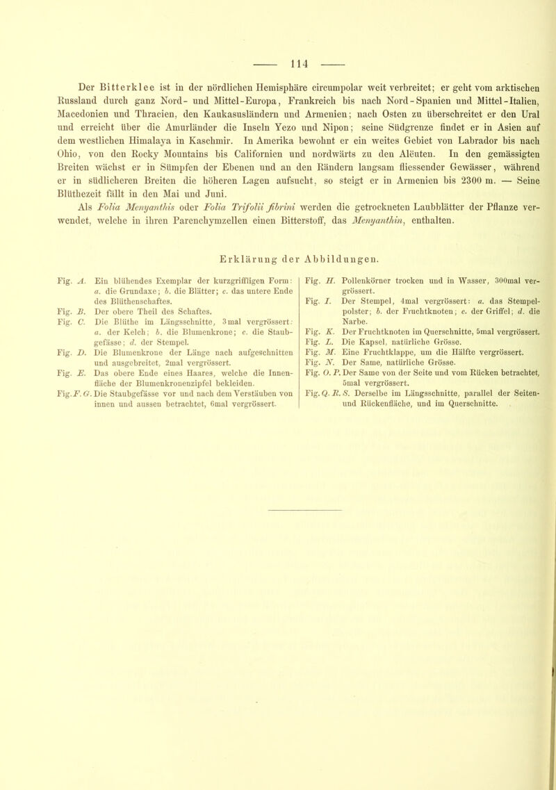 Der Bitterklee ist in der nördlichen Hemisphäre circumpolar weitverbreitet; er geht vom arktischen Russland durch ganz Nord- und Mittel-Europa, Frankreich bis nach Nord-Spanien und Mittel-Italien, Macedonien und Thracien, den Kaukasusländem und Armenien; nach Osten zu überschreitet er den Ural und erreicht über die Amurländer die Inseln Yezo und Nipon; seine Südgrenze findet er in Asien auf dem westlichen Himalaya in Kaschmir. In Amerika bewohnt er ein weites Gebiet von Labrador bis nach Ohio, von den Rocky Mountains bis Californien und nordwärts zu den Aleuten. In den gemässigten Breiten wächst er in Sümpfen der Ebenen und an den Rändern langsam fliessender Gewässer, während er in südlicheren Breiten die höheren Lagen aufsucht, so steigt er in Armenien bis 2300 m. — Seine Blüthezeit fällt in den Mai und Juni. Als Folia Menyanthis oder Folia Trifolii fibrini werden die getrockneten Laubblätter der Pflanze ver- wendet, welche in ihren Parenchymzellen einen Bitterstoff, das Menyanthin, enthalten. Erklärung der Abbildungen. Fig. A. Ein blühendes Exemplar der kurzgriffligen Form: a. dieGrundaxe; b. die Blätter; c. das untere Ende des Blüthenschaftes. Fig. B. Der obere Theil des Schaftes. Fig. C. Die Blüthe im Längsschnitte, 3 mal vergrössert.' a. der Kelch; b. die Blumenkrone; c. die Staub- gefässe; d. der Stempel. Fig. D. Die Blumenkrone der Länge nach aufgeschnitten und ausgebreitet, 2mal vergrössert. Fig. JE. Das obere Ende eines Haares, welche die Innen- fläche der Blumenkronenzipfel bekleiden. Fig.F’. G. Die Staubgefässe vor und nach dem Verstäuben von innen und aussen betrachtet, 6mal vergrössert. Fig. H. Pollenkörner trocken und in Wasser, 300mal ver- grössert. Fig. I. Der Stempel, 4mal vergrössert: a. das Stempel- polster; b. der Fruchtknoten; c. der Griffel; d. die Narbe. Fig. K. Der Fruchtknoten im Querschnitte, 5mal vergrössert. Fig. L. Die Kapsel, natürliche Grösse. Fig. M. Eine Fruchtklappe, um die Hälfte vergrössert. Fig. N. Der Same, natürliche Grösse. Fig. O. P. Der Same von der Seite und vom Rücken betrachtet, 5mal vergrössert. Fig. Q. B. S. Derselbe im Längsschnitte, parallel der Seiten- und Rückenfläche, und im Querschnitte.
