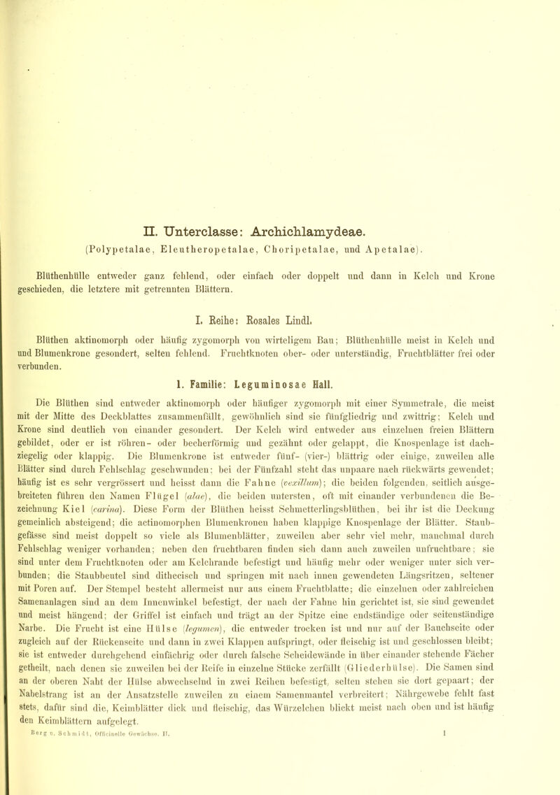 II. Unterclasse: Archichlamydeae. (Polypetalae, Eleutheropetalae, Choripetalae, und Apetalae). Blüthenhülle entweder ganz fehlend, oder einfach oder doppelt und dann in Kelch und Krone geschieden, die letztere mit getrennten Blättern. I. Reihe: Rosales Lindl, Blüthen aktinomorph oder häufig zygomorph von wirteligem Bau; Blüthenhülle meist in Kelch und und Blumenkrone gesondert, selten fehlend. Fruchtknoten ober- oder unterständig, Fruchtblätter frei oder verbunden. 1. Familie; Leguminosae Hall. Die Blüthen sind entweder aktinomorph oder häufiger zygomorph mit einer Symmetrale, die meist mit der Mitte des Deckblattes zusammenfällt, gewöhnlich sind sie fünfgliedrig und zwittrig; Kelch und Krone sind deutlich von einander gesondert. Der Kelch wird entweder aus einzelnen freien Blättern gebildet, oder er ist röhren- oder becherförmig und gezähnt oder gelappt, die Knospenlage ist dach- ziegelig oder klappig. Die Blumenkrone ist entweder fünf- (vier-) blättrig oder einige, zuweilen alle Blätter sind durch Fehlschlag geschwunden; bei der Fünfzahl steht das unpaare nach rückwärts gewendet; häufig ist es sehr vergrössert und heisst dann die Fahne (ivexillum); die beiden folgenden, seitlich ausge- breiteten führen den Namen Flügel [alae), die beiden untersten, oft mit einander verbundenen die Be- zeichnung Kiel (carina). Diese Form der Blüthen heisst Schmetterlingsblüthen, bei ihr ist die Deckung gemeinlich absteigend; die actinomorphen Blumenkronen haben klappige Knospenlage der Blätter. Staub- gefässe sind meist doppelt so viele als Blumenblätter, zuweilen aber sehr viel mehr, manchmal durch Fehlschlag weniger vorhanden; neben den fruchtbaren finden sich dann auch zuweilen unfruchtbare; sie sind unter dem Fruchtknoten oder am Kelchrande befestigt und häufig mehr oder weniger unter sich ver- bunden; die Staubbeutel sind dithecisch und springen mit nach innen gewendeten Längsritzen, seltener mit Poren auf. Der Stempel besteht allermeist nur aus einem Fruchtblatte; die einzelnen oder zahlreichen Samenanlagen sind an dem Innenwinkel befestigt, der nach der Fahne hin gerichtet ist, sie sind gewendet und meist hängend; der Griffel ist einfach und trägt an der Spitze eine endständige oder seitenständige Narbe. Die Frucht ist eine Hülse (legumen), die entweder trocken ist und nur auf der Bauchseite oder zugleich auf der Rückenseite und dann in zwei Klappen aufspringt, oder fleischig ist und geschlossen bleibt; sie ist entweder durchgehend einfächrig oder durch falsche Scheidewände in über einander stehende Fächer getheilt, nach denen sie zuweilen bei der Reife in einzelne Stücke zerfällt (Gliederhülse). Die Samen sind an der oberen Naht der Hülse abwechselnd in zwei Reihen befestigt, selten stehen sie dort gepaart; der Naheistrang ist an der Ansatzstelle zuweilen zu einem Samenmantel verbreitert; Nährgewebe fehlt fast stets, dafür sind die, Keimblätter dick und fleischig, das Würzelchen blickt meist nach oben und ist häufig den Keimblättern aufgelegt.