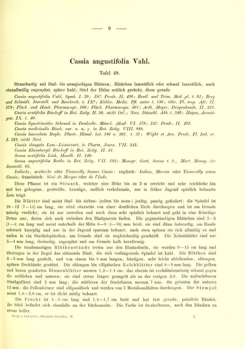 Cassia angustifolia Yahl. Tafel 48. Strauchartig mit fünf- bis neunjochigen Blättern; Blättchen lanzettlich oder schmal lanzettlich, nach obenallmälig zugespitzt, später kahl; Stiel der Hülse seitlich gerückt, diese gerade. Cassia angustifolia Vahl, Symb. I. 29; DC. Proclr. 11. 499; Bentl. and Trim. Med. pl. t. 91; Berg und Schmidt, Darstell, und Beschreib, t. IXa; Köhler, Mediz. Pß. unter t. 156; Oliv. Fl. trop. Afr. II. 279; Flück. and Hanb. Pharmacogr. 160; Flück. Pharmacogn. 561; Arth. Meyer, Drogenkunde. II. 231. Cassia acutifolia Bischoff in Bot. Zeitg. II. 50, nicht Del.; Nees, Düsseid. Abb. t. 346; Hayne, Arznei- gew. IX. t. 40. Cassia ligustrinoides Schrank in Denkschr. Münch. Akad• VI. 179; DC. Prodr. II. 492. Cassia medicinalis Bisch, var. a. u. y. in Bot. Zeitg. VIII. 888. Cassia lanceolata Royle, Illustr. Himal. bot. 186 u. 201. t. 37; Wight et Am. Prodr. Fl. Ind. or. I. 288, nicht Nect. Cassia elongata Lem.-Lisancourt, in Pharm. Journ. VII. 345. Cassia Ehrenbergii Bischoff in Bot. Zeitg. II. 51. Senna acutifolia Link, Handb. II. 140. Senna angustifolia Batka in Bot. Zeitg. VII. 193; Monogr. Gatt. Senna t. 2., Mart. Monog. der Sennesbl. 65. Indische, arabische oder Tinnevelly Sennes Cassie; englisch: Indian, Meccan oder Tinnevelly senna Cassia; französisch: Sene de Mecque oder de linde. Diese Pflanze ist ein Strauch, welcher eine Höhe bis zu 2 m erreicht und sehr reichliche hin und her gebogene, gestreifte, krautige, endlich verholzende, nur in früher Jugend spärlich behaarte Äste trägt. Die Blätter sind meist fünf- bis sieben- (selten bis neun-) jochig, paarig gefiedert; die Spindel ist 10—12 (7—14) cm lang, sie wird oberseits von einer deutlichen Riefe durchzogen und ist am Grunde mässig verdickt; sie ist nur zuweilen und auch dann sehr spärlich behaart und geht in eine fleischige Drüse aus, deren sich auch zwischen den Blattpaaren finden. Die gegenständigen Blättchen sind 2—3 (1—4) cm lang und meist unterhalb der Mitte 6—8 (4—10) mm breit, sie sind dünn lederartig, am Rande schwach knorplig und nur in der Jugend sparsam behaart; nach oben spitzen sie sich allmälig zu und enden in ein Stachelspitzchen, am Grunde sind sie ungleichseitig geschärft. Die Nebenblätter sind nur 3—4 mm lang, dreiseitig, zugespitzt und am Grunde halb herzförmig. Die traubenartigen Blüthenstände treten aus den Blattachseln, sie werden 9 — 15 cm lang und überragen in der Regel das stützende Blatt; die sich verlängernde Spindel ist kahl. Die Blüthen sind 2—3 mm lang gestielt, und von einem bis 6 mm langen, häutigen, sehr leicht abfallenden, oblongen, spitzen Deckblatte gestützt. Die oblongen bis elliptischen Kelchblätter sind 8—9 mm lang. Die gelben und braun geaderten Blumenblätter messen 1,2— 1,4 cm; das oberste ist verhältnissmässig schmal gegen die seitlichen und unteren; sie sind etwas länger genagelt als an der vorigen Art. Die unfruchtbaren Staubgefässe sind 2 mm lang; die mittleren der fruchtbaren messen 7 mm, die grössten der unteren 12mm; die Pollenkörner sind ellipsoidisch und werden von 3 Meridionalfalten durchzogen. Der Stempel misst 1,8—2,0 cm, er ist dicht seidig behaart. Die Frucht ist 4—5 cm lang und 1,4—1,7 cm breit und hat fast gerade, parallele Ränder, ihr Stiel befindet sich ebenfalls an der Rückenseite. Die Farbe ist dunkelbraun, nach den Rändern zu etwas heller. Berg u. Schmidt, Officinelle Gewächse. II. 2